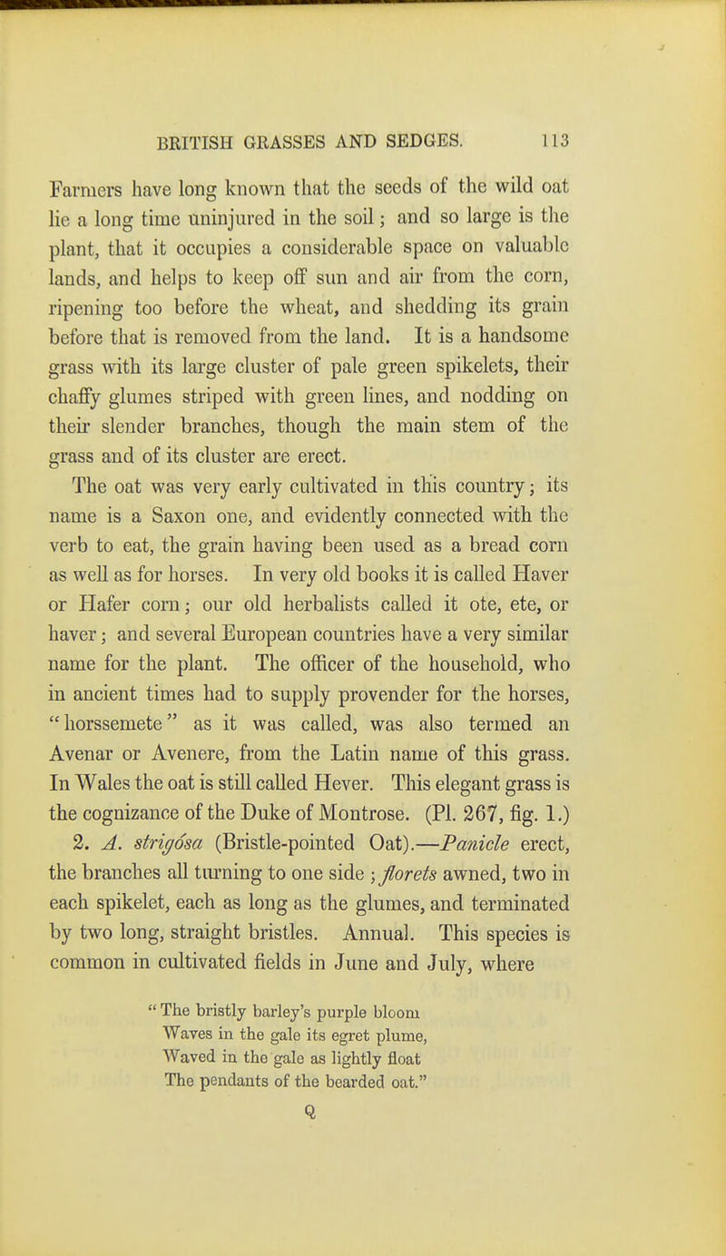 Farmers have long known that the seeds of the wild oat lie a long time uninjured in the soil; and so large is the plant, that it occupies a considerable space on valuable lands, and helps to keep off sun and air from the corn, ripening too before the wheat, and shedding its grain before that is removed from the land. It is a handsome grass with its large cluster of pale green spikelets, their chaffy glumes striped with green lines, and nodding on their slender branches, though the main stem of the grass and of its cluster are erect. The oat was very early cultivated in this country; its name is a Saxon one, and evidently connected with the verb to eat, the grain having been used as a bread corn as weU as for horses. In very old books it is called Haver or Hafer corn; our old herbalists called it ote, ete, or haver; and several European countries have a very similar name for the plant. The officer of the household, who in ancient times had to supply provender for the horses, horssemete as it was called, was also termed an Avenar or Avenere, from the Latin name of this grass. In Wales the oat is still called Hever. This elegant grass is the cognizance of the Duke of Montrose. (PI. 267, fig. 1.) 2. A. strigosa (Bristle-pointed Oat).—Panicle erect, the branches all tm'ning to one side ; florets awned, two in each spikelet, each as long as the glumes, and terminated by two long, straight bristles. Annual. This species is common in cultivated fields in June and July, where  The bristly barley's purple bloom Waves in the gale its egret plume, Waved in the gale as lightly float The pendants of the bearded oat. Q