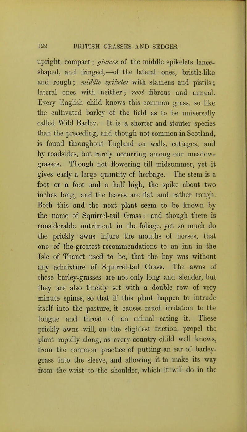 upright, compact; (/limes of the middle spikelets lance- shaped, and fringed,—of the lateral ones, bristle-like and rough; middle spikelet with stamens and pistils; lateral ones with neither; root fibrous and annual. Every English child knows this common grass, so like the cultivated barley of the field as to be universally called Wild Barley. It is a shorter and stouter species than the preceding, and though not common in Scotland, is found throughout England on walls, cottages, and by roadsides, but rarely occurring among our meadow- grasses. Though not flowering till midsummer, yet it gives early a large quantity of herbage. The stem is a foot or a foot and a half high, the spike about two inches long, and the leaves are flat and rather rough. Both this and the next plant seem to be known by the name of Squirrel-tail Grass; and though there is considerable nutriment in the foliage, yet so much do the prickly awns injure the mouths of horses, that one of the greatest recommendations to an inn in the Isle of Thanet used to be, that the hay was without any admixture of Squirrel-tail Grass. The awns of these barley-grasses are not only long and slender, but they are also thickly set with a double row of very minute spines, so that if this plant happen to intrude itself into the pasture, it causes much irritation to the tongue and throat of an animal eating it. These prickly awns will, on the sKghtest friction, propel the plant rapidly along, as every country child well knows, from the common practice of putting an ear of barley- grass into the sleeve, and allowing it to make its way from the wrist to the shoulder, which it will do in the