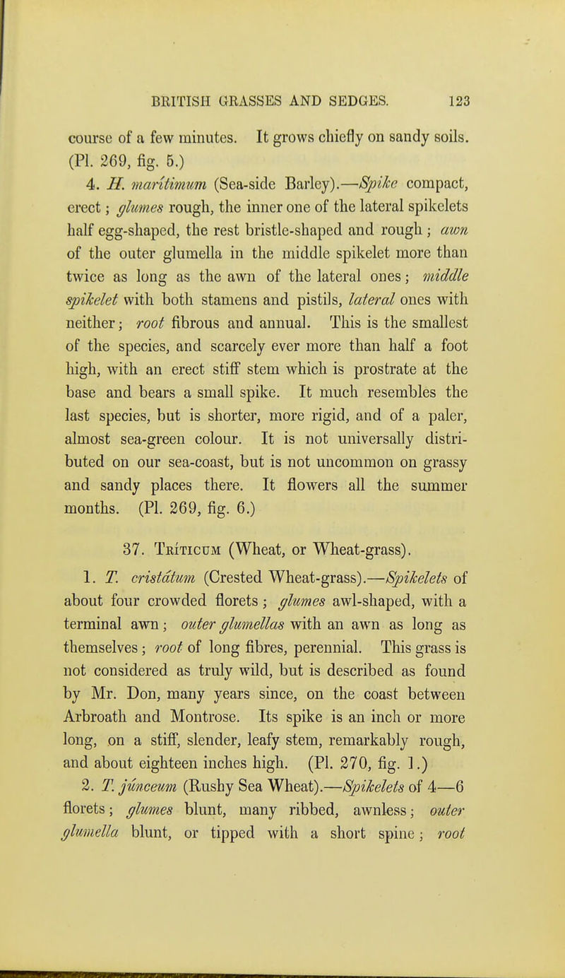course of a few minutes. It grows chiefly on sandy soils. (PI. 269, fig. 6.) 4. H. maritimum (Sea-side Barley).—Spike compact, erect; ghmes rough, the inner one of the lateral spikelets half egg-shaped, the rest bristle-shaped and rough ; awn of the outer glumella in the middle spikelet more than twice as long as the awn of the lateral ones; middle spikelet with both stamens and pistils, lateral ones with neither; root fibrous and annual. This is the smallest of the species, and scarcely ever more than half a foot high, with an erect stiff stem which is prostrate at the base and bears a small spike. It much resembles the last species, but is shorter, more rigid, and of a paler, almost sea-green colour. It is not universally distri- buted on our sea-coast, but is not uncommon on grassy and sandy places there. It flowers all the summer months. (PI. 269, fig. 6.) 37. Triticum (Wheat, or Wheat-grass). 1. T. cristdtum (Crested Wheat-grass).—Spikelets of about four crowded florets; glumes awl-shaped, with a terminal awn; outer glumellas with an aw^n as long as themselves; root of long fibres, perennial. This grass is not considered as truly wild, but is described as found by Mr. Don, many years since, on the coast between Arbroath and Montrose. Its spike is an inch or more long, on a stiff, slender, leafy stem, remarkably rough, and about eighteen inches high. (PI. 270, fig. ].) 2. T. junceum (Rushy Sea Wheat).—Spikelets of 4—6 florets; glumes blunt, many ribbed, awnless; oider glumella blunt, or tipped with a short spine; root