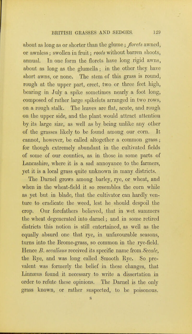 about as long as or shorter than the glume; florets awnecl, or awnless; swollen in fruit; roots without barren shoots, annual. In one form the florets have long rigid awns, about as long as the glumella; in the other they have short awns, or none. The stem of this grass is round, rough at the upper part, erect, two or three feet high, bearing in July a spike sometimes nearly a foot long, composed of rather large spikelets arranged in two rows, on a rough stalk. The leaves are flat, acute, and rough on the upper side, and the plant would attract attention by its large size, as well as by being unlike any other of the grasses likely to be found among our corn. It cannot, however, be called altogether a common grass; for though extremely abundant in the cultivated fields of some of our counties, as in those in some parts of Lancashire, where it is a sad annoyance to the farmers, yet it is a local grass quite unknown in many districts. The Darnel grows among barley, rye, or wheat, and when in the wheat-field it so resembles the corn while as yet but in blade, that the cultivator can hardly ven- ture to eradicate the weed, lest he should despoil the crop. Our forefathers beheved, that in wet summers the wheat degenerated into darnel; and in some retired districts this notion is still entertained, as well as the equally absurd one that rye, in unfavourable seasons, turns into the Brome-grass, so common in the rye-field. Hence B. secalims received its specific name from Secale, the Rye, and was long called Smooth Rye. So pre- valent was formerly the belief in these changes, that Linnaeus found it necessary to write a dissertation in order to refute these opinions. The Darnel is the only grass known, or rather suspected, to be poisonous.