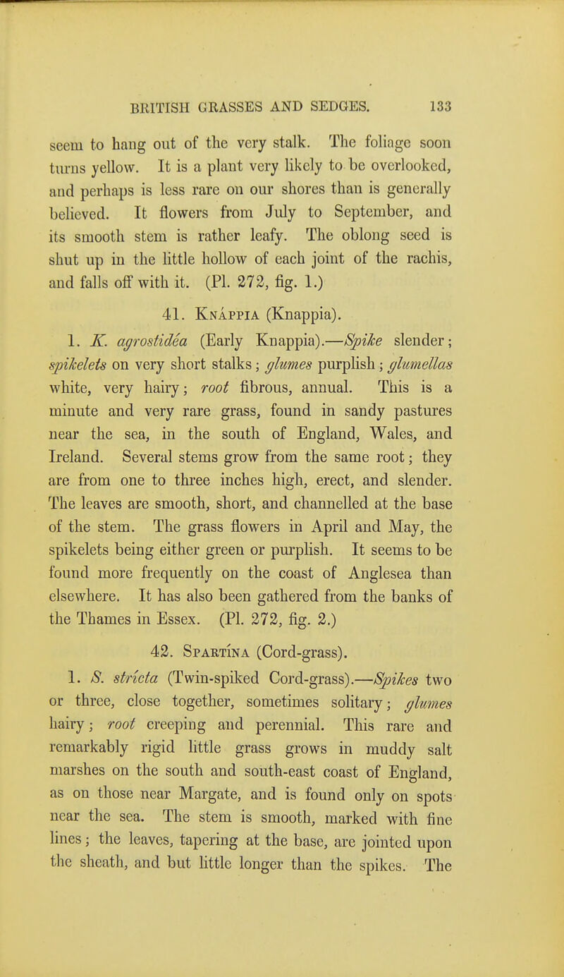 seem to hang out of the very stalk. The foliage soon tiu-ns yellow. It is a plant very likely to be overlooked, and perhaps is less rare on our shores than is generally believed. It flowers from July to September, and its smooth stem is rather leafy. The oblong seed is shut up in the little hollow of each joint of the rachis, and falls off with it. (PL 272, fig. 1.) 41. Knappia (Knappia). 1. K. agrostidea (Early Knappia).—Bpike slender; spikelets on very short stalks; glumes purplish; glumellas white, very hairy; root fibrous, annual. This is a minute and very rare grass, found in sandy pastures near the sea, in the south of England, Wales, and Ireland. Several stems grow from the same root; they are from one to three inches high, erect, and slender. The leaves are smooth, short, and channelled at the base of the stem. The grass flowers in April and May, the spikelets being either green or purplish. It seems to be found more frequently on the coast of Anglesea than elsewhere. It has also been gathered from the banks of the Thames in Essex. (PL 272, fig. 2.) 42. Spartina (Cord-grass). 1. S. stncta (Twin-spiked Cord-grass).—Spikes two or three, close together, sometimes solitary; glumes hairy; root creeping and perennial. This rare and remarkably rigid httle grass grows in muddy salt marshes on the south and south-east coast of England, as on those near Margate, and is found only on spots near the sea. The stem is smooth, marked with fine lines; the leaves, tapering at the base, are jointed upon the sheath, and but little longer than the spikes. The