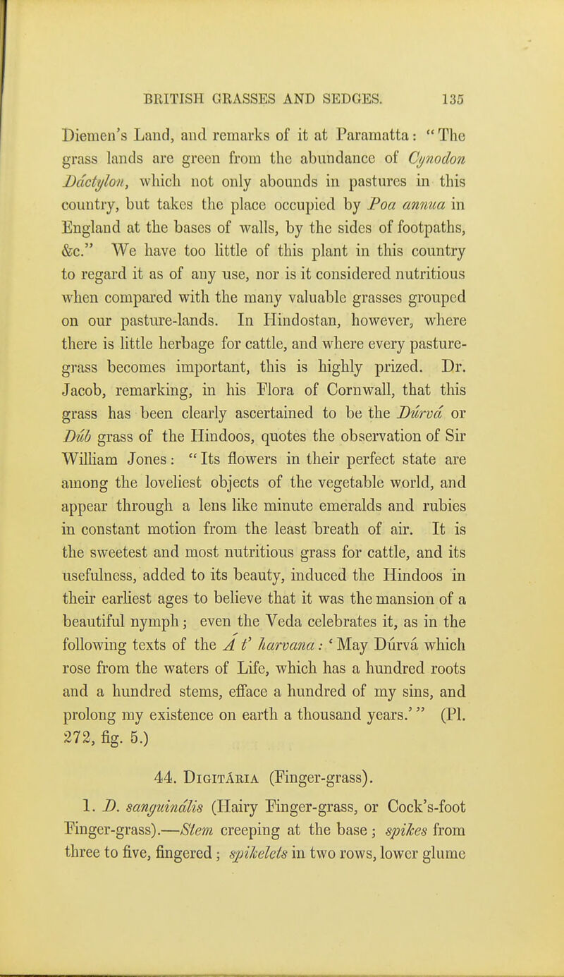 Diemen's Land, and remarks of it at Paramatta:  The grass lands arc green from the abundance of Cijnodon Ddctylon, which not only abounds in pastures in this country, but takes the place occupied by Poa annua in England at the bases of walls, by the sides of footpaths, &c. We have too little of this plant in this country to regard it as of any use, nor is it considered nutritious when compared with the many valuable grasses grouped on our pasture-lands. In Hindostan, however, where there is little herbage for cattle, and where every pasture- grass becomes important, this is highly prized. Dr. Jacob, remarking, in his Plora of Cornwall, that this grass has been clearly ascertained to be the Durvd or Diib grass of the Hindoos, quotes the observation of Sir William Jones:  Its flowers in their perfect state are among the loveliest objects of the vegetable world, and appear through a lens like minute emeralds and rubies in constant motion from the least breath of air. It is the sweetest and most nutritious grass for cattle, and its usefulness, added to its beauty, induced the Hindoos in their earliest ages to believe that it was the mansion of a beautiful nymph; even the Veda celebrates it, as in the following texts of the A f harvana: ' May Durva which rose from the waters of Life, which has a hundred roots and a hundred stems, efface a hundred of my sins, and prolong my existence on earth a thousand years.' (PI. 272, fig. 5.) 44. DigitAria (Finger-grass). 1. D. sanguindlis (Hairy Pinger-grass, or Cock's-foot Pinger-grass).—Stem creeping at the base ; spikes from three to five, fingered; sjnicelets in two rows, lower glume