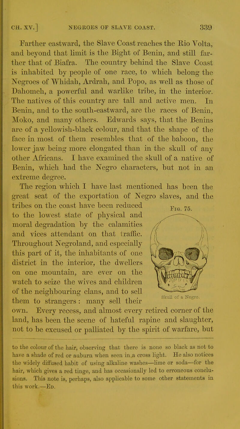Farther eastward, the Slave Coast reaches the Rio Volta, and beyond that limit is the Bight of Benin, and still far- ther that of Biafra. The conntry behind the Slave Coast is inhabited by people of one race, to which belong the Negroes of Wliidah, Ardrah, and Popo, as well as those of Dahomeh, a powerful and warlike tribe, in the interior. The natives of this country are tall and active men. In Benin, and to the south-eastward, are the races of Benin, Moko, and many others. Edwards says, that the Benins are of a yellowish-black colour, and that the shape of the face in most of them resembles that of the baboon, the lower jaw being more elongated than in the skull of any other Africans. I have examined the skull of a native of Benin, which had the Negro characters, but not in an extreme degree. The region which I have last mentioned has been the great seat of the exportation of Negro slaves, and the tribes on the coast have been reduced -p^^ to the lowest state of physical and moral degradation by the calamities and vices attendant on that traffic. Throughout Negroland, and especially this part of it, the inhabitants of one district in the interior, the dwellers on one mountain, are ever on the watch to seize the wives and children of the neighbouring clans, and to sell . , n n ' Skull of a Negro. them to strangers : many sell theu^ own. Every recess, and almost every retired corner of the land, has been the scene of hateful rapine and slaughter, not to be excused or palliated by the spirit of warfare, but to the colour of the hair, observing that there is none so black as not to have a shade of red or auburn when seen in.a cross light. He also notices the widely diffused habit of using alkaline washes—lime or soda—for the hair, which gives a red tinge, and has occasionally led to erroneous conclu- sions. This note is, perhaps, also applicable to some other statements in this work.—Ed.