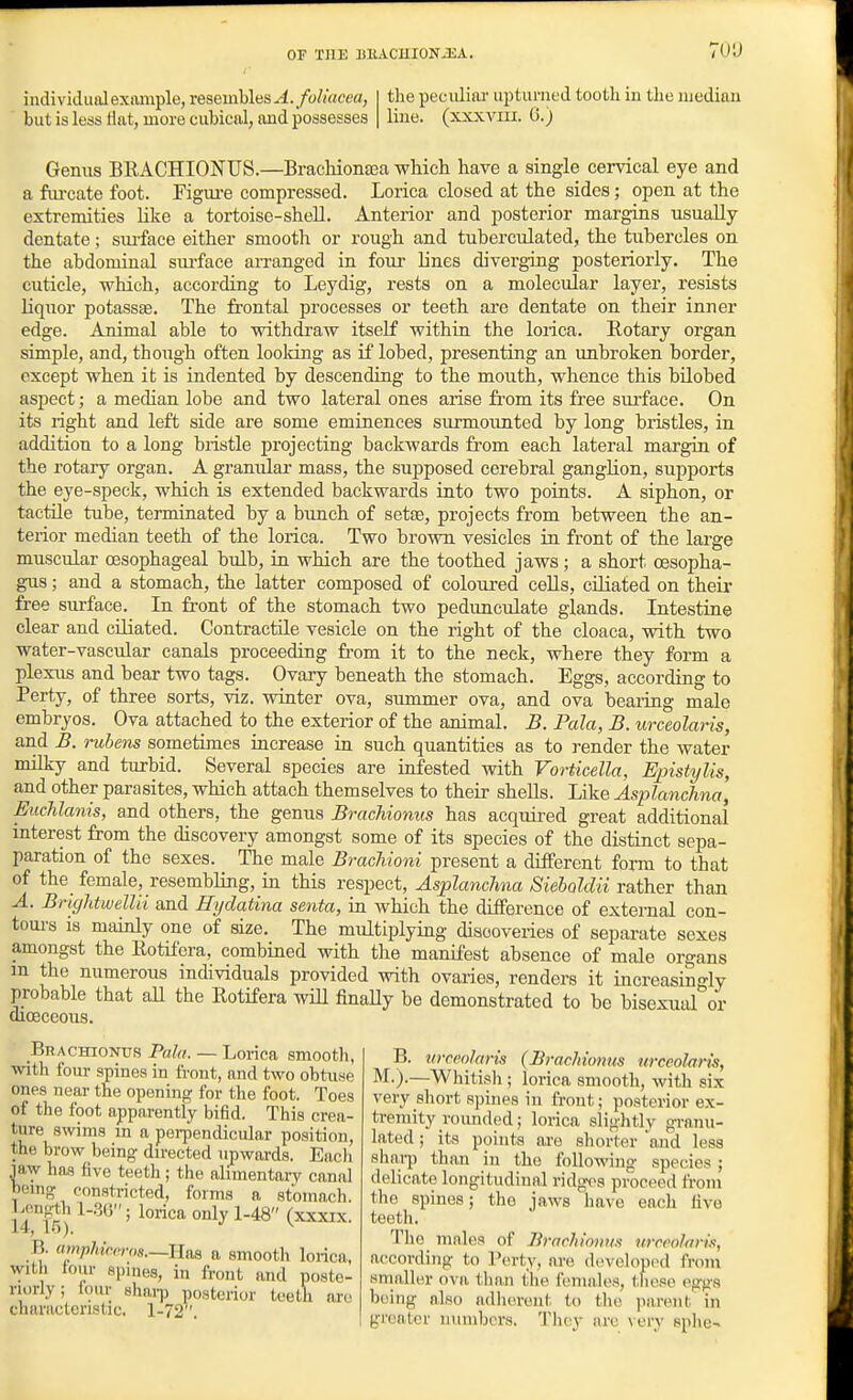 OF THE BlUCHIONiEA. to;) individual exiimple,resembles^./o/i'acm, but is less flat, more cubical, and possesses the peculiar upturned tootli in the median line, (xxxviii. 6.) Genus BRACHIONUS.—BracMonaaa which have a single cervical eye and a fui'cate foot. Figiu-e compressed. Lorica closed at the sides; open at the extremities like a tortoise-shell. Anterior and posterior margins usually dentate; sm-face either smooth or rough and tuberculated, the tubercles on the abdominal sm-face an-anged in foiu lines diverging posteriorly. The cuticle, which, according to Leydig, rests on a molecular layer, resists Uquor potassas. The frontal processes or teeth are dentate on their inner edge. Animal able to withdraw itself within the loiica. Rotary organ simple, and, though often looking as if lobed, presenting an unbroken border, except when it is indented by descending to the mouth, whence this bUobed aspect; a median lobe and two lateral ones arise from its free sui'face. On its right and left side are some eminences surmounted by long bristles, in addition to a long bristle projecting backwards fi-om each lateral margin of the rotary organ. A granular mass, the supposed cerebral ganglion, supports the eye-speck, which is extended backwards into two points. A siphon, or tactUe tube, terminated by a bunch of setae, projects from between the an- terior median teeth of the lorica. Two brown vesicles in front of the lai-ge muscular oesophageal bulb, ra which are the toothed jaws; a short oesopha- gus ; and a stomach, the latter composed of coloured cells, ciliated on their free surface. In front of the stomach two pedunculate glands. Intestine clear and ciliated. Contractile vesicle on the right of the cloaca, with two water-vascular canals proceeding from it to the neck, where they form a plexus and bear two tags. Ovary beneath the stomach. Eggs, according to Perty, of three sorts, viz. winter ova, summer ova, and ova bearing male embryos. Ova attached to the exterior of the animal. B. Pala, B. urceolaris, and B. ruhens sometimes increase in such quantities as to render the water milky and turbid. Several species are infested with Vorticella, Epistylis, and other parasites, which attach themselves to their shells. Like Asplanchna, Euchlanis, and others, the genus Brachionus has acquired great additional interest from the discovery amongst some of its species of the distinct sepa- paration of the sexes. The male Brachioni present a different form to that of the female, resembling, in this respect, Asplanclma SiebQldii rather than A. Brightwellii and Hydatina senta, in which the difference of external con- toui's is mainly one of size. The multiplying discoveries of separate sexes amongst the Rotifera, combined with the manifest absence of male organs m the numerous individuals provided with ovaries, renders it increasin<>-ly probable that aU the Rotifera will finaUy be demonstrated to bo bisexual or dioeceous. Brachionus Pala. — Lorica smootli, with four spines in front, and two obtuae ones near the opening for the foot. Toes of the foot apparently bifid. This crea- ture swims m a perpendicular position, the brow being directed upwards. Eacli jaw has five teeth ; the alimentary canal br-ing constricted, forms a stomach. Length l-3«; lorica only 1-48 (xxxix. 14, 15). V B. umphic,rns.~Rm a smooth lorica, with four spines, in front and poste- riorly; lour shai-p posterior teeth are characteristic. 1-72. B. in-ceolaris (Brachiomis urceolaris, M.).—Whitish ; lorica smooth, with six very short spines in front; posterior ex- tremity roimded; lorica slightly granu- lated ; its points are shorter 'and less shai-p than in the following species ; delicate longitudinal ridg(>s proceed from the spines; the jaws have each five teeth. The males of Brachionus urceolaris, according to Perty, are developed from smaller ova than the females, these eggs being also adiierent to the parent in greater numbers. They are very splie-