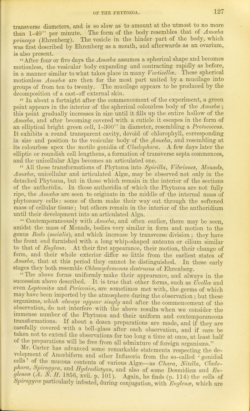 transverae diameters, and is so slow as to amount at the utmost to no more than 1-40' per minute. The form of the body resembles that of Amoeba princeps (Ehi-enberg). The vesicle in the hinder part of the body, which was fii-st described by Ehrenberg as a mouth, and afterwards as an ovarium, is also present. After foiu- or five days the Amoeba assumes a spherical shape and becomes motionless, the vesicular body expanding and contracting rapidly as before, in a manner similar to what takes place in many Vorticellce. These spherical motionless Amoebce are then for the most part united by a mucilage into groups of from ten to twenty. The muciLage appears to be produced by the decomposition of a cast-olf external sldn.  In about a fortnight after the commencement of the experiment, a green point appeal's in the interior of the spherical colourless body of the Amoeba; this point gradually increases in size until it fills up the entire hollow of the Amoeba, and after becoming covered with a cuticle it escapes in the form of an eUiptical bright green ceU, 1-300' in diameter, resembhng a Protococcus. It exhibits a round transparent cavity, devoid of chlorophyll, corresponding in size and position to the vesicular body of the Amoeba, and resembling at its colourless apex the motile gonidia of Cladophora. A few days later the eUiptic or roundish cell lengthens, a formation of transverse septa commences, and the unicellular Alga becomes an articulated one.  AU these transformations of Phytozoa into Spirilla, Vihriones, Monads, Amoebce, unicellular and articulated Algae, may be obseired not only in the detached Phytozoa, but in those which remain in the interior of the sections of the antheridia. In those antheridia of which the Phytozoa are not fully ripe, the Amoebce are seen to originate in the middle of the internal mass of phytozoaiy cells: some of them make their way out through the softened mass of cellular tissue ; but others remain in the interior of the antheridium until their development into an articulated Alga.  Contemporaneously with Amoeba, and often earlier, there may be seen, amidst the mass of Monads, bodies very similar in form and motion to the genus Bodo (socialis), and which increase by transverse division; they have the front end furnished with a long whip-shaped antenna or ciKum similar to that of Euglena. At their fii-st appearance, their motion, their change of form, and their whole exterior differ so little from the earliest states of Amoeba, that at this period they cannot be distinguished. In these early stages they both resemble Chlamijdomonas destruens of Ehrenberg.  The above forms imiformly make their appearance, and always in the succession above described. It is true that other forms, such as Uvellw and even Leptomitce and Periconiai, are sometimes met with, the genns of which may have been imported by the atmosphere diu-ing the observation ; but these organisms, luhich cdivays appear singhj and after the commencement of the observation, do not interfere with the above results when we consider the immense number of the Phytozoa and their uniform and contemporaneous transformations. If about a dozen preparations are made, and if they are carefiiUy covered with a bcU-glass after each observation, and if care be taken not to extend the obsei-vations for too long a time at once, at least half of the preparations wiU be free from aU admixture of foreign organisms. Mr. Garter has advanced some remarkable statements respecting the de- velopmont of Amccbifom and other Infusoria from the so-caUcd gonidial ceUs ot the mucous contents of various Algro—as Chara, Nitella, Clado- phora, hpiropyra, and l/ydrodict>/on, and also of some Desmidiea) and Eu- glenecB (A. N. H. 1856, xvii. p. 101). Again, he finds (p. 114) the cells of /bptro^?/TOparticulariy infested, during conjugation, with Euglena', which arc