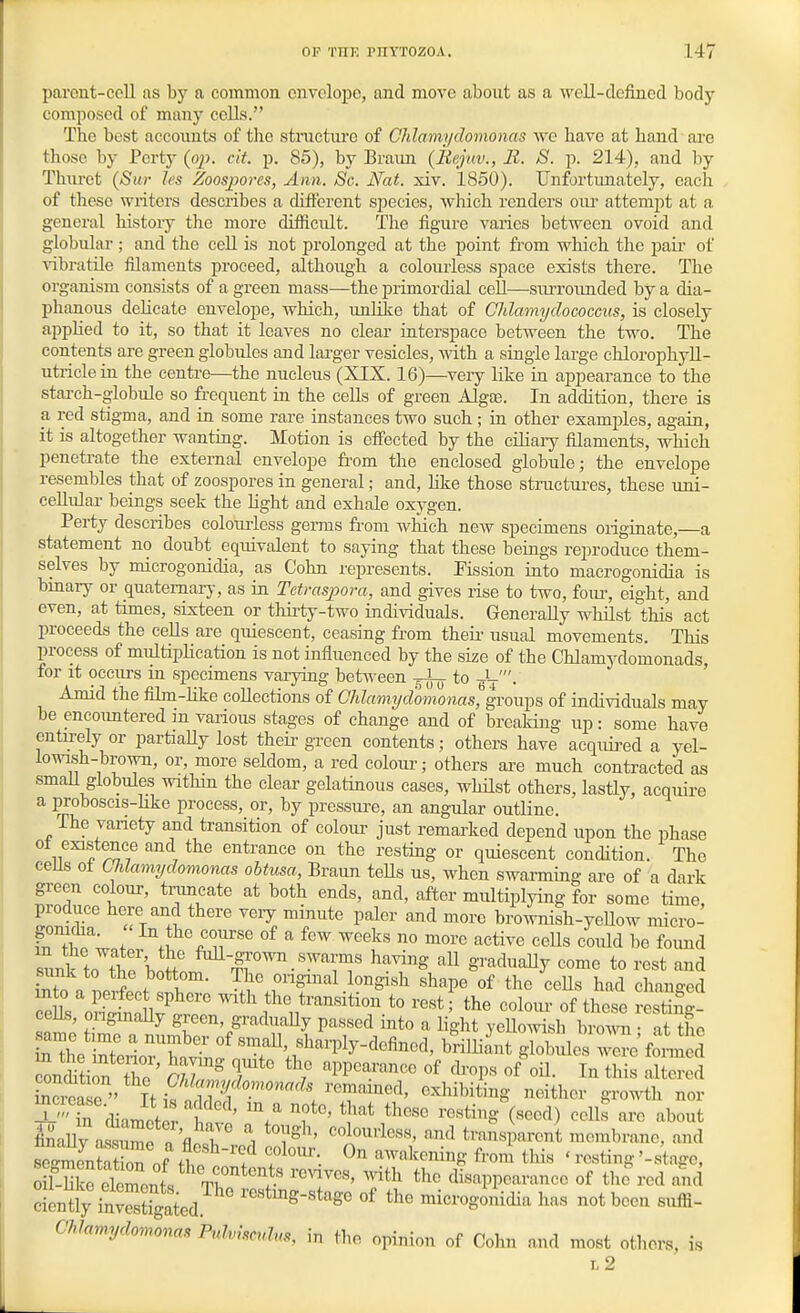 parent-cell as by a common envelope, and move about as a well-defined body composed of many cells. The best accounts of the structure of Ohlamydomonas wc have at hand are those by Perty (oj). cit. p. 85), by Braim {Rejuv., B. 8. p. 214), and by Thiu'ct {Sur les Zoospores, Ann. Sc. Nat. xiv. 1850). Unfortunately, each of these writers describes a different species, which renders oiu' attempt at a general history the more difficult. The figure varies between ovoid and globular ; and the cell is not prolonged at the point from which the pair- of ■vdbratile filaments proceed, although a colomiess space exists there. The organism consists of a green mass—the primordial cell—surrounded by a dia- phanous delicate envelope, which, unKke that of CJilamydococcus, is closely applied to it, so that it leaves no clear interspace between the two. The contents are green globules and lai'ger vesicles, mth a single large chlorophyU- utriclein the centre—the nucleus (XIX. 16)—very like in appearance to the starch-globule so frequent in the cells of green Algce. In addition, there is a red stigma, and in some rare instances two such; in other examples, again, it is altogether wanting. IVIotion is effected by the ciliaiy filaments, which penetrate the external envelope from the enclosed globule; the envelope resembles that of zoospores in general; and, like those stmctures, these uni- cellular beings seek the light and exhale oxygen. Perty describes colomiess germs from which new specimens originate,—a statement no doubt equivalent to saying that these beings reproduce them- selves by microgonidia, as Cohn represents. Pission into macrogonidia is bmary or quaternary, as in Tetrasjwra, and gives rise to two, fom% eight, and even, at times, sixteen or thirty-two individuals. Generally whilst this act proceeds the cells are quiescent, ceasing from theu- usual movements. This process of multiplication is not influenced by the size of the Chlamydomonads, for it occurs in specimens varying between ^i^- to -)■-. Amid the film-like collections of Ohlamijdomonas'^gTow^B of individuals may be encoimtered m various stages of change and of breaking up: some have entu-ely or partiaUy lost theii- green contents; others have acquij-ed a yel- lo^ash-brown, or, more seldom, a red coloui-; others are much contracted as smaU globules within the clear gelatinous cases, whUst others, lastly, acquire a proboscis-hke process, or, by pressui'e, an angular outline. The variety and transition of colour' just remarked depend upon the phase if^^r^f . entrance on the resting or quiescent condition. The ceUs oi Clilamydomonas ohtusa, Braim teUs us, when swarming are of a dark green colour, tnmcate at both ends, and, after multiplying for some time produce here and there veiy minute paler and more brownish-yeUow micro- f «e °f ^ few weeks no more active ceUs could be foimd sunk to ttrboHn having all gradually come to rest and sunk to the bottom. The onginal longish shape of the ceUs had changed in o a perfec sphere with the transition to rest the eoloiu- of these resting- cells, ongmaUy green, graduaUy passed into a light yellowish brow at the ame t,me a number of small, sharply-defined, brilli nt glob Ic w^e formed ti n The'' S/r' T'' ^^'P^''^^^ ^^^-I- «I- thi^ Sel Lcrea e It I'^n^^ed, exliibiting neither gro.^^h nor in chametrr b ' .^ ^^'^ ^'^^^iug (seed) cells are about fi^aUv a sume n 'fl. r ^ ^'i'^'^'' colouriess, and transparent membrane, and sT^m^JuS of ft f ^'^ '^^^kening from tliis < resting '-stage, ScfeWnts Vr '^^^^^ 'V'' ''^^^ disappearance of the^•ed and cienlly invS^^^^^ restmg-stage of the microgonidia has not been suffi- ChJamydomonas Ptdvmuhs, in the opinion of Cohn and most others, is r.2