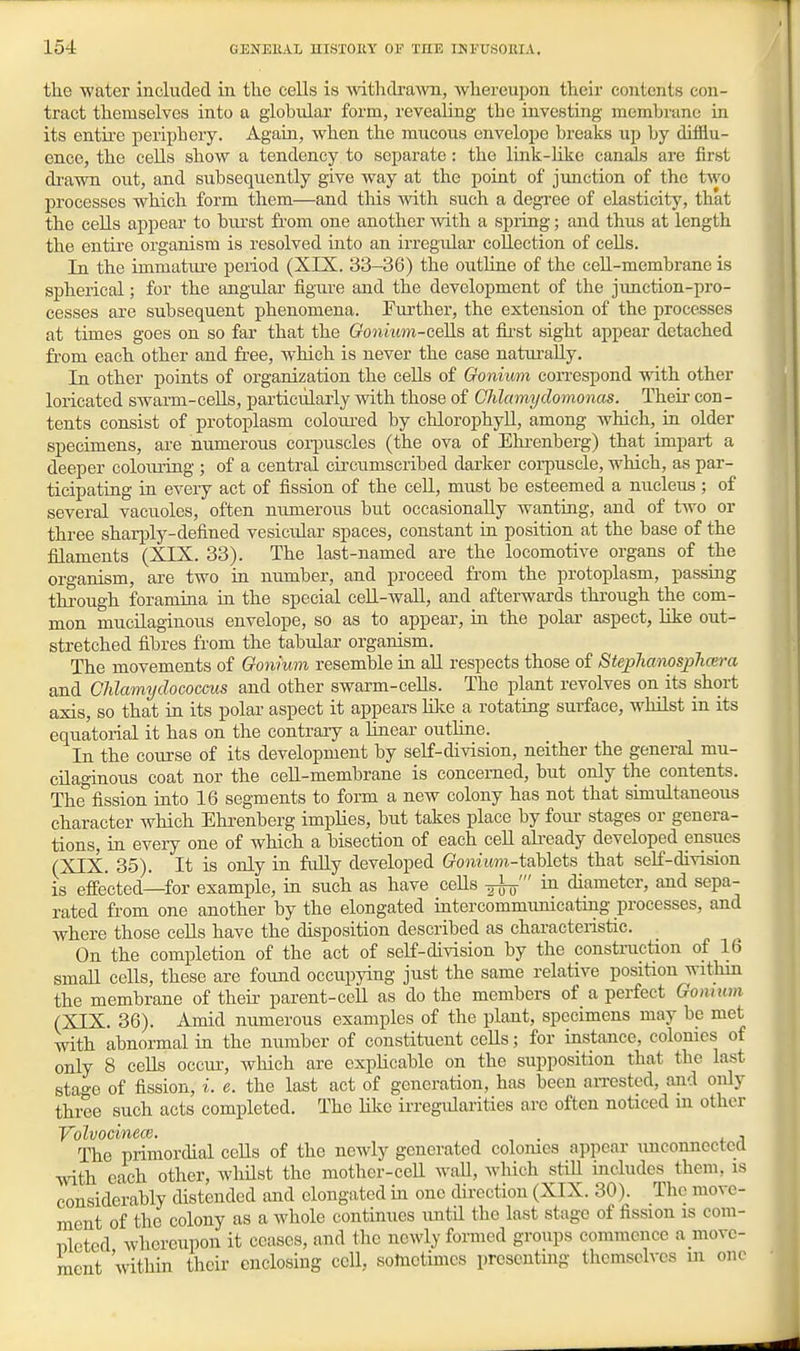 the water included in the cells is witlidrawn, whereupon their contents con- tract themselves into a globular form, revealing the investing membrane in its entii'e periphery. Agam, when the mucous envelope breaks up by difflu- ence, the cells show a tendency to separate: the link-like cansds are first di'awn out, and subsequently give way at the point of jimction of the two processes which form them—and this with such a degree of elasticity, that the cells appear to biu'st from one another Avith a spi-ing; and thus at length the entire organism is resolved into an irregular collection of cells. In the immatiQ-e peiiod (XIX. 33-36) the outline of the ceU-membrane is spherical; for the angular figure and the development of the junction-pro- cesses are subsequent phenomena. Turther, the extension of the processes at times goes on so far that the Gonium-ceils at fii'st sight appear detached from each other and free, which is never the case natui-ally. In other points of organization the cells of Gonium correspond with other loricated swarm-ceUs, particularly with those of Ghlcnnydomonas. Their con- tents consist of protoplasm coloiu'ed by chlorophyll, among which, in older specimens, are numerous corpuscles (the ova of Ehrenberg) that impart a deeper coloimng ; of a central circumscribed darker corpuscle, which, as par- ticipating in every act of fission of the ceR, must be esteemed a nucleus; of several vacuoles, often numerous but occasionally Avanting, and of two or three shari^ly-defined vesicular spaces, constant in position at the base of the filaments (XIX. 33). The last-named are the locomotive organs of the organism, are two in number, and proceed from the protoplasm, passing through foramina ui the special ceH-AvaU, and afterwards through the com- mon mucilaginous envelope, so as to appear, in the polar aspect, like out- stretched fibres from the tabular organism. The movements of Gonium resemble in all respects those of Stephanosphoira and Chlamydococcus and other swarm-ceUs. The plant revolves on its short axis, so that in its polar aspect it appears hlte a rotating surface, whilst in its equatorial it has on the contrary a linear outline. In the course of its development by self-division, neither the general mu- cilaginous coat nor the cell-membrane is concerned, but only the contents. The^fission into 16 segments to form a new colony has not that simultaneous character which Ehrenberg implies, but takes place by four stages or genera- tions, in every one of which a bisection of each cell abeady developed ensues (XIX. 35). It is only in fuUy developed Gonwtm-tablets that seK-division is effected—for example, in such as have ceHs in diameter, aad sepa- rated from one another by the elongated intercommunicating processes, and where those cells have the disposition described as characteristic. On the completion of the act of self-division by the construction of 16 small cells, these are found occupying just the same relative position within the membrane of their parent-cell as do the members of a perfect Gomum (XIX. 36). Amid numerous examples of the plant, specimens may be met with abnormal iu the number of constituent cells; for iastance, colonies of only 8 cells occur-, which are explicable on the supposition that the la.st stage of fission, L e. the last act of generation, has been arrested, and only three such acts completed. The Uke irregulai-ities are often noticed m other Yolvocinece. , , . , i The primordial cells of the newly generated colomes appear unconnected with each other, whilst the mother-cell wall, which still includes them, is considerably distended and elongated in one direction (XIX. 30). The move- ment of the colony as a whole continues until the last stage of fission is coni- T5leted whereupon it ceases, and the newly formed groups commence a movc- raent within their enclosing cell, sotactimcs presenting themselves in on(>