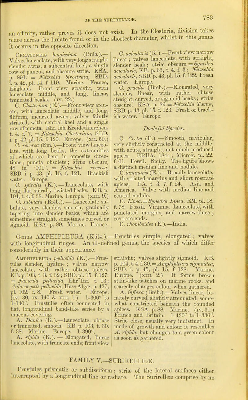 an affinity, rather proves it does not place across the lunate frond, or in the it occurs in the opposite direction. CF.r.ATONEis hngisdma (Br(5b.^.— Valves lanceolate, with very long sti-aight slender awns, a siibcenti-al keel, a single row of puncta, and obsciu'e stiioe. KSA. p. 891. = Nitzschia hirostrata, SBD. i. p. 42, pi. 14. f. 119. Mai-ine. France, England. Front Adew sti-aight, with lanceolate middle, and long; linear, truncated beaks, (iv. 22.) C. Closterimn (E.).—Front view arcu- ate, with lanceolate middle, and long, filiform, incuived awns; valves faintly- striated, with centi-al keel and a single row of pimcta. Ehr. leb. Kreidethierchen. t. 4. f. 7. = Nitzschia Closterimn, SBD. i. p. 42, pi. 15. f 120. Eui-ope. (xii. 59.) C. reversa (Sm.).—Front view lanceo- late, with long beaks, the exti-emities of .which are bent in opposite direc- tions ; pimcta obsolete; sti-ise obscuje, 48 in •001. = Nitzschia reversa, SBD. i. p. 43, pi. 15. £ 121. Brackish water. Em'ope. C. spiralis (K.). — Lanceolate, with long, flat, spirally-twisted beaks. KB. p. 104, t. 4. i. 38. Marine. Europe, (xin. 9.) C. suhulata (Breb.).—Lanceolate su- bulate, very slender, smooth, gi-adually tapering into slender beaks, which are sometimes sti-aight, sometimes cm-ved or sigmoid. KSA. p. 89. Marine. France. exist. In the Closteria, division takes shortest diameter, whilst in this genus 0. acicularis (K.).—Front view naiTOw linear; valves lanceolate, with sti-aight, slender beak; striae ohscme.^Synedra adcidaris, KB. p. 63, t. 4. f. 3; Nitzschia acicularis, SBD. p. 43, pi. 15. f. 122. Fresh water. Europe. C. gracilis (Breb.).—Elongated, veiy slender, linear, with rather obtuse straight, cm-ved, or sigmoid beaks; striae obscure. KSA. p. 89. = Nitzschia Tania, SBD. p. 43, pi. 15. f. 123. Fresh or brack- ish water. Em-ope. Douhtful Species. C. Cretce (E.). — Smooth, navicular, very slightly constiicted at the middle, with acute, straight, not much produced apices. ERBA. 1844; Microg. pi. 22. f 61. Fossil. Sicily. The figm-e shows a distinct median line and nodule. C. laminaris (E.).—Broadly lanceolate, with striated margins and short rostrate apices. EA. t. 3. 7. f. 24. Asia and America. Valve with median line and centi-al nodule. C. Linea. = Synedra Linea, EM. pi. 18. f. 78. Fossil. Virginia. Lanceolate, with punctated margins, and narrow-linear, rosti-ate ends. C. rhomboides (E.).—^India. Genus AMPHIPLEUEA (Kiitz.).—Fnisttdes simple, elongated; valves with longitudinal ridges. An ill-defined genus, the species of which differ considerably in their appearance. A^EPHrPLEUBA pellucida (K.).—^Fms- tules slender, hyaline ; valves narrow lanceolate, with rather obtuse apices. KB. p. 103, t. 3. f 32; SBD. pi. 15. f. 127. = Navicida pellucida, Ehr Inf. t. 13; Aidacocystis pellucida, Haas Algse, p. 427, pi. 102. f 8. Fresh water. Europe, (iv. 30, IX. 140 & xm. 1.) 1-300 to 1-140. Frustides often connected in flat, longitudinal band-like series by a mucous covering. A. Daiiica (K.).—Lanceolate, obtuse or truncated, smooth. KB. p. 103, t. 30. f. 38. Marine. Europe. 1-390. A. rigida (K.). — Elongated, linear lanceolate, with truncate ends; front view sti'aight; valves slightly sigmoid. KB. g. 104, t. 4. f. 30. =Amphipleura si(/moidea, BD. i. p. 45, pi. 15. f 128. Marine. Europe, (xm. 2.) It forms brown stain-like patches on marine rocks, and scarcely changes colom* when gathered. A. inflexa (Breb.).—Valves linear, In- nately curved, slightly attenuated, some- what constricted beneath the rounded apices. KSA. p. 88. Mai-iue. (iv. 31.) France and Bntain. 1-430 to 1-336. StrisB close, usually very indistinct. In mode of growth and colour it resembles A, rigida, but changes to a green colour as soon as gathered. FAMILY v.—SURTRELLE^. Frastules prismatic or suhdisciform ; strite of the lateral sm-faces cither interrupted by a longitudinal line or radiate. The SuriroUefe comprise by no