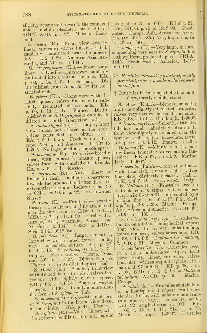 slightly attenuated towards the rounded apices, nodule obsolete; striae 26 in •001. SBl). ii. p. 98. Marine. Scot- land. , S. acuta (E.).—Front view exactly linear, truncate; valves lineai-, stnated, suddenly acuminated near the apices. EA. t. l. 2. f. 22. America, Asia, Au- stralia, and Africa. 1-144. S. Oxyrhynchus (K.). —Front view linear; valves linear, narrower, suddenly contracted into a beak at the ends. KB. p. 66, t. 14. f. 9-11. Germany. Ui- stingaiished fi-om S. acuta by its con- stricted ends. S. vitrea (K.).—Front view with di- lated apices; valves linear, with sud- denly attenuated, obtuse ends. KB. p. 66, t. 14. f. 17. France. Distin- guished from S. Oxyrhynchus only by its dilated ends in the fi-ont view, Rab. S. amphirhynchus (E.).—Large ; fi-ont view linear, not dilated at the ends; valves conti-acted into obtuse beaks. EA. t. 3. 1. f. 25. Fresh water. Eu- rope, Africa, and America. 1-120 to 1-96. No large, median, smooth space. S. prcs7norsa (E.).—Frontviewbroadly lineal-, with trimcated, cimeate apices; valves linear, with roimded cimeate ends. EA. t. 3. 6. f. 11. Mexico. S. deformis (S.).—Valves linear or linear-elliptical, suddenly constricted towards the produced and often distorted extremities; nodide obsolete; stnse 36 in -001. SBD. ii. p. 98. Fresh water. Sussex. . S. Ulna (E.).—Front view exactly linear; valves linear, slightly attenuated near the obtuse apices. E Inf. 1.17.1.1; SBD. i. p. 71, pi. 11. f. 90. Fresh water. Europe, Asia, AustraHa, Africa, and America, (x. 184.) 1-280 to 1-100. Sti-ite 24 in -001, Sm. , . , S.spletidens (K.).—Large, elongated; front view with dUated truncate ends ; valves lanceolate, obtuse. KB. p. 66, t. 14. f. 16. = & radians, SBD. i. p. 71, in part. Fresh water. Europe, Asia, and Africa. 1-72. Differs from S. Ulna merely in its dilated apices, Bab. S. Danica (Ii.).—Slender; front view with dilated, truncate ends; valves lan- ceolate with slightly clavate apices. KB p. 66, t. 14. f. 13. Stagnant waters. Europe. 1-140. Is only a more slen- der form of S. spkndms, Rab. S. m«,soc«miK« (J5reb.).-Size and form of S. Ulna, but in the lateral view flexed a the middle. KSA 44. France S. cnpitala (E.).-Valves Imcar, av th the extremities dilated into a tnangular head; striaj 23'in -OOr'. E Inf. t. 21. f 28; SBD. i. p. 72, pi. 12. f 93. Fresh water. Europe, Asia, xVlrica, and Ame- rica, (iv. 29; X. 185.) Very large; length 1-120 to 1-40. S. longiccps (E.).—Very large, in fomi approaching very near to S. capitata, but with stylifonii, produced apices. ERBA. 1845. Fresh water. America. 1-12 to 1-144. 6 * Friistules attachedly a distinct, mostly persistent, stipes; pseudo-nodule obsolete or indefinite, t Frustules in fan-shaped clusters on a short, mostly simple, stipes. S. Acus (Kiitz.).—Slender, smooth; front view shghtly attenuated, truncate; valves very naiTow lanceolate, acicular. KB. p. 68,1.15. f. 7. Hamburgh. 1-960. S.fumiliaris (Ii.).—Smooth, distinctly tabellate and flabeUately dismpted; front view slightly attenuated near the truncate ends ; valves lanceolate, acute. KB. p. 68,1.15. f. 12. France. 1-320. S. parva (K.).—Minute, smooth, nar- row linear, tnmcate ; valves narrow lan- ceolate. KB. p. 67, t. 15. f. 9. Marine. Italy. 1-960. ' S. socialis (Rab.).—Front view linear, with ti-imcated, cuneate ends; valves lanceolate, distinctly striated. Rab D. p. 56, t. 4. f. 22. Fresh water. Italy. S. GalUonii (E.).—Fi-ustules large, on a thick, convex stipes; valves lanceo- late ; sti-ife 36 in -001, mten-upted by a median line. E Inf. t. 17. f 2 ; SBD. i. p. 74, pi. 30. f 265. Marine. Europe, Asia, Africa, and America, (xn. 34,36.) 1-120 to 1-100. S. fasciculata (Ag.,K.).—Fnistules ta- bulate, on a thick, hemispherical stipes; front view linear, with subattenuate, truncate apices; valves lanceolate. KB. p. 68, t. 15. f. 6.=Biatoma fascicuhtinn, AgCD. p. 51. Marine. Common. \tahulata (Ag., K.).—Frustides large, on a thick, abbreviated stipes; front view broadly linear, tnmcate; valves lanceolate, viHth subcapitate apices; strios marginal, 27 in -001. KB. p. 68, t. 15. f 10 • SBD. pi. 12. f. 96. = Diatoma iahuldtum, AgCD. p. 50. Mai-ine. Eiu'ope. , , , , 1 i S. affinis (K.).—Frustules subtabul.itc, on a hemispherical stipes: front view slender, linear, wth subatienuate trun- cate apices; valves lanceolate,^ acuto, with 32 marginal strii« in -001'. IvB. p. 68, t. 15. f. 6, 11; SBD. i. p. /3. Marine. Europe. 1-320. Fi-ustules