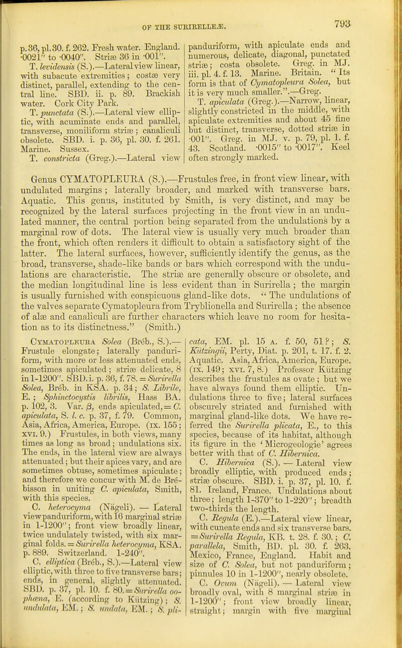 p. 36, pi. 30. f. 262. Fi-esli wator. Eiio;land. •0021 to -0040. Strire 36 iu -001. T. levidoms (S.).—Lateriilview liuear, with subacute extremities; costa3 very distinct, pai-allel, extending to the cen- tral line. SBD. ii. p. 89. Brackish water. Cork City Paiic. T. punctata (S.).—Lateral view ellip- tic, with acuminate ends and parallel, ti-ansverse, monilifonu strife ; canaliculi obsolete. SBD. i. p. 36, pi. 30. f. 261. Marine. Sussex. T. constricta (Greg.).—Lateral view panduriform, with apiculato ends and numerous, delicate, diagonal, punctated strite; costa obsolete. Greg, in MJ. iii. pi. 4. f. 13. Marine. Britain.  Its fonn is that of Cymatopleura Soka, but it is very much smaller..—Grog. T. apiculata (Grejj.).—NaiTOw, linear, slightly constricted in the middle, with apiculate exti-emities and about 45 line but distinct, transverse, dotted strife in •001. Greg, in MJ. v. p. 79, pi. 1. f. 43. Scotland. •OOlS to •0017. Keel often sti'ongly marked. Genus CYMATOPLEUEA (S.).—Frustules free, in front view linear, with undulated margins ; laterally broader, and marked with transverse bars. Aquatic. Tliis genus, instituted by Smith, is very distinct, and may be recognized by the lateral surfaces projecting in the front view in an undu- lated manner, the central portion being separated from the undulations by a marg-raal row of dots. The lateral view is usually very much broader than the front, which often renders it difficult to obtain a satisfactory sight of the latter. The lateral surfaces, however, snfflciently identify the genus, as the broad, transverse, shade-like bands or bars which correspond with the undu- lations are characteristic. The striae are generally obscui-e or obsolete, and the median longitudinal line is less evident than in Surii'ella; the margin is usually fiu'nished with conspicuous gland-like dots.  The undulations of the valves separate Cymatopleui-a from TiyblioneUa and SurireUa; the absence of alse and canalicuh are further characters which leave no room for hesita- tion as to its distinctness. (Smith.) Cymatopleuba Solea (Breb., S.).— Frustiile elongate; laterally panduri- form, mth more or less attenuated ends, sometimes apiculated ; strife delicate, 8 in 1-1200. SBD. i. p. 36, f. 78. = SurireUa Solea, Breb. in KSA. p. 34; S. Lihrile, E. ; Sphinctocystis librilis, Hass BA. p. 102, 3. Var. jS, ends apiculated, = C. apiculata, S. I. c. p. 37, f. 79. Common, Asia, Africa, America, Em'ope. (ix. 155; XVI. 9.) Frustules, in both views, many times as long as broad; undulations six. The ends, in the lateral view are always attenuated; but their apices vary, and are sometimes obtuse, sometimes apiculate; and therefore we conem- with M. de Bre- bisson in uniting C. apiculata. Smith, with this .species. C. heterocyma (Nageli). — Lateral viewpanduriform,withl6 marginal strife in 1-1200; front view broadly linear, twice undulately twisted, with six mar- ginal iQ\As. = SurireUa heterocyma, KSA. p. 889. Switzerland. 1-240. C. elliptica (Br6b., S.).—Lateral view elliptic, with three to five transverse bars; ends, m general, sliglitly attenuated. SBD. p. 37, pi. 10. f. m. = SurireUa on- ph(mia, E. (according to Kiitzing); S. undulala, EM.; S. undata, EM.; S. pli- cata, EM. pi. 15 a. f. 50, 51?; S. Kiitzingii, Perty, Diat. p. 201, t. 17. f. 2. Aqufitic. Asia, Africa, America, Eiu'ope. (rx. 149; xvi. 7, 8.) Professor Kiitzmg describes the frustules as ovate; but we have always found them elliptic. Un- dulations three to five; lateral svu'faces obscm-ely striated and furnished with marginal gland-like dots. We have re- fen-ed the SurireUa plicata, E., to this species, because of its habitat, although its figm-e in the 'Microgeologie' agrees better with that of C. Hihernica. C. Hihernica (S.). — Lateral view broadly elliptic, with produced ends; striae obscm-e. SBD. i. p. 37, pi. 10. f. 81. Ireland, France. Undulations about three; length 1-370to 1-220; breadth two-thirds the length. C. Rcyula (E.).—Lateral view linear, with cuneate ends and six transverse bars. = SurireUa Roqula, KB. t. 28. f. 30.; C. parallela, Smith, BD. pi. 30. f. 263. Mexico, France, England. Habit and size of C. Solea, but not panduriform; pinnules 10 in 1-1200, nearly obsolete. C. Ovum (Niigeli). — Lateral view broadly oval, with 8 marginal strife in 1-1200; front view broadly linear, straight; margin witli five marginal