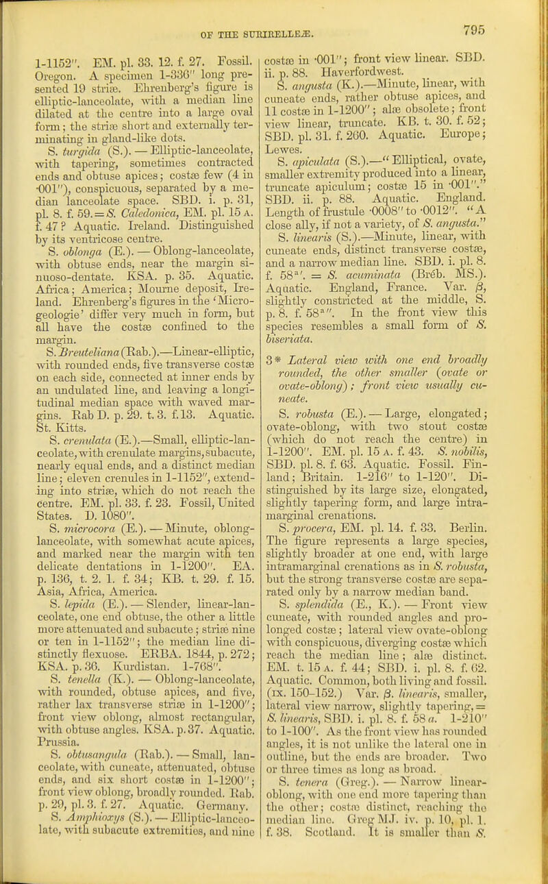 1-1152. EM. pi. 33. 12. f. 27. FossU. Oregon. A specimen 1-33G long pre- sented 19 stria3. Ebreuberg's figure is elliptic-lanceolate, with a median line dilated at the centre into a lar^'e oval foi-m; the strix short and externally ter- minating in gland-lilie dots. S. tunjida (S.). — Elliptic-lanceolate, ■with tapering, sometimes contracted ends and obtnse apices; costas few (4 in •001), conspicuous, separated by a me- dian lanceolate space. SBD. i. p. 31, pi. 8. f. 59. = -5. Cah'donica, EM. pi. 15 a. f. 47 ? Aquatic. Ireland. Distinguished by its ventricose centre. S. ohlonga (E.). — Oblong-lanceolate, with obtuse ends, near the margin si- nuoso-dentate. KSA. p. 35. Aquatic. Afiica; America; Mom-ne deposit, Ire- land. Ehrenberg's figui'es in the 'Micro- geologie' differ very much in form, but aU have the costas confined to the margin. S. Breuteliana (Eab.).—Linear-elliptic, with roimded ends, fiive transverse costse on each side, connected at inner ends by an imdulated line, and leaving a longi- tudinal median space with waved mai'- gins. Eab D. p. 29. t. 3. f.l3. Aquatic. St. Kitts. S. crcnulata (E.).—Small, elliptic-lan- ceolate, with crenulate margins, subacute, nearly equal ends, and a distinct median line; eleven crenules in 1-1152, extend- ing into strise, which do not reach the Centre. EM. pi. 33. f. 23. Fossil, United States. D. 1080. S. microcora (E.). — Minute, oblong- lanceolate, with somewhat acute apices, and marked near the margin with ten delicate dentations in 1-1200. EA. p. 136, t. 2. 1. f. 34; lOB. t. 29. f. 15. Asia, Afiica, America. S. Itpida (E.). — Slender, linear-lan- ceolate, one end obtuse, the other a little more attenxiated and subacute; strife nine or ten in 1-1152; the median line di- stinctly flexuose. EKBA. 1844, p. 272; KSA. p. 36. Km-distan. 1-708. S. tenella (K.). — Oblong-lanceolate, vsdth roimded, obtuse apices, and five, rather lax ti-ansverse striae in 1-1200; fi'ont view oblong, almost rectangular, ■with obtuse angles. KSA. p. 37. Aquatic. Prussia. S. obtusanr/ida (Rab.). — Small, lan- ceolate, Avith cimeate, attenuated, obtuse ends, and six short costaj in 1-1200; front view oblong, broadly romided. Rab. p. 29, pi. 3. f 27. Aquatic. Germany. S. Aniphinxijs (S.). — Elliptic-lanceo- late, with subacute extremities, and nine co8ta3 in -001; front view lineai-. SBD. ii. p. 88. Haverfordwest. S. angusta (K.).—Minute, linear, with cuneate ends, rather obtuse apices, and 11 costffi in 1-1200; alse obsolete; front view lineal', tnmcate. KB. t. 30. f. 52; SBD. pi. 31. f. 260. Aquatic. Em-ope; Lewes. S. apiculata (S.).— Elliptical, ovate, smaller extremity produced mto a linear, tnmcate apiculum; costse 15 in -001. SBD. ii. p. 88. Aquatic. England. Length of frustule -0008to -0012. A close ally, if not a variety, of ^S. angusta. S. linearis (S.).—Minute, linear, with cimeate ends, distinct transverse costse, and a narrow median line. SBD. i. pi. 8. f. 58^'. = S. acuminata (Br(5b. MS.). Aquatic. England, France. Var. jS, slightly constricted at the middle, S. p. 8. £58. In the front view this species resembles a small form of S. hiseriata. 3* Lateral vietv with one end broadly rounded, the other smaller (ovate or ovate-oblong); front view usually cu- neate. S. rohusta (E.). — Large, elongated; ovate-oblong, with two stout costae (which do not reach the centre) in 1-1200. EM. pi. 15 A. f. 43. S. noUlis, SBD. pi. 8. i. 63. Aquatic. Fossil. Fin- land; Britain. 1-216 to 1-120. Di- stinguished by its large size, elongated, slightly tapering form, and large intra- marginal crenations. S. procera, EM. pi. 14. f. 33. Berlin. The figure represents a lai'ge species, slightly broader at one end, with large intramarginal crenations as in S. robusta, but the strong transverse costae are sepa- rated only by a narrow median hand. S. splendida (E., K.). — Front view cimeate, vsdth roimded angles and pro- longed costse; lateral view ovate-oblong with conspicuous, diverging costse wliicli reach the median line; aire distinct. EM. t. 15 a. f. 44; SBD. i. pi. 8. f. 62. Aquatic. Common, both living and fossil, (ix. 150-152.) Var. 0. linearis, smaller, lateral view narrow, slightly tapering, = S. linearis, SBD. i. pi. 8. f. 58 «. 1-210 to 1-100. As the front view has roimded angles, it is not unlike the lateral one in outline, but the ends are broader. Two or three times as long as broad. S. tenera (Greg.). — Narrow linoar- oblong, with one end more tapering than the other; costse distinct, reaching the median line. GregM.T. iv. p. 10, pi. 1. f. 38. Scotland. It is smaller tlian S.