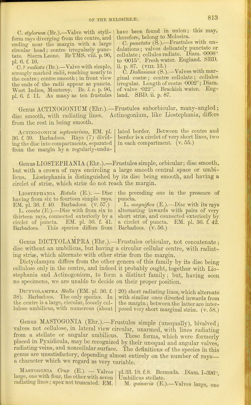 C. styhrum (Br.).—Vnlve with styli- foi-m rays divevgiug from the centre, and ending near the margin with a hxrge cireulai' head; centre irregidarly punc- tate. Sierra Leone. Br TMS. viii. p. 96, pi. 6. f. 16. C. ? racUata (Br.).—Valve ^vith simple, strongly marlved radii, reaching nearly to the centre; centre smooth ; in ii'ont view the ends of the radii appeal- as pimcta. West Indies, Monterey. Br. /. c. p. 96, pi. 6. f. 11. As many as ten friistules have been found in union; this may, therefore, belong to Melosira. C. punctata (S.).—Frustules with un- dulations ; valves delicately punctate or cellulate; cellules radiate. Diam. -0008 to -0015. Fresh water. England. SBD, ii. p. 87. (VIII. 13.) C. Dallasiana (S.). —Valves with mar- ginal costse ; centre cellidate ; cellules in-egular. Length of costse -0002; Diam. of valve -022. Brackish water. Eng- land. SBD. ii. p. 87. Genus ACTIlSrOGOlSriUM (Ehr.).—Frustules suborbicular, many-angled; disc smooth, with radiating lines. Actinogonium, LOie Liostephania, diiFers from the rest in being smooth. Actinogonium septmanum, EM. pi. lated border. Between the centre and 36. f. 39. Barbadoes. Rays (7) divid- border is a circlet of very short lines, two ing the disc into compartments, separated in each compartment, (v. 55.) from the margin by a regulaiiy-imdu- Genus LIOSTEPHAJSTIA (Ehr.).—Frustules simple, orbicular; disc smooth, but with a crown of rays encircling a large smooth central space or umbi- licus. Liostephania is distinguished by its disc being smooth, and having a circlet of striae, which strise do not reach the margin. Liostephania Rotula (E.). — Disc having from six to fom'teen simple rays. EM. pi. 36. £ 40. Barbadoes. (v. 57.) L. comta (E.).—Disc with from six to thirteen rays, connected exteriorly by a circlet of pimcta. EM. pi. 36. f. 41. Barbadoes. This species differs from the preceding one in the presence of puncta. L. magnifica (E.).—Disc with its rays alternating inwards with pairs of very short strise, and connected exteriorly by a circlet of pimcta. EM. pi. 36. f. 42. Barbadoes. (v. 56.) Genus DICTTOLAMPEA (Ehr.).—Frustules orbicular, not concatenate; disc without an umbilicus, but having a circular cellular centre, with radiat- ing strise, which alternate with other striae from the mai'g-in. Dictyolampra differs from the other genera of this family by its disc being cellulose only in the centre, and indeed it probably ought, together with Lio- stephania and Actinogonium, to form a distinct family; but, having seen no specimens, we are unable to decide on their proper position. Dictyolampra Stella (EM. pi. 36. £ 38). Barbadoes. The only species. In the centre is a large, circular, loosely cel- hdose umbilicus, with niunerous (about 20) short radiating lines, which alternate with similar ones directed inwards fi-om the margin; between the latter are inter- posed very short marginal strias. (v. 58.) Genus MASTOGONIA (Ehr.).—Frustules simple (unequally), bivalved; valves not ceUulose, in lateral view circular, unarmed, witli lines radiating from a stellate or angular umbilicus. These forms, which were formerly placed in Pyxidicula, may bo recognized by their unequal and angidar valves, radiatmg veins, and noncelhdar surface. The deiinitions of the species in this genus are unsatisfactory, depending ahnost entirely on the number of rays— a character which we regard as veiy variable. Mastogonia Crux (E.). — Valves pl.33. 18.£8. Bermuda. Diam. 1-396 large, one with foiu, the other with seven Umbilicus stellate, radiating linos; apex not tnmcated. EM. M. quinaria (E.).—Valves large one