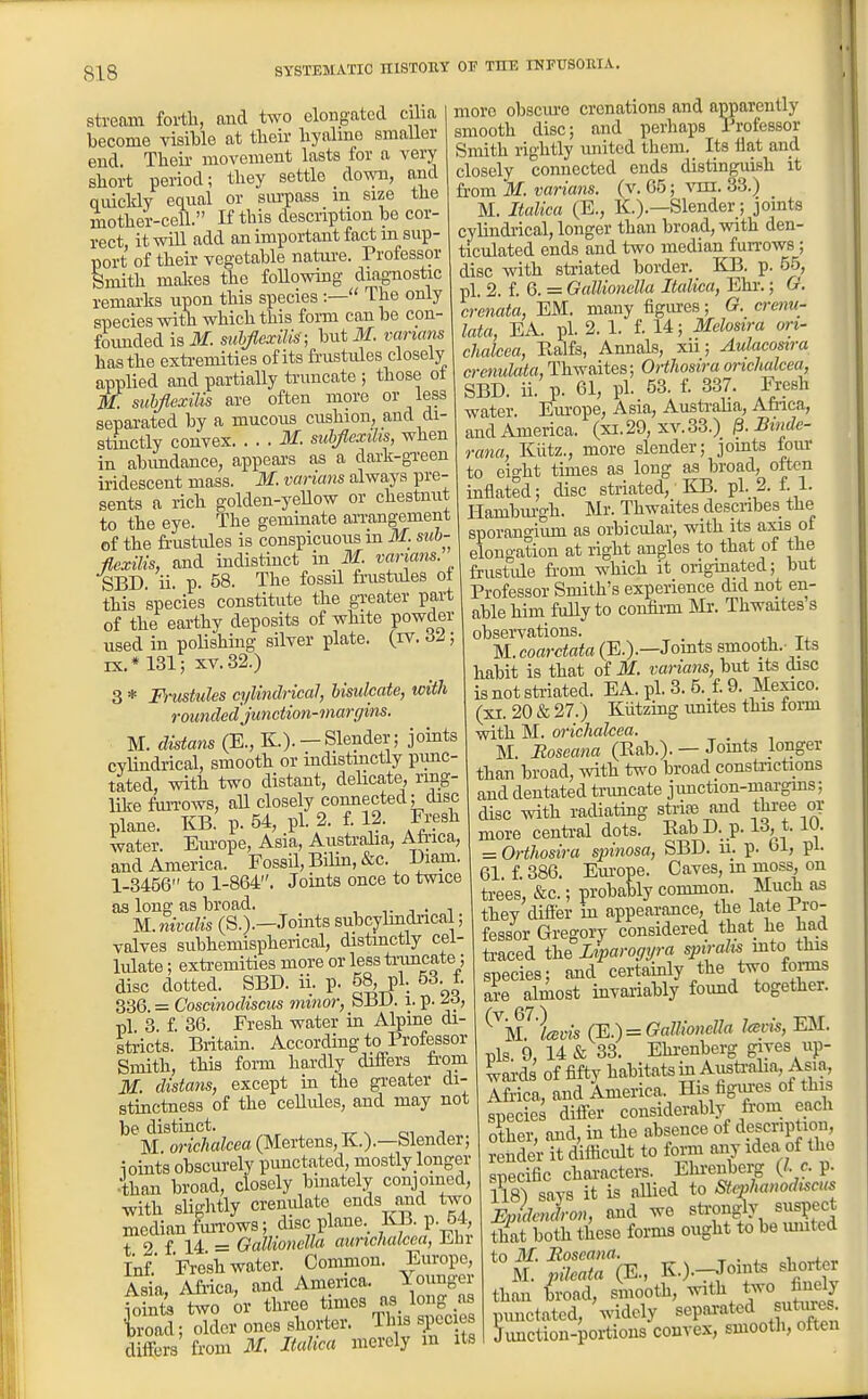 stream forth, and two elongated cilia become TisMe at tlieir liyalino smaller end. Tlieir movement lasts for a very short period; they settle down, and quicldy equal or surpass m size the mother-cell. If this description he cor- rect it wiU add an important fact m sup- port of their vegetable nature. Professor Smith malces the following diagnostic remai'lis upon this species :— The only species with which this form can be con- foimded iaM. suhJIexiUs; butilf. vanmw has the exti-emities of its frustules closely applied and partially truncate ; those ot M. mhflexilis are often more or less separated by a mucous cushion, and di- stinctly convex M. suhflexihs, when in abimdance, appears as a dark-gi-een iridescent mass. M. varians always pre- sents a rich golden-yeUow or chestnut to the eye. The geminate arrangement of the frustules is conspicuous in M. sub- fiexiUs, and indistinct in M. varians. SBD. ii. p. 58. The fossil frustides ot this species constitute the gi-eater part of the earthy deposits of white powder used in polishing silver plate, (iv. ; IX.* 131; XV. 32.) 3 * Ft-usttiles cylindrical, Usulcate, with rounded junctio7i-margins. M. distans (E., K.).— Slender; joints cylindrical, smooth or indistmctly punc- tated, with two distant, dehcate, ring- like fui-rows, aU closely connected; disc plane. KB.' p. 54, pi. 2. f 12. Fresh water. Em-ope, Asia, Austi-aha, Ah-ica, and America. Fossil, Bilin, &c. Diam. 1-3456 to 1-864. Joints once to twice as long as broad. ^^ 3 • ^ nivalis (S.).—Jomts subcylindncal, valves subhemispherical, distinctly cel- lulate ; extremities more or less ti-uncate; disc dotted. SBD. ii. p. 58^ pl; 53. f. 336. = Coscinodiscus minor, bBU. 1. p. ^o, pi 3. f. 36. Fresh water in Alpine di- stricts. Britain. According to Professor Smith, this form hardly differs fi'om M. distans, except in the greater di- stinctness of the cellules, and may not be distinct. j M orichalcea (Mortens, K.).—Slender; ioints obscurely punctated, mostly longer •than broad, closely binately conjoined, with slightly crenulate ends and two median fmnws; disc plaue._ KB. p. 54, t 2 f 14 = Gallionella aurichalcca, Jihr Inf.' Freshwater. Comnion. Europe, Asia, Africa, and America. Younger ioints two or three times as_ long as Iroad; older ones shorter. This species diners from M. Italica merely m its more obscm-o crenations and apparently smooth disc; and perhaps Professor Smith rightly miited them. Its flat and closely connected ends distinguish it from M. varians. (v. 65; vxti. 33.) M. Italica (E., K.).—Slender; joints cylindi-ical, longer than broad, with den- ticulated ends and two median furrows; disc with striated border. KB. p. 5-5, pi. 2. f. 6. = Gallionella Italica, Ehr.; O. crenata, EM. many figm-es; G. cremi- lata, EA. pi. 2. 1. f. 14; Melosira ort- cJialcea, Ralfs, Annals, xii; Aulacosira a-cnulata, Thwaites; Orthosira orichalcea, SBD. ii. p. 61, pi. 53. f. 337. Fresh water. Em-ope, Asia, Australia, Afiica, and America, (xi.29, xv.33.) 0. Sinde- rana, Kiitz., more slender; jomts lour to eight times as long as broad, often inflated; disc striated, KB. pi. 2. f. 1. Hambm-gh. Mr. Thwaites desciibes the sporangium as orbicular, with its axis of elongation at right angles to that of the frustule fi-'om which it originated; but Professor Smith's experience did not en- able him fuUy to confii-m ]Mr. Thwaites s observations. ^-l M-.coarctata (E.).—Jomts smooth, its habit is that of M. varians, but its disc is not striated. EA. pi. 3. 5. £ 9. Mexico. (XI. 20 & 27.) Kiitzing imites this toi-m with M. orichalcea. M. Boseana (Rah.). — Jomts longer than broad, with two broad constrictions and dentated ti-uncate junction-margms; disc with radiating striffi and three or more centi-al dots. EabD. p. 13,1.10. = Orthosira spinosa, SBD. u. p. bi, pi. 61 f 386. Em-ope. Caves, m moss, on trees, &c.; probably common. Much as they differ in appearance, the late 1 ro- fessor Gregory considered that he liaa traced the Liparogyra spiralis mto this species; and certainly the two foi-ms are almost invariably found together. M. l<svis rE.) = Gallionella lads, ESI. pis. 9, 14 & 33. Ehi-enberg gives up- wards of fifty habitats in_Austi-aha, Asia, Africa, and America. His figm-es of this species differ considerably fi-om_ each other, and, in the absence of description, render it difticidt to form any idea of tho specific characters. Ehreubcrg {I. e. p. 1Y8) says it is allied to Stephanodrscus Ep deniron, and we sti-ongly suspect that both these forms ought to be united to 31. Boseana. ^ M. pileata (E., K.).-Joints shorter than broad, smooth, with t^vo finely punctated, widely sepai-ated sutoes. Simction-portions convex, smooth, often