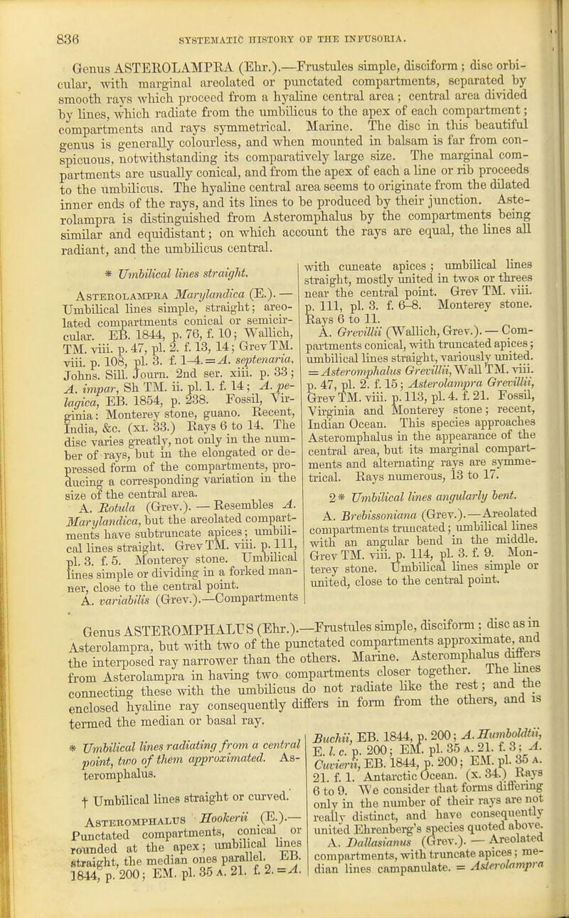 Genus ASTEROLAMPRA (Ehr.).—Frustules simple, disciform; disc orbi- cular, with marginal areolated or punctated compartments, separated by smootb rays wbicb proceed from a hyaline central area; central area divided by lines, which radiate from the umbilicus to the apex of each compartment; compartments and rays symmetrical. Marine. The disc in this beautiful genus is generally colourless, and when mounted in balsam is far from con- spicuous, notwithstanding its comparatively large size. The marginal com- partments are usually conical, and from the apex of each a line or rib proceeds to the umbilicus. The hyaline central area seems to originate from the dilated inner ends of the rays, and its lines to be produced by their junction. Aste- rolampra is distinguished from Asteromphalus by the compartments being similar and equidistant; on which account the rays are equal, the lines aU radiant, and the umbilicus central. * Umbilical lines straight AsTEEOLAMPBA Marijlcindica (E.). — Umbilical lines simple, straight; areo- lated compartments conical or semicir- cular. EB. 1844, p. 76, f. 10; Wallich, TM. viii. p. 47, pi. 2. f. 13, 14; GrevTM. viii. p. 108, pi. 3. f. 1-4. = A. septenana, Johns. Sill. Journ. 2nd ser. xiii. p. 33; A. impar, Sh TM. ii. pL 1. f. 14; A. pe- lagica, EB. 1854, p. 288. Fossil, Vir- ginia : Monterey stone, guano. Recent, India, &c. (XI. 33.) Rays 6 to 14. The disc varies greatly, not only m the num- ber of rays, but in the elongated or de- pressed form of the compartments, pro- ducing a corresponding variation in the size of the central area. A. Rotula (Grev.). — Resembles A. Martjlandica, but the areolated compart- ments have subtruncate apices; umbili- cal lines sti-aight. GrevTM. viii. p. Ill, pi. 8. £5. Monterey stone. Umbilical fines simple or dividing in a forked man- ner, close to the central point. A. variabilis (Grev.).—Compartments Genus ASTEROMPHALUS (Ehr.).—Erustules simple, disciform ; disc as in Asterolampra, but ^^dth two of the punctated compartments approximate, and the interposed ray narrower than the others. Marine. Aster^phalus differs from Asterolampra in having two compartments closer together, ihe lines connecting these with the umbilicus do not radiate hke the rest; and the enclosed hyaline ray consequently differs in form from the others, and is termed the median or basal ray. with cvmeate apices; umbilical lines straight, mostly united in twos or threes near the central point. Grev TM. viii. p. Ill, pi. 3. f. 6-8. Monterey stone. Rays 6 to 11. A. Grevillii (Wallich, Grev.). — Com- partments conical, with truncated apices; umbilical lines straight, variously united. =. Asterompilialus Grevillii,Wa\l TM. viii. p. 47, pi. 2. f. 15; Asterolampra Grevillii, Grev TM. viii. p. 113, pi. 4. f. 21. FossU, Virginia and Monterey stone; recent, Indian Ocean. This species approaches Asteromphalus in the appearance of the central area, but its marginal compart- ments and alternating rays are symme- trical. Rays numerous, 13 to 17. 2 * Umbilical lines angularly bent. A. Brebissoniana (Grev.).—Areolated compai-tments tiiuicated; umbiUcal lines with an angular bend in the middle. Grev TM. viii. p. 114, pi. 3. f. 9. Mon- terey stone. Umbihcal lines simple or united, close to the central point. * Umbilical lines radiating from a central point, two of them approximated. As- teromphalus. t Umbilical lines straight or curved. AsTBBOMPHALUS Hookerii .(E-).— Pimctated compartments, conical or rounded at the apex; lunbilical hnes straight, the median ones V^ff 1844, p. 200; EM. pi. 35 a. 21. £ 2. =A. Buchn, EB. 1844, p. 200; A. HumbMtn, E. I. c. p. 200; EM pi. 35 a. 21. f. 3; .4. Cuviern, EB. 1844, p. 200; EM. pi. 35 a. 21. f. 1. Antai-ctic Ocean, (x. 34.) Kays 6 to 9. We consider that foi-ms differing only in the munber of their rays are not reallv distinct, and have consequently united Ehrenberg's species quoted above. A. Dallasianns (Grev.). — Areolated compartments, with truncate apices; me- dian lines campanulate. = Asierolompra