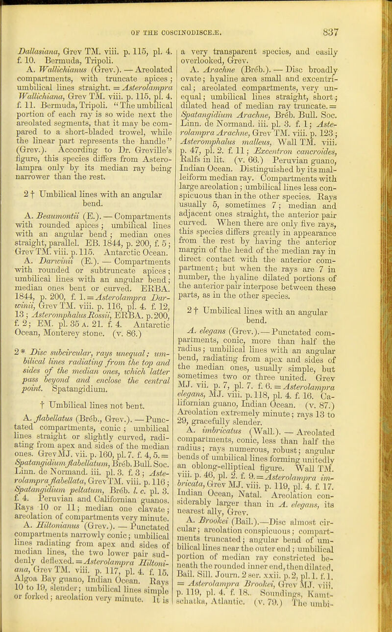 Dallasiana, Grev TM. viii. p. 115, pi. 4. f. 10. Bermuda, Tripoli. A. WalUchianus TGrev.). — Aveolated compartments, witn trmicate apices; umbilical lines straight. = Asterolampra WallichiMia, Grev TM. viii. p. 115, pi. 4. f. 11. Bermuda, Tripoli.  The umbilical portion of each ray is so wide next the ai'eolated segments, tliat it may be com- pared to a short-bladed ti-owel, while the linear part represents the handle  (Grev.). According to Dr. GreviUe's hgure, this species differs from Astero- lampra only by its median ray being naiTower than the I'est. 21 Umbilical lines with an angular bend. A. Bemmiontii (E.). — Compartments with rounded apices; lunbiHcal lines with an angidar bend; median ones straight, parallel. EB. 1844, p. 200, I 5; Grev TM. viii. p. 115. Antarctic Ocean. _A. Dancinii (E.). — Compartments with rounded or subtruncate apices; umbilicai lines with an angidar bend; median ones bent or cm'ved. ERBA. 1844, p. 200, f 1.-= Asterolampra Bar- winii, Grev TM. viii. p. 116, pi. 4. £ 12, 13 ; AsteromphalusRossit, ERBA. p.200' f. 2; EM. pi. 35 A. 21. f 4. Antarctic Ocean, Monterey stone, (v. 86.) 2* Disc siibctrcular, rays unequal; mn- hilical lines radiating from the top and sides of the median ones, which latter puss beyond and enclose the central point. Spatangidium. t Umbilical lines not bent. A., flabellatm (Breb., Grev.). —Punc- tated compartments, conic ; umbilical lines straight or slightly curved, radi- ating from apex and sides of the median ones. Grev MJ. vii. p. 160, pi. 7. i. 4,5. = SpatangidiumJlahellatum, Breb. Bull. Soc. Linn, de Normand. iii. pi. 3. £ 3 ; Aste- rolampraJlabellatu, GrevTM. viii. p. 116; Spatangidium peltatum, Breb. I. c. pi. 3. f. 4. Peruvian and Californian guanos. Rays 10 or 11; median one clavate; areolation of compartments very minute. A. Hiltonianus (Grev.). — Punctated compartments naiTowly conic; imibilical lines radiating from apex and sides of median lines, the two lower pair sud- denly A&ilii\&i!i.= Asterolampra Jliltoni- ana, GrevTM. viii. p. 117, pi. 4. £ Algoa Bay guano, Indian Ocean. Rays 10 to 10, slender; umbilical lines simple or forked; areolation very minute. It is a very transparent species, and easily overlooked, Grev. A. Arachne (Br^b.). — Disc broadly ovate; h^'aline area small and excentri- cal; areolated compartments, very vm- equal; umbUical lines straight, short; dilated head of median ray truncate. = Spatangidium Arachne, Breb. Bull. Soc. Linn, de Normand. iii. pi. 3. £ 1; Aste- rolampra Arachne, Grev TM. viii. p. 123; Asteromphalus malleus, Wall TM. viii. p. 47, pi. 2. £ 11; Excentron cancroides, Ralfs in lit. (v. 66.) Peruvian guano, Indian Ocean. Distinguished by its mal- leiform median ray. Compartments with large areolation; umbilical lines less con- spicuous than in the other species. Rays usually 5, sometimes 7; median and adjacent ones straight, the anterior pau- ciu-ved. When there are only five rays, this species differs greatly in appearance fi'om the rest by having the anterior rnargin of the head of the median ray in direct contact with the anterior com- partment; but when the rays ai-e 7 in number, the hyaline dilated portions of the anterior pair interpose between these parts, as in the other species. 21 Umbilical lines with an ang-ular bend. A. elegans (Grev.). — Pimctated com- partments, conic, more than half the radius; umbilical lines with an angulai- bend, radiating from apex and sides of the median ones, usually simple, but sometimes two or three united. Grev MJ. vii. p. 7, pi. 7. £ Q.=: Asterolampra elegans, MJ. viii. p. 118, pi. 4. £ 16. Ca- lifornian guano, Indian Ocean, (v. 87.) Areolation extremely minute; rays 13 to 29, gracefully slender. A. imbricatus (Wall.). — Areolated compartments, conic, less than half the radius; rays numerous, robust; angular bends of umbilical lines forming unitedly an oblong-elliptical figm-e. Wall TM yui. p. 46, pi. 2. £ 2.=^Asterolampra im- bricata, Grev MJ. viii. p. 119, pi. 4. £ 17. Indian Ocean, Natal. Areolation con- siderably larger than in A. elegans, its nearest ally, Grev. A. Broohei (Bail.).—Disc almost cir- cidar; areolation conspicuous ; compart- ments truncated; angidar bend of um- bilical lines near the outer end ; umbilical portion of median ray constricted be- neath the rounded inner end, then dilated. Bail. Sill. Journ. 2 .ser. xxii. p. 2, j)!. 1, £\. = Asterolampra Brookei, Grev M,T. viii, p. 110, pi. 4. £ 18.. Soundings, Kamt- schaLka, Atlantic, ( v. 70.) The uinbi-