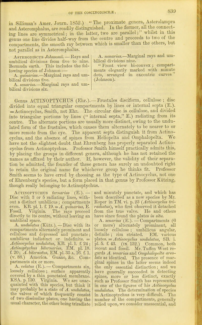 in SiUimtui's Amev. Journ. 1852.)  The proximate genera, Asterolampra and Asteromphalus, ai'e readily distinguished. In the fonuor, all the connect- ing hnes are symmetrical; in the latter, two are parallel; whilst m this genus one hue divides half-way from the centre and proceeds to two of the compartments, the smooth ray between which is smaUor than the others, but not parallel as in. Asteromphalus. AsTERODiscus JohnsouU. — Rays and umbilical divisions from five to nine. Bermuda earth. This includes the fol- lowing species of Johnson :— A. quinarius.—Marginal rays and imi- bilical divisions five. A. senarius.—Marginal rays and um- bilical divisions six. A. nonarius.—Marginal rays and um- bilical divisions nine.  Front view bi-convex ; compart- ments elegantly marked with minute dots, an-anged in excentric cuiwes (Johnson). Genus ACTINOPTYCHUS (Ehr.).—Fnistules disciform, cellulose ; disc divided mto equal triangular compartments by lines or internal septa (E.). = Actinocyclus, Smith, not Ehr. The circular disc is cellulose, and divided into triangiilar portions by lines ( internal septa, E.) radiating from its centre. The alternate portions are usually more distinct, owing to the undu- lated form of the frustules, which causes them alternately to be nearer to or more remote from the eye. The apparent septa distinguish it from Actino- cyclus, and the absence of spines from Heliopelta and Omphalopelta. We have not the slightest doubt that Ehrenberg has properly separated Actino- cyclus from Actinoptychus. Professor Smith himseK practically admits this, by placing the groups in different genera, although he has not retained the names as afiLxed by their author. If, however, the validity of their sepai'a- tion be admitted, the founder of these genera has surely an undoubted right to retain the original name for whichever group he thinks fit. Professor Smith seems to have erred by choosing as the type of Actinocyclus, not one of Ehrenberg's species, but a form placed in that genus by Professor Kiitzing, though really belonging to Actinoptychus. Actinoptychus ternarius (E.). — Disc with 3 or 5 radiating lines, with- out a distinct umbilicus; compartments even. KB. pi. 1. f. 19. = A. quinarius, E. Fossil. Virginia. The rays proceed directly to its centre, without leaving an umbilical space. A. undulatus (Klitz.).—Disc with its compartments alternately prominent and cellulose and depressed and punctate; umbilicus indistmct or indefinite. = Actinocyclus undulatus, KB. pi. 1. f. 24 ; Actinoptychus hiternarius, EM. pi. 18. f. 20; A. biternatus, EM. pi. 35 a. 16. f. 1. (v. 88.) America. Guano, &c. Com- partments six or more. A. velatus (E.). — Compartments six, loosely cellulose; sm-face apparently covered by a thin punctated membrane. KSA. p. 130. Virginia. We are imac- quainted with this species, but think it may probably be a state of A. undulattis, the valves of which frequently consist of two dissimilar plates, one having the usual character, the other being triradiate and minutely pimctate, and which has been described as a new species by Mr. Roper in TM. vi. p. 23 {Actinocyclus tri- radiatus), who fii'st observed it detached fi'om the true valve. He and others have since foimd the plates in situ. A. senarius (E.). — Compartments (6 or more) alternately prominent, aU loosely cellidose; umbilicus angular, definite; rim striated. EM. various plates. = Actinocyclus undulatus, SB. i. pi. 5. f. 43. (IX. 132.) Common, both recent and fossil. Mr. Tuften West re- gards A. senarius and Omphalopelta areo- lata as identical. The presence of mar- ginal spines in the latter seenis indeed the only essential distinction; and we have generally succeeded in detecting spines, more or less distinct, exactlj' such as Professor Smith lias represented in one of tlie figures of his Actinocyclus undulattis. The determination of species in Actinoptychus is very difticult. The number of the compartments, generally relied upon, we consider imessential, and