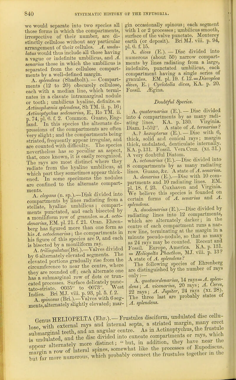 we -would separate into two species all tliose forms in wliich the compiU'tments, irrespective of their number, are di- stinctly cellulose without any particular arrangement of their cellules. A. undu- latus would thus include all those having a vague or indefinite umbilicus, and A. senarius those in which the lunbilicus is separated fi-om the cellulose^ compai-t- ments by a weU-defined margin. A. spiendens (Shadbolt). — Compart- ments (12 to 20) obscui'ely_ cellulose, each with a median line, which termi- nates in a clavate intramarguial nodule or tooth; umbilicus hyaline, definite. = Actinopheenia spiendens, Sh TM. ii. p. 16; Actinoptyclius sedenariits, E., Ko TM. ii. p. 74, pi. 6. f. 2. Common. Guano, Eng- land. In this species the alternate de- pressions of the compartments are often very slight; and the compartments being striated, frequently appear irregidar, and are coimted with difliculty. The species nevertheless has so peciiliar an aspect, that, once known, it is easily recognized. The rays are most distinct where they radiate from the hyaline umbilicus, at which part they sometimes appear thick- ened. In some specimens the nodules are confined to the alternate compart- ments. 1 . i A. elegans (n. sp.).—Disk divided into compartments by lines radiating from a stellate, hyaline umbilicus; compart- ments pimctated, and each bisected by a monilifoi-m row of gi'anules. =A. octo- denarnis, EM. pi. 21. f. 21. Orau. Ehren- berg has figiu-ed more than one form as his A. ododmarius; the compai-tments in his figure of this species are 9, and each is bisected by a moniliform ray. . A. ^riWw(7t<te<e<s(Bn.).—Valves divided by 6 alternately elevated segments. The elevated portions gi-aduaUy rise fi'om the circumference to near the centre, where they are rounded of!'; each alternate one has a submarginal row of dots or ti-un- cated processes. Surface delicately punc- tato-striate. -0035 to -0073. West Indies. Bri MJ. viii. p. 93, pi. 5. f. 2. A. spinosus (Bri.^.—Valves with 6 seg- ments, alternately slightly elevated} mar- gin occasionally spinous; each segment with 1 or 2 processes; umbilicus smooth, surface of the valve punctate. Monterey earth (or deposit). Bri MJ. viii. p. 94, pi. G. f. 15. A. dives (E.). — Disc divided into numerous (about 50) naiTOw compart- ments by lines radiating from a large, indefinite, punctated umbiliciis, _ each compai-tment having a single series of gi-anules. EM. pi. 19. f. \2.=Discoplea dives, E.; Cydotella dives, KA. p. 20. Fossil, ^gina. Doubtful Species. A. quaternarius (E.). — Disc divided into 4 compartments by as many radi- ating lines. KA. p. 130. Vii-ginia. Diam. 1-552. A state of A. teft-narius ? A.? hexupterm (E.). — Disc with 6, thick, solid and conical rays; mai-gin thick, imdulated, denticulate internally. KA.p.l31. Fossil. Vera Cruz. (xi. 31.) A very doubtful Diatom. A. octonarius (E.).—Disc di\'ided into 8 compartments by as many radiating lines. Guano, &c. A state of ^. sewams. A. denariiis (E.).—Disc with 10 com- partments and 10 radiating lines. EM. pl. 18. f. 23. Cuxhaven and Virginia. We believe this species is founded on certain forms of A. senarius and A. spiendens. A. duodenarius (E.).—Disc divided by radiating lines into 12 compai-tments, which are alternately dai-ker; in the centre of each compartment runs a nar- row line, terminating at the margin in a minute pseudo-nodule, so that as nianv as 24 rays may be coimted. Kecent and Fossil. Em-ope, America. KA. p. 131. = Seliopelta Phaethon, MJ. viii. p. 13 ? A state of A. splendeiis ? The following species of Ehrenberg are distinguished by the number of rays only:— A. quatuordenarius, 14 rays=^. s^^- dens; A. vicenarius, 20 rays; A. Ceres, 22 rays; A. Jupiter, 24 rays (xi. 28). The three last are probably states ot A. spiendens. r<.-nnR TTELIOPELTA (Ekr.).—Frastules disciform, undulated disc cellu- lose ^th external rays and internal septa, a striated maipi, many erect b4.r^al teeth, and an angular centre. As in Actinoptychus, the frustule •r wSed ancT'the disc di^ded into cuneate compai-tments or rays, winch Jl/nlternatelv more distinct; but, in addition, they have near the appear f^^^^^f somewhat Uke the processes of Eupodiscus. but far mrnuml! Xch probably connect the frustules together in Iho