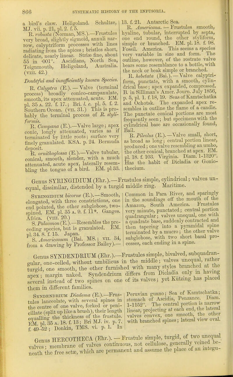 a bird's claw. Heligoland. Scbultze, MJ. vii. p. 21, pi. 2. f. 5. R. robusta (Norman, MS.).—FrusMes very broad, sligbtly sigmoid, annuli nar- row, calyptriform processes with hnes radiating from the apices ; bristles short, delicate, nearly linear. Strias fine, about 55 in -001. Ascidians, North Sea, Tei^nmoutb, Heligoland, Australia, (vm. 42.) Doubtful and inmfficimtly known Species. 'R.Cahjptra (E.).—Valve (terminal process) broadly conico-campanulate, smooth, its apex attenuated, acute. EM. pi. 35 A. 22. f. 17.; Bri. I. c. pi. 5. f. 2. Southern Ocean, (vn. 31.) This is pro- bably the tei-minal process of -R. styli- formis. R. Campana (E.).—Valve large; apex conic, lougly attenuated, varies as if tenninated by little roots; sm-face very finely granidated. KSA. p. 24. Bermuda deposit. B. ornithoglossa (E.).—Valve tubular, conical, smooth, slender, with a much attenuated, acute apex, laterally resem- bling the tongue oi a bird. EM. pi 33. 13. f. 21. Antarctic Sea. R. Americana. — Frustules smooth, hyaline, tubidar, interrupted by septa, one end round, the other stylifonn, simple or branched. EM. pi. 18. f. 98. Fossil. America. This seems a species very variable in size and fom. The outline, however, of the rosti-ate valve bears some resemblance to a bottle, with the neck or beak simple or branched. IL.hebetata (Bai.).—Valve calj^ptri- foi-m, punctate, with a smooth, cylin- drical base; apex expanded, compressed. B. in SiUiman^s Amer. Joum. July 1856, p. 5, pi. 1. f.l8,19. Seasof Kamtschatka and Ochotsk. The expanded apex re- sembles in outline the flame of a caudle. The punctate conical portions are most freq^uently seen; but specimens with the cylindrical base are occasionally found. Bail. n.Meolus (E.).—Valve small, short, as broad as long; centi-al portion linear, produced; one valve resembling an umbo, the other conical, branched at apex. EM. pi. 18. f 103. Virginia. Diam. 1-1320. Has the habit of Dicladia or Gonio- theciimi. Gemis SYRINGrDITJM (Ehr.).—Frustules simple, cylindrical; valves un equal, dissimilar, distended by a turgid middle ring. Maritime. SYOTNGrDiuM bicorne (E.).—Smooth, elongated, with three constrictions, one end pointed, the other subglobose, two- spined. EM. pi. 35 a. 9. f 11*. Ganges. Africa, (vrn. 20.) S. Palaomon (E.).—Resembles the pre- ceding species, but is granulated. EM. pi. 34. 8. f 15. Japan. S. Americanum (Bai. MS.; vn. 34, fe-om a drawing by Professor Badey).— Common in Para River, and sparingly in the soundings ofl' the mouth of the Amazon, South America. Fmstides very minute, pimctated; central portion quadi-angular; valves unequal, one with a quadi-ate base, suddenly contracted and then tapei-ing into a pyi-amidal spine terminated by a mucro; the other valve subglobose, with two short basal pro- cesses, each ending in a spine. Genus SYNDENDRIUM (Ehr.).—Fnostules simple, bivalved, subquadran- gnlar, one-ceHed, without umbilicus in the middle; valves unequal, rather turgid, one smooth, the other furnished with many styles branched at the apex; margin nak^d. Syndendrium differs from DiclaJa only m havmg severd instead of two_spines on one of its valves; yet Kutzmg has placed them in different families. SYNDENnnitrM Diadcma (E.).—^Frus- tules lanceolate, with several spines in the centre of one valve, forked or peni- cillate (split up lil^e a brush), their length pnuallina- the thickness of the frustide. S pi. 35 A. 18. i. 13; Bri MJ. iv p. 7. f 49-52 ; Donkin, TMS. vi. p. 1. In Genus HEECOTHECA (Ehr.). - Frustule simple, turgid, of two unequal rnon^brane of valves continuous, not ceUulose, generally vcmcd bc- iTCf^Se sZ which a.e permanent and assume the place of an mteg.- Pemvian guano; Sea of Kamtschatka; stomach of Ascidia, Penzance. Diam. 1-1152. The central portion is narrow linear, projecting at each end, the lateral valves convex, one smooth, the other with branched spines; lateral view oval.