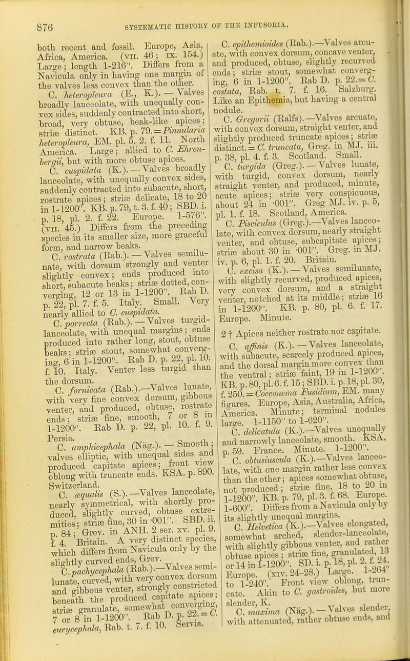 1 876 SYSTEMATIC HISTORY OF THK INFDSOHIA. both recent and fossil. Europe, Asia, Afi-ica, America, (vii. 46; ix. IM.) Large; lengtli 1-216. Differs from a Navicula only in having one margm of the valves less convex than the other. C. heteropleura (E., K.). — Valves broadly lanceolate, with unequally con- vex sides, suddenly contracted into short, broad, very obtuse, beak-like apices; striffi distinct. KB. p. 79. =Pinnularia heteropleura, EM. pi. 5. 2. f. 11. North America. Large; allied to C. Ehren- lerqii, but with more obtuse apices. 0. cuspidatu (K.).—Valves broadly lanceolate, with imequally convex sides, suddenly contracted into subacute, short, rosti-ate apices; strife delicate, 18 to 20 in 1-1200''. KB. p. 79, t. 3. f. 40; SBD i. p. 18, pi. 2. f. 22. Europe. 1-576 . (VII. 45.) Differs from the preceding- species in its smaller size, more graceful form, and narrow beaks. C. rostrata (Rab.). — Valves semilu- nate, with dorsum sti-ongly and venter slightly convex; ends produced into short, subacute beaks; sti'ise dotted, con- vergi'ng, 12 or 13 in 1-1200. Rab D. p. 22, 7. f. 5. Italy. Small. Very nearly allied to C. cuspiclata. G.porrecta (Rab.). — Valves tui-gid- lanceolate, with unequal margins; ends produced into rather long, stout, obtuse beaks; strise stout, somewhat converg- ing, 6 in 1-1200. Rab D. p. 22, pi. 10. f. 10. Italy. Venter less tm'gid than the dorsum. C. fornicata (Rab.).—Valves lunate, with very fine convex dorsum, gibbous venter, and produced, obtuse, rostrate ends; sti-iai fine, smooth, i or 8 m 1-1200. Rab D. p. 22, pi. 10. f. 9. Persia. , „ ,i 0. ampMcephala (Niig.). — Smooth ; valves elliptic, with unequal sides and produced capitate apices; front ww oblong with truncate ends. KbA. p. tiM. Switzerland. C. cequalis (S.).—Valves lanceolate, nearly symmetrical, with shortly pro- duced, slightly cm-ved, obtuse extre- S;stL4e, 30 in-001. SBD. i^ n 84; Grev. in ANH. 2 ser. xv. pi. 9 f-4 Britain. A very distinct species, which differs from Navicula only by the slightly curved ends, Grev. \ pachycephala (Rab.).-Valves semi lunate, curve'd, with very convex dorsum and g bbous venter, strongly constricted beneath the produced capitate apices; sS granulafe, somewhat comjrgm^^ 7 or 8 in 1-1200. Rab D. p. 22. - C. curycephala, Rab. t. 7. f 10. Servia. C. qnthemioides (Rab.).—Valves arcu- ate, with convex dorsum, concave venter, and produced, obtuse, slightly recurved ends; stritE stout, somewhat converg- ing, 6 in 1-1200. RabD. p. 22.= 6'. costata, Rab. t. 7. i. 16. Salzburg. Like an Epithemia, but having a central nodule. C. Gregorii (Ralfs).—Valves arcuate, with convex dorsum, straight yenter, and slightly produced truncate apices; striie distinct. = C. imncata, Greg, in MJ. iii. p. 38, pi. 4. f. 3. Scotland. Small. C. turgida (Greg.). — Valves lunate, with tm-gid, convex dorsum, nearly straight venter, and produced, niinute, acute apices; strise vei7 conspicuous, about 24 in -001. Greg MJ. iv. p. 5, pi. 1. f. 18. Scotland, America. C. Piscicidus (Greg.).—Valves lanceo- late, with convex dorsum, nearly sti-aight venter, and obtuse, subcapitate apices; striffi about 30 in -OOl. Greg, m MJ. iv. p. 6, pi. 1. f. 20. Britam. U. excisa (K.).—Valves semilunate, with slightly recmwed, produced apices, very convex dorsum, and a straight venter, notched at its middle; striae 16 in 1-1200. KB. p. 80, pi. 6. f. 1/. Em'ope. Minute. 21 Apices neither rostrate nor capitate. 0. affinis (K.). — Valves lanceolate, ^^-ith subacute, scarcely produced apices, and the dorsal mai-ginmore convex than the venti-al; strife faint, 19 m 1-1200 . ICB. p. 80, pi. 6. f. 15; SBD. i. p. 18, pi. 30, f 250. = Cocconema Fusidium, EM. many figures. Europe, Asia, Austi-alia, Afiica, America. Minute; terminal nodules large. 1-1150 to 1-620 0. delicatula (K.).—halves imequaUy and narrowly lanceolate, smooth. KbA. T) 59. France. Minute. 1-12UU . ^' C. obtusiuscula (K.).—Valves lanceo- late, with one margin rather less convex than the other; apices somewhat obtuse, not produced; strife fine, 18 to 20 m 1-1200. KB. p. 79, pi. 3. f. 68 Eui-ope. 1-600. Difiers from a Navicula only by its slightly unequal margins. C. Helvetica (K.).—Valves elongated, somewhat arched, slender-lanceolate, with slightly gibbous venter, and rathei obtuse apices ; strife fine, E^^'^f^^f^f or 14 in f-1200. SD i. p. 18, pl- 2. f. 24. Europe, (xiv. 24-28.) Lai-^e. 1-264 to 1-240. Front view oblong, trun- cate. Akin to C. gastroides, but more slender, K. , i j G.vmxuna (Niig.).-Valves slender, with attenuated, rather obtuse ends, and