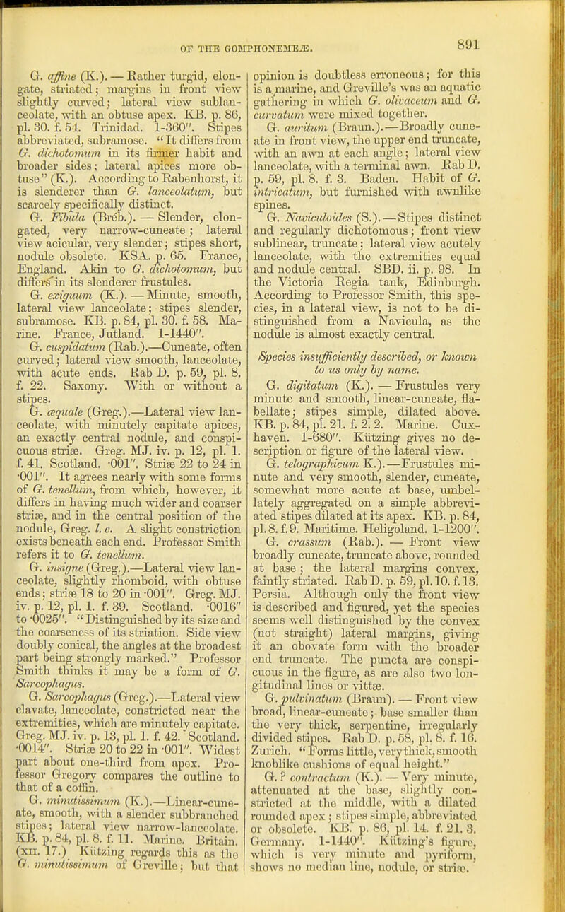 G. affine (K.)- — Uatlier turgid, elon- gate, striated; moi'gins in front view slightly curved; lateral view sublau- ceolate, with an obtuse apex. KB, p. 80, pi. 30. f. 54. Trinidad. 1-300. Stipes abbreviated, subramose.  It differs from G. dichotomum in its firmer habit and broader sides; lateral apices more ob- tuse  (K.). According to Rabenhorst, it is slenderer than G. lanceolatum, but scarcely specifically distinct. G-. Pibida (Br(5b.). — Slender, elon- gated, very narrow-cuneate; lateral view acicular, very slender; stipes short, nodule obsolete. KSA. p. 65. France, England. A Inn to G. dichotomum, but dift'ers'in its slenderer frustules. G. exiguum (K.). — Minute, smooth, lateral ^dew lanceolate; stipes slender, subramose. KB. p. 84, pi. 30. f. 58. Ma- rine. France, Jutland. 1-1440. G. cuspidatum (Rab.).—Cimeate, often curved; lateral view smooth, lanceolate, ■with acute ends. Rab D. p. 59, pi. 8. f. 22. Saxony. With or without a stipes. G. csquale (Greg.).—Lateral view lan- ceolate, with minutely capitate apices, an exactly central nodule, and conspi- cuous striae. Greg. MJ. iv. p. 12, pi. 1. f. 41. Scotland. -OOl. Stria 22 to 24 in •001. It agTces nearly with some foims of G. tmeUum, from which, however, it differs in having much wider and coarser strise, and in the central position of the nodule, Greg. I. c. A slight constriction exists beneath each end. Professor Smith refers it to G, tenellmn. G. insigne (Greg.).—Lateral view lan- ceolate, slightly rhomboid, with obtuse ends; stiias 18 to 20 in -001. Greg. MJ. iv. p. 12, pi. 1. f. 39. Scotland. -0016 to -0025.  Distinguished by its size and the coarseness of its striation. Side view doubly conical, the angles at the broadest part being strongly marked. Professor Smith thinks it may be a form of G. Sarcophagus. G. Sarcophagus (Greg.).—Lateral view clavate, lanceolate, constricted near the •extremities, which are minutely capitate. Greg. MJ. iv. p. 13, pi. 1. f. 42. Scotland. ■0014. Strife 20 to 22 in -001. Widest part about one-third from apex. Pro- fessor Gregoiy compares the outline to that of a cofiin. G. mimdissimum (K.).—Linear-cune- ate, smooth, with a slender subbranched stipes; lateral view naiTow-lanceolate. KB. p. 84, pi. 8. f 11. Marine. Britain, (xn. 17.) Kiitzing regards this as the Q. minutissimum of Greville; but that opinion is doubtless eiToneous; for this is a marine, and Greville's was an aquatic gatliering in which G. olivaceum and G, curvatum were mixed together. G. auritum (Braun.).—Broadly cune- ate in front view, the upper end trmicate, with an awn at each angle; lateral view lanceolate, with a tenninal awn. Rab D. p. 59, pi. 8. f. 3. Baden. Habit of G^, intricatum, but furnished Avith awnlike spines. G, Naviculoides (S.). — Stipes distinct and regularly dichotomous; fi-ont view subUnear, trimcate; lateral view acutely lanceolate, with the extremities equal and nodule central. SBD. ii. p. 98. In the Victoria Regia tank, Ediubm'gh. According to Professor Smith, this spe- cies, in a lateral view, is not to be di- stinguished from a Navicula, as the nodule is almost exactly centi'al. Species insufficiently described, or known to us only by name. G. digitatum (K.). — Frustules very minute and smooth, linear-ciuieate, fla- bellate; stipes simple, dilated above. KB. p. 84, pi. 21. f. 2.2. Marine. Cux- haven. 1-080. Kiitzing gives no de- scription or figuje of the lateral view. G. telographicum K.).—Frustules mi- nute and very smooth, slender, cimeate, somewhat more acute at base, umbel- lately aggregated on a simple abbrevi- ated stipes dilated at its apex. KB. p. 84, pL8.f.9. Maritime. Heligoland. 1-1200. G. crassum (Rab.). — Front view broadly cimeate, trimcate above, roimded at base ; the lateral margins convex, faintly striated. Rab D. p. 59, pi. 10. £ 13. Persia. Although only the front view is described and figiu'ed, yet the species seems well distinguished by the convex (not sti'aight) lateral margins, giving it an obovate form with the broader end tnmcate. The pimcta are conspi- cuous in the figui'e, as are also two lon- gitudinal lines or vittse. G. pidvinatum (Braim). — Front view broad, linear-cimeate; base smaller than the very thick, sei-pentine, irregularly divided stipes. Rab D. p. 58, pi. 8. f. 16. Zmich.  Forms little, very thick, smooth knoblike cushions of equal height. G. ? contracttmi (K.).—Very minute, attenuated at tlie base, slightly con- stricted at the middle, witli a dilated roimded apex; stipes simple, abbreviated or obsolete. KB. p. 86, pi. 14. f. 21. 3. Germany. 1-1440. Kiitzing's fioiu-e, which IS vtn-y minute and pyritorni, shows no median line, nodule, or strioc.