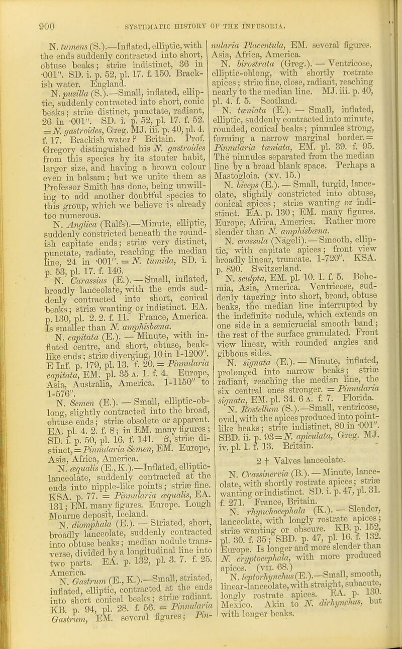 N. tiimens (S.)—luflatod, elliptic, with the ends suddenly contracted into short, obtuse beaks; sti-ito indistinct, 36 in •001. SD. i. p. 52, pi. 17. f. 150. Brack- ish -water. England. 'N.pusilla (S.).—Small, inflated, eRi^- tie, suddenly contracted into shoi-t, conic beaks ; strise distinct, punctate, radiant, 2G in -OOl. SD. i. p. 52, pi. 17. f. 52. =iV: (jastroides, Greg. MJ. iii. p. 40, pi. 4. f. 17. Brackish water ? Britain. Prof. Gregory distino'uished his N. gastroidcs from this species by its stouter habit, larger size, and having a brown colour even in balsam; but we imite them_ as Professor Smith has done, being unwill- ing to add another doubtful species to this group, which we believe is already too numerous. N. Ancjlica (Palfs).—Minute, elliptic, suddenly constricted beneath the round- ish capitate ends; striaa very distinct, pimctate, radiate, reaching the median line 24 in -001. = N. tumida, SD. i. p. 53, pi. 17. f. 146. ^ ^ N. Carassius (E.). —Small, inflated, broadly lanceolate, with the ends siid- denly contracted into short, conical bealcs; striae wanting or indistinct. EA. p. 130, pi. 2. 2. f. 11. France, America. Is smaller than N. ampliishcena. N. capitata (E.). — Minute, with in- flated centi'e, and short, obtuse, beak- lilce ends; striae diverging, 10 in 1-1200. E Inf. p. 179, pi. 13. f. 20. = Pimmlana capitata, EM. pi. 35 a. 1. f. 4. Europe, Asia, Australia, America. 1-1150 to 1-576. . , N. Semen (E.). — Small, elliptic-ob- long, slightly conti-acted into the broad, obtuse ends; strias obsolete or apparent. EA. pi. 4. 2. f. 8; in EM. many figures ; SD. i. p. 50, pi. 16. f. 141. /3, strias Ax- Btmci, = Finnidaria Semen, EM. Em'ope, Asia, Africa, America. N. cequalis (E., K.).—Inflated, elliptic- lanceolate, suddenly contracted at the ends into nipple-like points; striae fine. KSA. p. 77. = Pimmlana ccqnalis, EA 131; EM. many figures. Europe. Lough Mom-ne deposit, Iceland. N. diomphala (E.). — Striated, short, broadly lanceolate, suddenly conti-acted into obtuse beaks; median nodule trans- verse, divided by a longitudinal Une nito two prts. EA. p. 132, pi. 3. 7. f. 25. America. „ ^ n i. • j. j N. Gastnm (E., K.).—Small, .striated, inflated, elliptic, contracted at the ends into short conical beaks; strire radiant. ICB. p. 94, pi. 28. f. 56. = Pinnuhma Gastmm, EM. several figures: Pm- nidaria Placentida, EM. several figures. Asia, Afi'ica, America. N. hirodrata (Greg.). — Ventiicose, elliptic-oblong, with shortly rostrate apices; striaa fine, close, radiant, reaching nearly to the median line. M J. iii. p. 40, pi. 4. f. 5. Scotland. N. tecniata (E.). — Small, inflated, elliptic, suddenly contracted into minute, rounded, conical beaks; pinnules strong, forming a narrow marginal border. = Pinntdaria tceniata, EM. pi. 39. £ 95. The pinmdes separated from the median line by a broad blank space. Perhaps a Mastogloia. (xv. 15.) N. biceps (E.). — Small, tiu-gid, lance- olate, slightly constricted into obtuse, conical apices; sti-iaa wanting or indi- stinct. EA. p. 130; EM. many figiu-es. Em-ope, Africa, America. Rather more slender than N. ami)liisha;na. N. crassula (Niigeli). — Smooth, ellip- tic, with capitate apices; front sdew loroadly linear, ti-uncate. 1-720. KSA. p. 890. Switzerland. N. scidpta, EM. pi. 10. 1. f. 5. Bohe- mia, Asia, America. Venti-icose, sud- denly tapering into short, broad, obtuse beaks, the median line iutemipted by the indefinite nodule, which extends on one side in a semicrucial smooth band; the rest of the smface gi-anidated. Front view linear, with rounded angles and gibbous sides. N. sifjnata (E.). — Minute, mflated, prolonged into nan-ow beaks; striae radiant, reaching the median line, the six central ones sti-onger. = Pinnulana siqnata, EM. pi. 34. 6 a. f. 7. Florida. ' N. Postellum (S.).—Small, ventncpse, oval, with the apices produced into point- like bealcs; striae indistinct, 80 in -001. SBD. ii. p. 93=iV; apicidata, Greg. MJ. iv. pi. 1. f. 13. Britain. 2 t Valves lanceolate. N. Crassinervia (B.).—Minute, lance- olate, with shortly rostrate apices; striae wanting or indistinct. SD. i. p. 47, pi. 31. f. 271. Fi-ance, Britain. N. rh7/ncJioccpJiala (K.). — blender, lanceolate, with longly rosti-ate apices ; sti-ifB wanting or obscure. KB. p. pi. 30. f. 35; SBD. p. 47, pi. 16. f. 132. Em-ope. Is longer and more slender than K cryptocqMa, with more produced apices, (vn. 68.) N. leptovhinchus(R.).—^m^\\ smooth, linear-lanceolate, with straight, subacute, longly rostrate apices. EA. p. Mexico. Alrin to N. dirlnpichm, but with longer beaks.