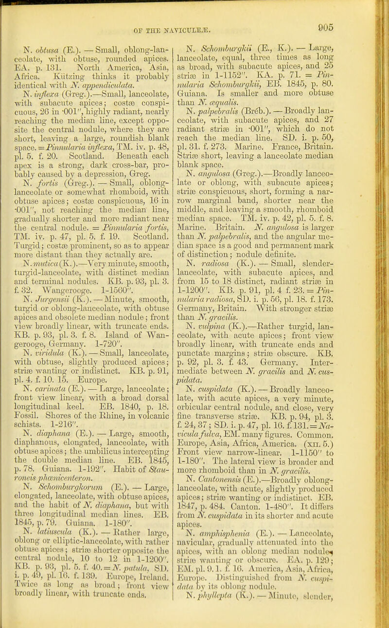 005 N. obtusa (E.). —Small, oblong-lan- ceolate, witli obtuse, rounded apices. EA. p. 131. North America, Asia, Africa. Kiitziug thinks it probably identical with JV. appendictilata. N. injlexa (Greg.).—Small, lanceolate, with subacute apices; costre conspi- cuous, 26 in •001, uighly radiant, nearly reaching the median line, except oppo- site the central nodule, where they are short, lea^dng a large, rormdish blank space. =Pmntda)-ia in^.exa,TM.. iv. p. 48, pi. 5. f 20. Scotland. Beneath each apex is a strong, dai'k cross-bar, pro- bably caused by a depression, Greg. N. fortis (Clreg.). — Small, oblong- lanceolate or somewhat rhomboid, with obtuse apices; costfe conspicuous, 16 ia •001, not reaching the median line, gradually shorter and more radiant near the centi^al nodule. = Pinnularia fortis, TM. iy. p. 47, pi. 5. f. 19. Scotland. Tm^gid; costiE prominent, so as to appeal' more distant than they actually are. N.(K.).—Very minute, smooth, turgid-lanceolate, with distinct median and terminal nodules. ID3. p. 93, pi. 3. f. 32. Wangerooge. 1-1560. N. Jurcjensii (K.). — Minute, smooth, turgid or oblong-lanceolate, with obtuse apices and obsolete median nodide; front view broadly linear, with trimcate ends. KB. p. 93, pi. 3. £ 8. Island of Wan- gerooge, Germany. 1-720. N. nViVMa (K.). — Small, lanceolate, with obtuse, slightly produced apices; stiiae wanting or indistmct. KJB. p. 91, pi. 4. £ 10. 15. Em-ope. N. carinata (E.). — Large, lanceolate; front view linear, with a broad dorsal longitudinal keel. EB. 1840, p. 18. Fossil. Shores of the Rhine, in volcanic schists. 1-216. N. dkiphana (E.). — Large, smooth, diaphanous, elongated, lanceolate, with obtuse apices; the umbilicus intercepting the double median line. EB. 1845, p. 78. Guia,na. 1-192. lUhit oi Stau- roneis phmnicenteron. N. Schomhurf/kormn (E.). — Large, elongated, lanceolate, with obtuse apices, and the habit of N. diaphana, but with three longitudinal median lines. EB. 1845, p. 79. Guiana. 1-180. N. latiuamla (K.). — Eather large, oblong or elliptic-lanceolate, with rather obtuse apices; striae shorter opposite the central nodule, 10 to 12 in 1-1200 KB. p. 93, \>\.B.i.4a. = N.paiida. SD. i. p. 40, pi. 16. f. 1.39. Europe, Ireland. T\\ace as long as broad; front view broadly linear, with truncate onda. N. Schomhun/Ui (E., K.). — Large, lanceolate, equal, three times as long as broad, with subacute apices, and 25 stria) in 1-1152. KA. p. 7L = Pin- nularia Schomhun/ldi, EB. 1845, p. 80. Guiana. Is smaller and more obtuse than N. cequalis. N. palpiibralis (Brdb.). —Broadly lan- ceolate, with subacute apices, and 27 radiant strife in •OOl, which do not reach the median line. SD. i. p. 50, pi. 31. £ 273. Mai'ine. France, Britain, bti'ite short, leaving a lanceolate median blank space. N. angidosa (Greg.).—Broadly lanceo- late or oblong, with subacute apices; strise conspicuous, short, forming a nar- row marginal baud, shorter near the middle, and leaving a smooth, rhomboid median space. TM. iv. p. 42, pi. 5. £ 8. Marine. Britain. N. cmgidosa is larger than iV; palpiehralis, and the angular me- dian space is a good and permanent mark of distinction; nodule definite. N, radiosa (K.). — Small, slender- lanceolate, with subacute apices, and from 15 to 18 distract, radiant striae in 1-1200. KB. p. 91, pi. 4 £ 23. = Pin- nularia radiosa, SD. i. p. 56, pi. 18. £ 173. Gei-many, Britain. With stronger striae than N. gracilis. N. vulpi?ia (K.).—Rather turgid, lan- ceolate, with acute apices; fi'ont view broadly linear, with trimcate ends and punctate mai-gins; stiise obscure. liB. p. 92, pi. 3. £ 43. Germany. Inter- mediate between N. gracilis and N. cus- pidata, N. cuspidata (K.). — Broadly lanceo- late, with acute apices, a very minute, orbicular central nodule, and close, very fine transverse striae. KB. p. 94, pi. 3. £ 24, 37; SD. i. p. 47, pi. 16. £ lZl. = Na- ■ciculafulva, EM. many figm-es. Common. Em-ope, Asia, Africa, America, (xn. 5.) Front view nai-row-linear. 1-1150 to 1-180. The lateral view is broader and more rhomboid than hi N. c/racilis. N. Cantonensis (E.).—Broadly oblong- lanceolate, with acute, slightly produced apices; stria3 wanting or indistuict. EB. 1847, p. 484. Canton. 1-480. It difters from N. cuspidata in its shorter and acute apices. N. amjyJmpJienia (E.). — Lanceolate, navicidar, gradually attenuated into the apices, with an oblong median nodulG*^ si lire wanting or obscure. EA. p. 129; EM. pi. 9.1. 1. 16. America, Asia, Africa, Europe!. Distinguished from N. t-(Asy«- daia by its oblong uodide. N. phyllvpla (K.). — Minute, .slender,