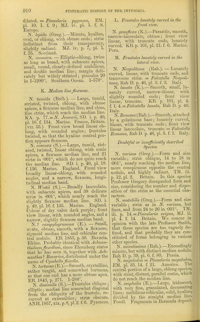 dilated. = Pinnidana pyiimtea, EM. pi. 10. 1. f. 9; MJ. iv. pi. 1. i. 8. Europe. N. lepida (Greo\).—Minute, hynliue, oval, or oblong, with obtuse ends; striaj indistinct from their transparency, slightly radiant. MJ. iv. p. 1, pi. 1. f. 25. Scotland. N. oceanica. — Elliptic-oblong, twice as long as broad, with subacute apices, small, round, clearly-defined umbilicus, and double median line; margin deli- cately but widely striated; pinnules 20 in 1-1200. Southern Ocean. 1-570. K. Median linejlexuose. N. tiimida (Br(§b.). — Large, tumid, stiiated, twisted, oblong, with obtuse apices, a iiexuose median line, and close, line strife, which reach the median line. liA. p. 77. = N. Jennern,SI>. i. p. 49, pi. 16. f. 134. Marine. France, Britain. (vn. 55.) Front view broad linear ob- long, with roimded angles; {i-ustules twisted, so that the hyaline central por- tion appears flexuose. N. convexa (S.).—Large, tumid, stri- ated, twisted, linear oblong, with conic apices, a flexuose median line, and 21 stria3 in -001, which do not quite reach the median line. SD. i. p. 49, pi. 18. f. 136. Marine. England. Front view broadly linear-oblong, with roimded angles, and a narrow, flexuose, longi- tudinal median band. N. Westii (S.).—Broadly lanceolate, ■v\ith subacute apices, and 38 delicate strife in -001, which nearly reach the sliu-htly flexuose median line. SD. i. p. ^49, pi. 16. f. 135. Marine. England. Coloiu- of dry valve dark pui-ple; front view linear, with rounded angles, and a narrow, slightly flexuose median band. N. ? campylogramma (E.). — Small, ovate, obtuse, smooth, with a flexuose, sig-moid median line, and orbicular cen- tral nodide. EB. 1853, p. 36. Bavaria, Bhine. Probably identical with Achnan- thidiumjlfxdhmi, since Ehrenberg states that he has seen it, together with Ach- nantJies? JBavarica, distributed under the name of Cymbcllajlexella. N. toHuosa (E.).—Smooth, crystalline, rather tm-gid, and somewhat tortuous, so that one end has a more obtuse apex. EB. 184.3, p. 27L 1-288. N. dissimilis (S.).—Frustules oblique ; elliptic; median line somewhat diagonal from the obliquity of the frustulo, re- curved at extremities; strife obscure. ANIL 1857, xix. p. 8, pi. 2. f. 6. Pyrenees. L. Fruskden lunatcly curved in the front view. N. genujlexa (K.).—Parasitic, smootli, narrow-lanceolate, obtuse; front view linear, with truncate ends, lunately cmwed. KB. p. 101, pi. 21. f. 6. Marine. Peru. M. Frustides Innately curved in the lateral view. N. NoapoUtana (Bab.). — Lunately cm'ved, linear, with truncate eud.s, and transA'erse strife. — Fulcatella Neupoli- tana, Rab D. p. 46, pi. 5. f. 3. Italy. N. lunata (K.).— Smooth, small, lu- nately cui-ved, naiTow-linear, with slightly roimded ends; front view linear, tiiincate. KB. p. 101, pi. 4. f. 1. 4. = Falcatella lunula, Rab I), p. 40. Italy. N. Romana (Rab.).—Smooth, attached by a gelatinous base; Innately cun'ed, linear, with truncate ends; front view linear lanceolate, trimcate. = Fulcatella Romana, Rab D. p. 46, pi. 5. f. 1. Italy. Doubtfid or insufficiently described Species. N. varians (Greg.).—Form and size variable; strife oblique, 14 to 18 in •001, nearly reaching the median line, more conspicuous opposite the centrfil nodide, and highly radiant. TM. iii. p. 12, pi. 2. Britain. In this species Professor Gregory disregarded fomi and size, considering the nmnber and dispo- sition of the sti'iaj as the essential cha- racters. N. mutahilis (Greg.).—Form and size variable; sti-ifB as in N. varians, but finer, and from 24 to 26 in ;001. TM. iii. p. 14:.=Pinnidaria exigua, MJ. ii. pi. 4. f. 14. Britain. We concur in opinion with the late Professor Smith, that these species are too vaguely de- fined, and that probably they are con- stituted of forms belonging to various other species. N. minutissima (Rab.).—Exceeduigly minute, but with distinct median nodule. Rab D. p. 39, pi. 6. f. 80. Persia, N. mcf/alodon = Pinnularia megalodon, EM. pi.' 33. 14. f. 21. America. The central portion of a large, oblong species, with stout, distant, parallel costte, which do not roach the median line. N. omphalia (E.).—Lar^o, iridescent, with very fine, granulated, decu.ssating lines; umbilicus orbicular, solid, hyaline, divided by the straight median lino. Fossil. Fragments in Bermuda deposit.