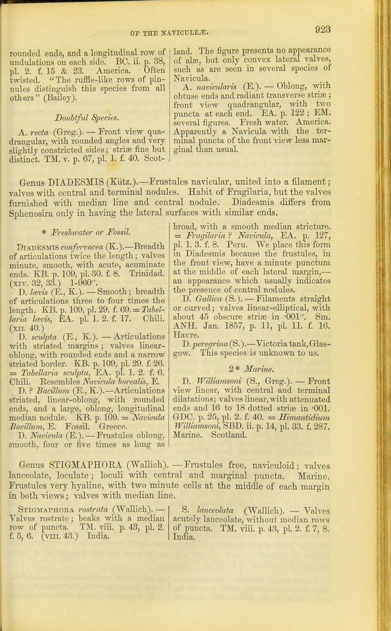 rounded ends, and a longitudinal row of undidations on eacli side. BC. ii. p. 38, pi. 2. f. 15 & 23. America. Often twisted.  The ruffle-like rows of pin- nules distinguish this species from all others (Bailey). Doubtful Species. A. 7-ecta (Greg.). — Front view qua- drangular, with rounded angles and veiy slio-htly consti-icted sides; strias fine but distinct. TM. v. p. 67, pi. 1. f. 40. Scot- land. The figure presents no appearance of nlsB, but only convex lateral valves, such as are seen in several species of Navicula. A. naviculan's (E.). — Oblong, with obtuse ends and radiant transverse strife; front view quadranmilar, with two puncta at each end. EA. p. 122 ; EM. several figm-es. Fresh water. America. Apparently a Navicula with the ter- mmal puncta of the front view less mar- ginal than usual. Genus DTADESMIS (Kiitz.).—Erustules navicular, united into a filament; valves with central and terminal nodules. Habit of Eragilaria, but the valves furnished with median line and central nodule. Diadesmis differs from Sphenosii'a only in having the lateral surfaces with similar ends. * Freshwater or Fossil. BiADEsms confervacea (K.).—^Breadth of articulations twice the length; valves minute, smooth, with acute, acuminate ends. KB. p. 109, pi. 30. f. 8. Trinidad. (XIV. 32, 33.) 1-960. D. l(evis (E., K.). —Smooth; breadth of articulations three to fom times the length. KB. p. 109, pi. 29. f. 69. = Tabel- laria Icevis, EA. pi. 1. 2. I 17. Chili. (XII. 40.) D. sculpta (E., K.). — Articulations Vidth striated margins ; valves linear- oblohg, with roimded ends and a naiTow striated border. KB. p. 109, pi. 29. f. 26. = Tahellaria sculpta, EA. pi. 1. 2. i. 6. Chili. Resembles Navicula borealis, E. D. ? Bacillum (E., K.).—Articidations striated, linear-oblong, with rounded ends, and a large, oblong, longitudinal median nodide. KB. p. 109. = Navicula Bacillmn, E. Fossil. Greece. D. Navicula (E.).—Frustules oblong, smooth, four or five times as long as broad, with a smooth median stidctiue. = Fragilaria ? Navicula, EA. ;p. 127, pi. 1. 3. f. 8. Peru. We place this form in Diadesmis because the frustules, in the fi'ont view, have a minute punctum at the middle of each lateral mai'gin,— an appeai'ance which usually indicates the presence of centi'al nodules. D. Gallica (S.). — FUaments sti-aight or curved; valves linear-elliptical, with about 45 obscm-e strise in -001. Sm. ANH. Jan. 1857, p. 11, pi. 11. I 16. Havi-e. D. peregrina (S.).—^Victoria tank, Glas- gow. This species is unknown to us. 2* Marine. D. Williamso7ii (S., Greg.). — Fi'ont view linear, with central and terminal dilatations; valves linear, with attenuated ends and 16 to 18 dotted sti-ise in 001. GDC. p. 25, pi. 2. i. 40. = Himantidium Williamsoni, SBD. ii. p. 14, pi. 33. f. 287. Maiine. Scotland. Genus STIGMAPHOEA (WaUich). — Fnistules free, naviouloid; valves lanceolate, loculate; loculi vsdth central and marginal puncta. Marine. Frustules very hyaline, with two minute cells at the middle of each margin in both views; valves with median line. STiGMArnouA rostrata (WaUich). — Valves rostrate ; beaks with a median row of puncta. TM. viii. p. 43, pi. 2. f. 5, 6. (vin. 43.) Lidia. S. lanceolata (Wallich). — Valves acutely lanceolate, without median rows of puncta. TM. xiil p. 43, pi. 2. f. 7, 8. Inoia.