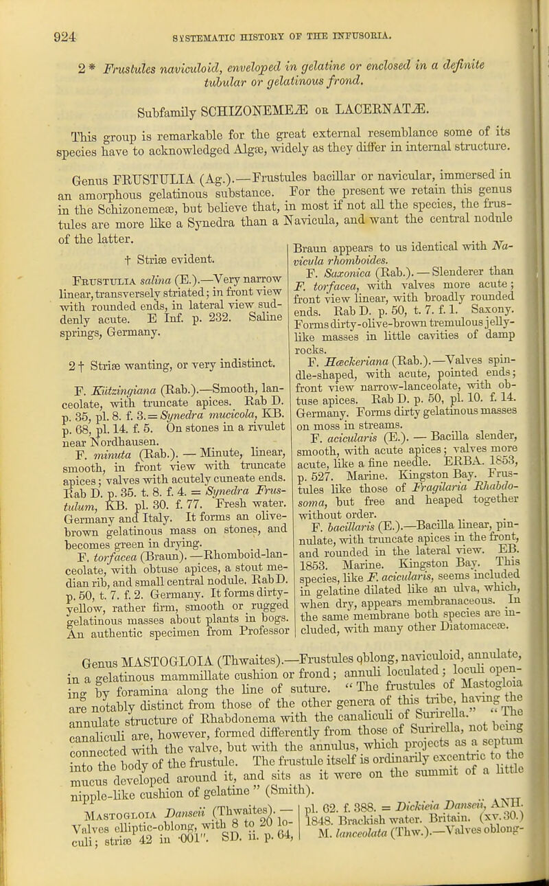 2 * Frustules naviailold, enveloped in gelatine or enclosed in a definite tubular or gelatinous frond. Subfanuly SCHIZONEMEiE oa LACEKNATiE. This group is remarkable for the great external resemblance some of its species have to acknowledged Algae, widely as they differ in internal structure. Genus FRTJSTTJLIA (Ag.).—Frustules bacillar or navicular, immersed in an amorphous gelatinous substance. For the present we retain this genus in the Schizonemea3, but believe that, in most if not aU the species, the frus- tules are more like a Synedra than a Navicula, and want the central nodiile of the latter. t Striae evident. Fktisttilia saUna (E.)—Very narrow linear, transversely sti-iated; in front view with rounded ends, in lateral view sud- denly acute. E Inf. p. 232. Saline springs, Germany. 21 Striae wanting, or very indistiact. F. Kiitzingiana (Rah.).—Smooth, lan- ceolate, with tinmcate apices. Rab D. p. 35, pi. 8. f. S.= Synedra rnucicola, KB. p. 68, pi. 14. f. 5. On stones in a rivulet near Nordhausen. F. minuta (Rab.). — Minute, linear, smooth, ia front view with trimcate apices; valves with acutely cuneate ends. Rab D. p. 35. t. 8. f. 4. = Si/nedra Frics- tulum, KB. pi. 30. f. 77. Fresh water. Germany and Italy. It forms an olive- brown gelatinous mass on stones, and becomes green in drying. F. torfacea (Braun). —Rhomboid-lan- ceolate, with obtuse apices, a stout me- dian rib, and small central nodule. RabD. p. 50, t. 7. f. 2. Germany. It forms dirty- yellow, rather firm, smooth or rugged gelatinous masses about plants in bogs. An authentic specimen from Professor Braun appears to us identical with Na- vicvla rhomboides. F. Saxonica (Rab.). — Slenderer than F. torfacea, with valves more acute; fi-ont view linear, with broadly rounded ends. Rab D. p. 50, t. 7. f. 1. Saxony. Foi-ms dirty-olive-brown tremulous j eUy- like masses in little cavities of damp rocks. F. ScBcheriana (Rab.).—Valves spui- dle-shaped, with acute, pointed ends; front view narrow-lanceolate, with ob- tuse apices. Rab D. p. 50, pi. 10. f 14. Germany. Forms dirty gelatinous masses on moss in streams. F. acicularis (E.). — Bacilla slender, smooth, with acute apices; valves more acute, like a fine needle. ERBA. 1853, p. 527. Marine. Kingston Bay. Frus- tules like those of Fragilaria Rhabdo- soma, but fi-ee and heaped together without order. F. bacillaris (E.).—Bacilla Imear, pm- nulate, with ti-uncate apices in the front, and rounded in the lateral view. EB. 1853. Marine. Kmgston Bay. This species, like F. acicularis, seems included in gelatine dUated hke an ulva, which, when dry, appears membranaceous. In the same membrane both species are m- cluded, with many other Diatomacese. Genus MASTOGLOIA (Thwaites).—Frustules qblong, naviculoid, annulate, in a gelatinous mammiUate cusHon or frond; annuli loculated ; locuh open- TJ by foramina along the line of suture. - The fr-ustules of JIastoglm are noUly distinct from those of the other genera of this tribe Having the anmdate s^^^^^^ of Ehabdonema with the canalicuh of SunreUa. ' The canatSi are however, formed differently from those of Surn-eUa, not being connected ^th the vai;e, but with the annulus, which projects as a septum X?he boTy of the frust^ile. The frustule itscK is ordiriaiily excentric to th Icu^devoYoped around it, and sits as it were on the summit of a httlc nipple-like cushion of gelatine (Smith). MASTOGLOIA Bameu (ThwaitesY Valves cUiptic-oblong, with 8 to lo- culi; striiB 42 in -OOl. SD. u. p. 04, pi. 62. f. 388. = Dichieia Damcn, AjSH. 1848. Bracldsh water. Britain. (xv-.;50.) M. lanceolata (Thw.).—Valves oblonp'-