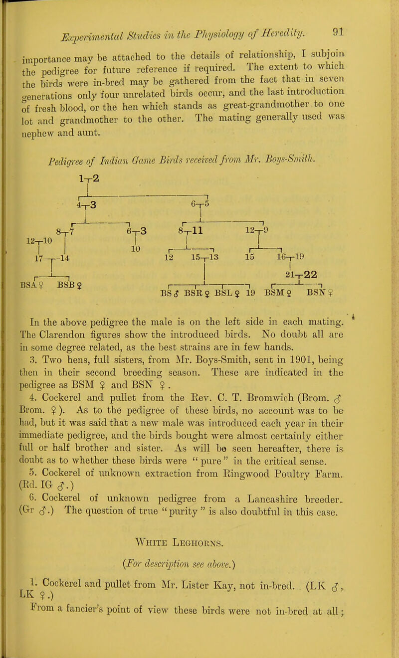 importance mcay be attached to the details of relationship, I subjoin the pedigree for future reference if required. The extent to which the birds were in-bred may be gathered from the fact that ui seven venerations only four unrelated birds occur, and the last introduction of fresh blood, or the hen which stands as great-grandmother to one lot and grandmother to the other. The mating generally used was nephew and aunt. Pedigree of Indian Game Birds received from Mr. Boys-Smith. l-T-2 4-T-3 6-r5 8-r7 6-r3 8-rll 12-r9 12-rlO I I I I 10 , ' 1 r-^ 1 17 14 12 15-rl3 15 16-rl9 P—I 21-r22 BSA? BSB$ I r-' 1 1 I ' 1 BS<J BSE 5 BSL$ 19 BSMj BSN ? In the above pedigree the male is on the left side in each mating. The Clarendon figures show the introduced birds. No doubt all are in some degree related, as the best strains are in few hands. 3. Two hens, full sisters, from Mr. Boys-Smith, sent in 1901, being- then in their second breeding season. These are indicated in the pedigree as BSM ? and BSN ? . 4. Cockerel and pullet from the Eev. C. T. Bromwich (Brom. (J Brom. ? ). As to the pedigree of these birds, no account was to be had, but it was said that a new male was introduced each year in their immediate pedigree, and the birds bought were almost certainly either full or half brother and sister. As will be seen hereafter, there is doubt as to whether these birds were  pure  in the critical sense. 5. Cockerel of unknown extraction from Ringwood Poultry Farm. (Rd. IG G. Cockerel of unknown pedigree from a Lancashire breeder, (Gr The question of true purity  is also doubtful in this case. White Leghorns. {Fo^' descri])tion see above.) ^y. Cockerel and pullet from Mr. Lister Kay, not in-bred. (LK S. From a fancier's point of view these birds were not in-bred at all;