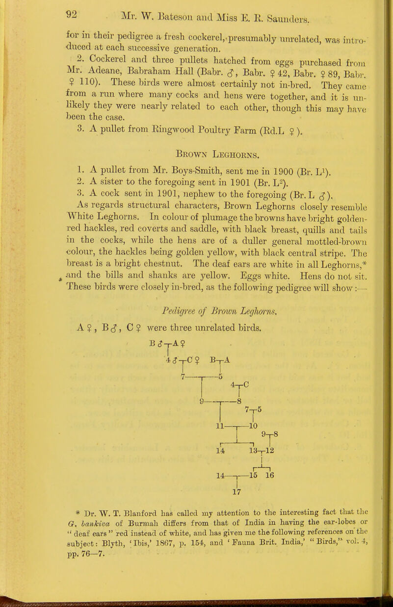 for in their pedigree a. fresh cockerel,,presumably unrelated, was inti-o- auced at each successive generation. 2. Cockerel and three pullets hatched from eggs purchased from Mr. Adeane, Babraham Hall (Babr. Babr. ? 42, Babr. $ 89, Babi-. ? 110). These birds were almost certainly not in-bred. They came from a run where many cocks and hens were together, and it is un- likely they were nearly related to each other, though this may have been the case. 3. A pullet from Eingwood Poultry Farm (Rd.L ? ). Brown Leghorns. 1. A pullet from Mr. Boys-Smith, sent me in 1900 (Br. Li). 2. A sister to the foregoing sent in 1901 (Br. L^). 3. A cock sent in 1901, nephew to the foregoing (Br. L ^) As regards structural characters, Brown Leghorns closely resemble White Leghorns. In colour of plumage the browns have l^right golden- red hackles, red coverts and saddle, with black breast, quills and tails in the cocks, while the hens are of a duller general mottled-brown •colour, the hackles being golden yellow, with black central stripe. The breast is a bright chestnut. The deaf ears are white in all Leghoriis,* imd the bills and shanks are yellow. Eggs white. Hens do not sit. These birds were closely in-bred, as the following pedigree will show:— Pedigree of Brown Leghwns. A ? , B , C ? ^vere three unrelated birds. B<?-rA? .1 B-r-A I -5 ■r 7- 9 4yC 8 7-r5 I 11 r—10 9-r-8 -I i 14 13-,-12 14- r n -15 16 17 * Dr. W. T. Blanford has eallecl my attention to the interesting fact that tlie G. lanJcim of Burmah difEers from that of India in having the ear-lobes or  deaf ears  red instead of white, and has given me the following references on' the subject: Blyth, ' Ibis,' 1807, p. 154, and ' Fauna Brit. India,'  Birds, vol. 4, pp. 76—7.