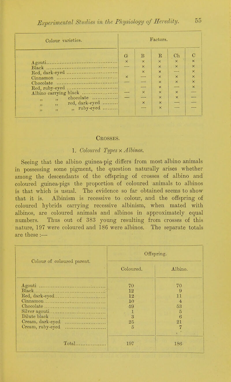 Colour varieties. Agouti Black Eed, dark-eyed Cinnamon Chocolate Eed, ruby-eyed Albino carrying black „ „ chocolate „ „ red, dark-eyed ruby-eyed Factors. Or B E ,Ch c X X X X X X X X X X X X X X X X X X X X X X X X X X X X X Crosses. 1. Coloured Types x Albinos. Seeing that the albino guinea-pig differs from most albino animals in possessing some pigment, the question naturally arises whether among the descendants of the offspring of crosses of albino and coloured guinea-pigs the proportion of coloured animals to albinos is that which is usual. The evidence so far obtained seems to show that it is. Albinism is recessive to colour, and the offspring of coloured hybrids carrying recessive albinism, when mated with albinos, are coloured animals and albinos in approximately equal numbers. Thus out of 383 young resulting from crosses of this nature, 197 were coloured and 186 were albinos. The separate totals are these:— Colour of coloured parent. Agouti Black Eed, dark-eyed.... Cinnamon Chocolate Silver agouti Dilute black Cream, dark-eyed Cream, ruby-eyed Offspring. Colotired. 70 12 12 10 59 1 3 25 5 Albino. 70 9 11 4 53 5 6 21 7 Total 197 186