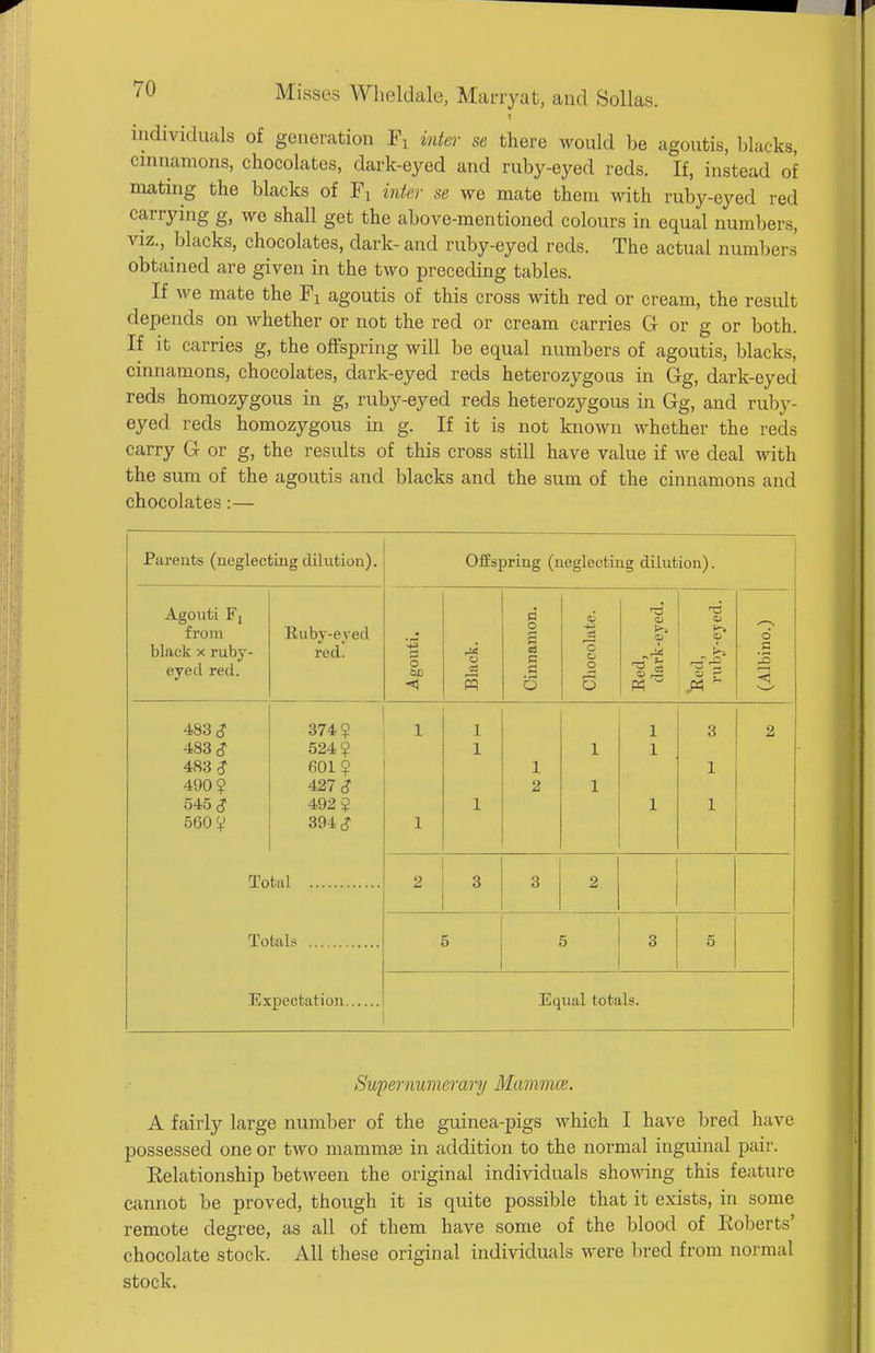 individuiils of generation Fi inter se there would be agoutis, blacks, cinuamons, chocolates, dark-eyed and ruby-eyed reds. If, instead of mating the blacks of Fi inter se we mate them with ruby-eyed red carrying g, we shall get the above-mentioned colours in equal numbers, viz., blacks, chocolates, dark- and ruby-eyed reds. The actual numbers obtained are given in the two preceding tables. If we mate the Fi agoutis of this cross with red or cream, the result depends on whether or not the red or cream carries G or g or both. If it carries g, the offspring will be equal numbers of agoutis, blacks, cinnamons, chocolates, dark-eyed reds heterozygous in Gg, dark-eyed reds homozygous in g, ruby-eyed reds heterozygous in Gg, and ruby- eyed reds homozygous in g. If it is not known whether the reds carry G or g, the results of this cross still have value if we deal with the sum of the agoutis and blacks and the sum of the cinnamons and chocolates:— Parents (neglecting dilution). Offspring (neglecting dilution). Agouti F, from black X ruby- eyed red. Ruby-eyed red. Agouti. a W Cinnamon. Cliocolate. Red, dark-eyed. <u (U (Albino.) 483 ^ 483 <? 483 ^ 490? 545 ^ 560? 374? 524? fiOl ? 427 (? 492? 394 cJ 1 1 1 1 1 1 2 1 1 1 1 1 3 1 1 2 Tntnl 2 3 3 2 Totals 5 5 3 5 Equal totals. Supernumerary Mammce. A fairly large number of the guinea-pigs which I have bred have possessed one or two mammae in addition to the normal inguinal pair. Relationship between the original individuals showing this feature cannot be proved, though it is quite possible that it exists, in some remote degree, as all of them have some of the blood of Roberts' chocolate stock. All these original individuals were bred from normal stock.