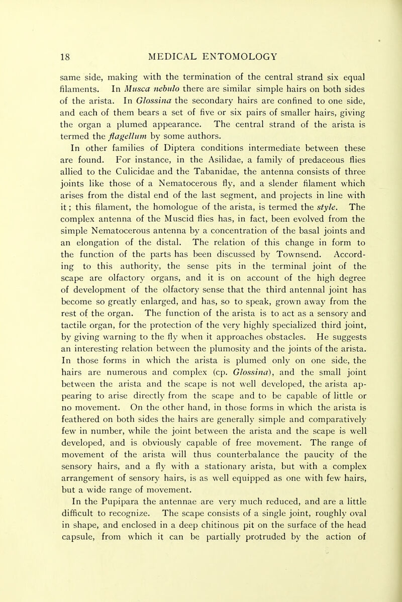 same side, making with the termination of the central strand six equal filaments. In Mtisca nehulo there are similar simple hairs on both sides of the arista. In Glossina the secondary hairs are confined to one side, and each of them bears a set of five or six pairs of smaller hairs, giving the organ a plumed appearance. The central strand of the arista is termed the flageUum by some authors. In other families of Diptera conditions intermediate between these are found. For instance, in the Asilidae, a family of predaceous flies allied to the Culicidae and the Tabanidae, the antenna consists of three joints like those of a Nematocerous fly, and a slender filament which arises from the distal end of the last segment, and projects in line with it; this filament, the homologue of the arista, is termed the style. The complex antenna of the Muscid flies has, in fact, been evolved from the simple Nematocerous antenna by a concentration of the basal joints and an elongation of the distal. The relation of this change in form to the function of the parts has been discussed by Townsend. Accord- ing to this authority, the sense pits in the terminal joint of the scape are olfactory organs, and it is on account of the high degree of development of the olfactory sense that the third antennal joint has become so greatly enlarged, and has, so to speak, grown away from the rest of the organ. The function of the arista is to act as a sensory and tactile organ, for the protection of the very highly specialized third joint, by giving warning to the fly when it approaches obstacles. He suggests an interesting relation between the plumosity and the joints of the arista. In those forms in which the arista is plumed only on one side, the hairs are numerous and complex (cp. Glossina), and the small joint between the arista and the scape is not well developed, the arista ap- pearing to arise directly from the scape and to be capable of little or no movement. On the other hand, in those forms in which the arista is feathered on both sides the hairs are generally simple and comparatively few in number, while the joint between the arista and the scape is well developed, and is obviously capable of free movement. The range of movement of the arista will thus counterbalance the paucity of the sensory hairs, and a fly with a stationary arista, but with a complex arrangement of sensory hairs, is as well equipped as one with few hairs, but a wide range of movement. In the Pupipara the antennae are very much reduced, and are a little difficult to recognize. The scape consists of a single joint, roughly oval in shape, and enclosed in a deep chitinous pit on the surface of the head capsule, from which it can be partially protruded by the action of