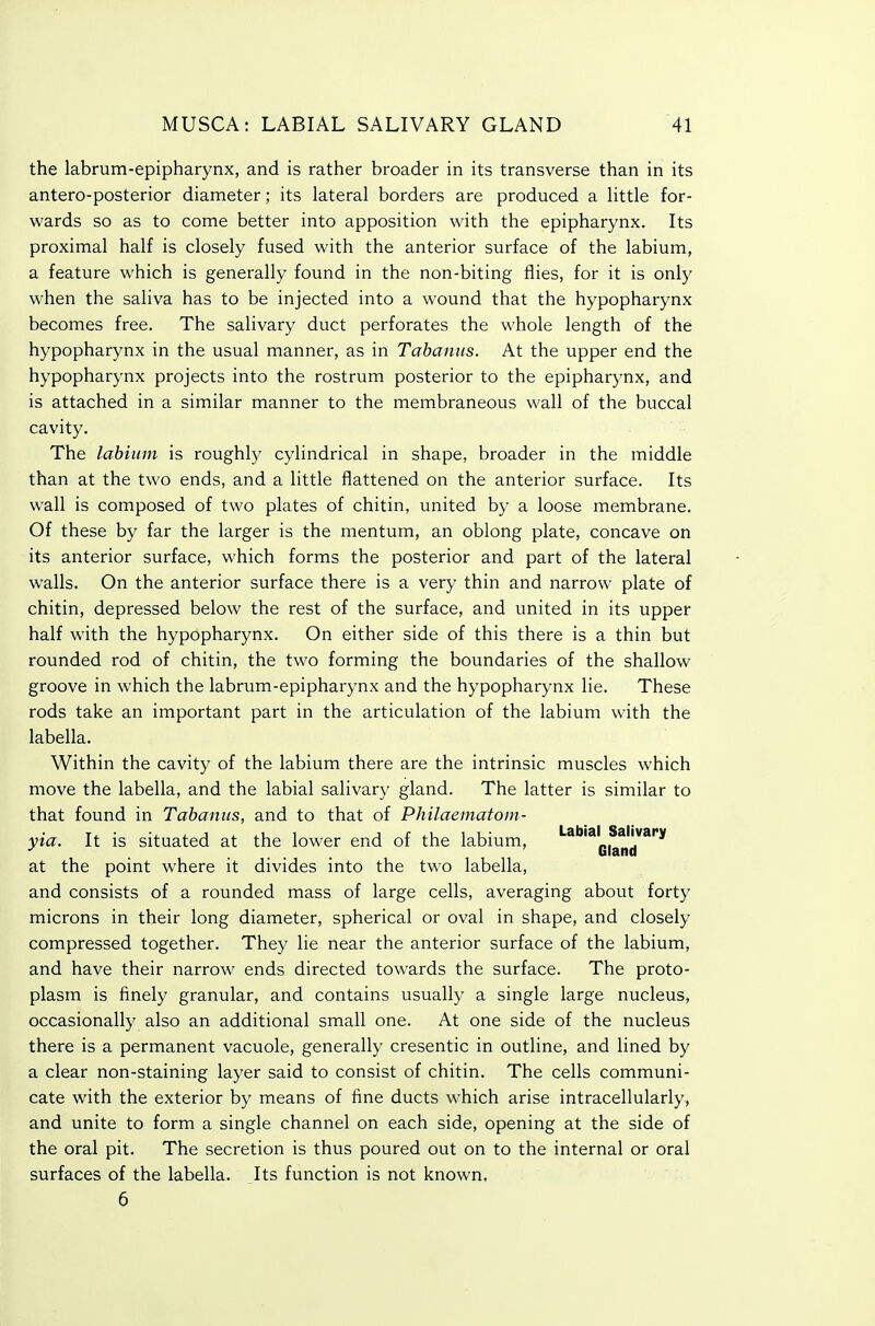 the labrum-epipharynx, and is rather broader in its transverse than in its antero-posterior diameter; its lateral borders are produced a little for- wards so as to come better into apposition with the epipharynx. Its proximal half is closely fused with the anterior surface of the labium, a feature which is generally found in the non-biting flies, for it is only when the saliva has to be injected into a wound that the hypopharynx becomes free. The salivary duct perforates the whole length of the hypopharynx in the usual manner, as in Tahanus. At the upper end the hypopharynx projects into the rostrum posterior to the epipharynx, and is attached in a similar manner to the membraneous wall of the buccal cavity. The labium is roughly cylindrical in shape, broader in the middle than at the two ends, and a little flattened on the anterior surface. Its wall is composed of two plates of chitin, united by a loose membrane. Of these by far the larger is the mentum, an oblong plate, concave on its anterior surface, which forms the posterior and part of the lateral walls. On the anterior surface there is a very thin and narrow plate of chitin, depressed below the rest of the surface, and united in its upper half with the hypopharynx. On either side of this there is a thin but rounded rod of chitin, the two forming the boundaries of the shallow groove in which the labrum-epipharynx and the hypopharynx lie. These rods take an important part in the articulation of the labium with the labella. Within the cavity of the labium there are the intrinsic muscles which move the labella, and the labial salivary gland. The latter is similar to that found in Tahanus, and to that of Philaematom- yia. It is situated at the lower end of the labium, '^'^land*'** at the point where it divides into the two labella, and consists of a rounded mass of large cells, averaging about forty microns in their long diameter, spherical or oval in shape, and closely compressed together. They lie near the anterior surface of the labium, and have their narrow ends directed towards the surface. The proto- plasm is finely granular, and contains usually a single large nucleus, occasionally also an additional small one. At one side of the nucleus there is a permanent vacuole, generally cresentic in outline, and lined by a clear non-staining layer said to consist of chitin. The cells communi- cate with the exterior by means of fine ducts which arise intracellularly, and unite to form a single channel on each side, opening at the side of the oral pit. The secretion is thus poured out on to the internal or oral surfaces of the labella. Its function is not known, 6