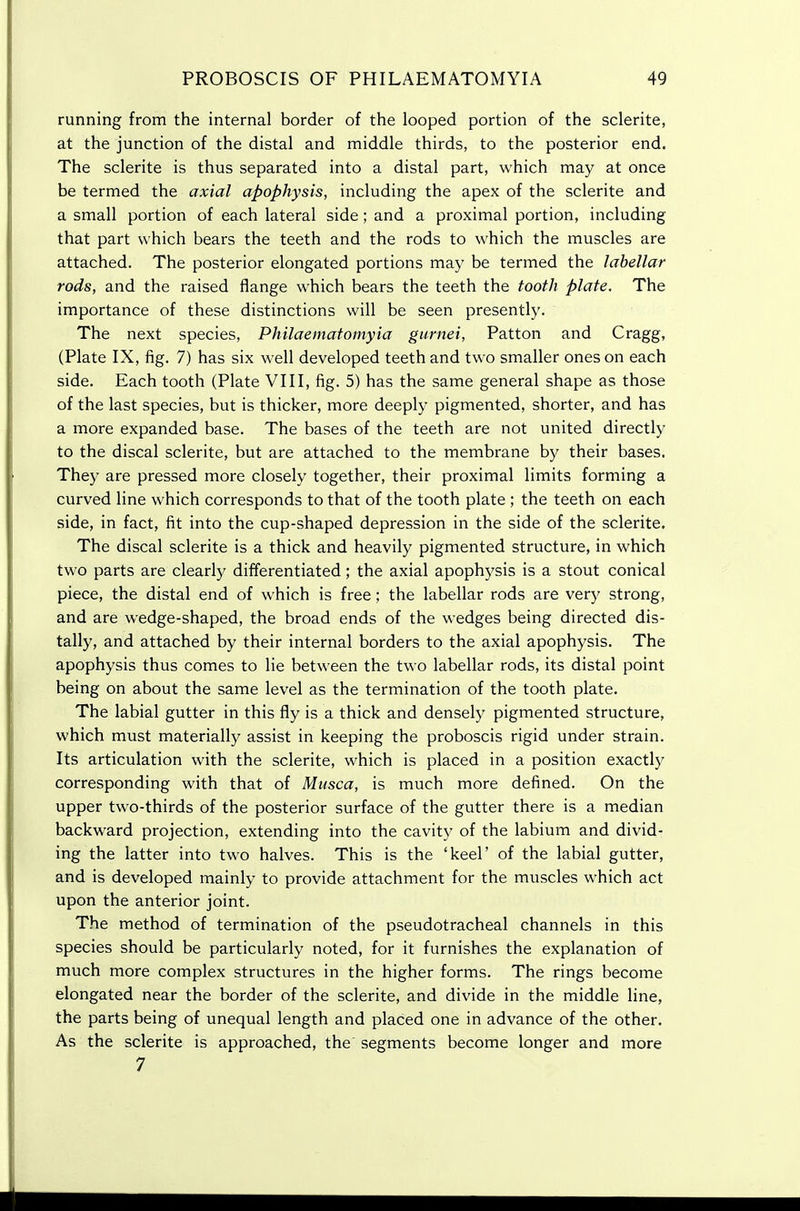 running from the internal border of the looped portion of the sclerite, at the junction of the distal and middle thirds, to the posterior end. The sclerite is thus separated into a distal part, which may at once be termed the axial apophysis, including the apex of the sclerite and a small portion of each lateral side; and a proximal portion, including that part which bears the teeth and the rods to which the muscles are attached. The posterior elongated portions may be termed the lahellar rods, and the raised flange which bears the teeth the tooth plate. The importance of these distinctions will be seen presently. The next species, Philaematomyia gurnet, Patton and Cragg, (Plate IX, fig. 7) has six well developed teeth and two smaller ones on each side. Each tooth (Plate VIII, fig. 5) has the same general shape as those of the last species, but is thicker, more deeply pigmented, shorter, and has a more expanded base. The bases of the teeth are not united directly to the discal sclerite, but are attached to the membrane by their bases. They are pressed more closely together, their proximal limits forming a curved line which corresponds to that of the tooth plate ; the teeth on each side, in fact, fit into the cup-shaped depression in the side of the sclerite. The discal sclerite is a thick and heavily pigmented structure, in which two parts are clearly differentiated; the axial apophysis is a stout conical piece, the distal end of which is free; the labellar rods are very strong, and are wedge-shaped, the broad ends of the wedges being directed dis- tally, and attached by their internal borders to the axial apophysis. The apophysis thus comes to lie between the two labellar rods, its distal point being on about the same level as the termination of the tooth plate. The labial gutter in this fly is a thick and densely pigmented structure, which must materially assist in keeping the proboscis rigid under strain. Its articulation with the sclerite, which is placed in a position exactly corresponding with that of Musca, is much more defined. On the upper two-thirds of the posterior surface of the gutter there is a median backward projection, extending into the cavity of the labium and divid- ing the latter into two halves. This is the 'keel' of the labial gutter, and is developed mainly to provide attachment for the muscles which act upon the anterior joint. The method of termination of the pseudotracheal channels in this species should be particularly noted, for it furnishes the explanation of much more complex structures in the higher forms. The rings become elongated near the border of the sclerite, and divide in the middle line, the parts being of unequal length and placed one in advance of the other. As the sclerite is approached, the segments become longer and more 7