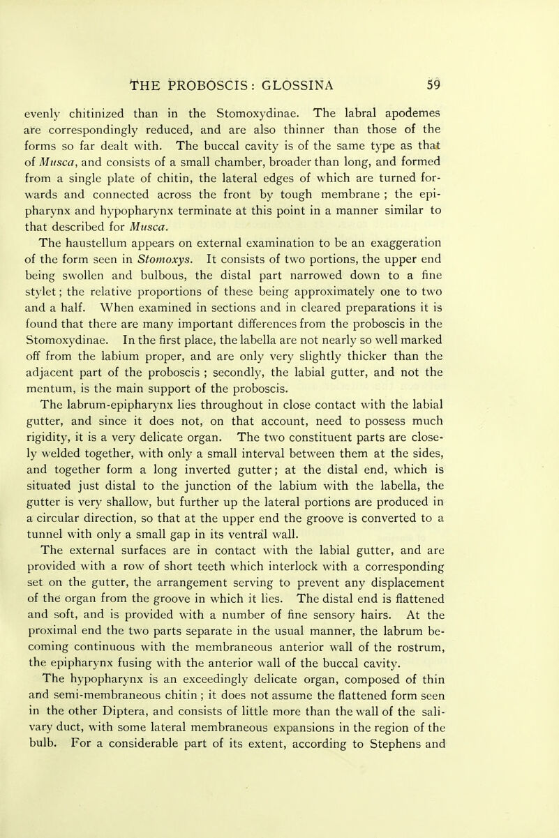 ¥HE PROBOSCIS: GLOSSINA evenly chitinized than in the Stomoxydinae. The labral apodemes are correspondingly reduced, and are also thinner than those of the forms so far dealt with. The buccal cavity is of the same type as that of Miisca, and consists of a small chamber, broader than long, and formed from a single plate of chitin, the lateral edges of which are turned for- wards and connected across the front by tough membrane ; the epi- pharynx and hypopharynx terminate at this point in a manner similar to that described for Musca. The haustellum appears on external examination to be an exaggeration of the form seen in Stoinoxys. It consists of two portions, the upper end being swollen and bulbous, the distal part narrowed down to a fine stylet; the relative proportions of these being approximately one to two and a half. When examined in sections and in cleared preparations it is found that there are many important differences from the proboscis in the Stomoxydinae. In the first place, the labella are not nearly so well marked off from the labium proper, and are only very slightly thicker than the adjacent part of the proboscis ; secondly, the labial gutter, and not the mentum, is the main support of the proboscis. The labrum-epipharynx lies throughout in close contact with the labial gutter, and since it does not, on that account, need to possess much rigidity, it is a very delicate organ. The two constituent parts are close- ly welded together, with only a small interval between them at the sides, and together form a long inverted gutter; at the distal end, which is situated just distal to the junction of the labium with the labella, the gutter is very shallow, but further up the lateral portions are produced in a circular direction, so that at the upper end the groove is converted to a tunnel with only a small gap in its ventral wall. The external surfaces are in contact with the labial gutter, and are provided with a row of short teeth which interlock with a corresponding set on the gutter, the arrangement serving to prevent any displacement of the organ from the groove in which it lies. The distal end is flattened and soft, and is provided with a number of fine sensory hairs. At the proximal end the two parts separate in the usual manner, the labrum be- coming continuous with the membraneous anterior wall of the rostrum, the epipharj-nx fusing with the anterior wall of the buccal cavity. The hypopharynx is an exceedingly delicate organ, composed of thin and semi-membraneous chitin ; it does not assume the flattened form seen in the other Diptera, and consists of little more than the wall of the sali- vary duct, with some lateral membraneous expansions in the region of the bulb. For a considerable part of its extent, according to Stephens and