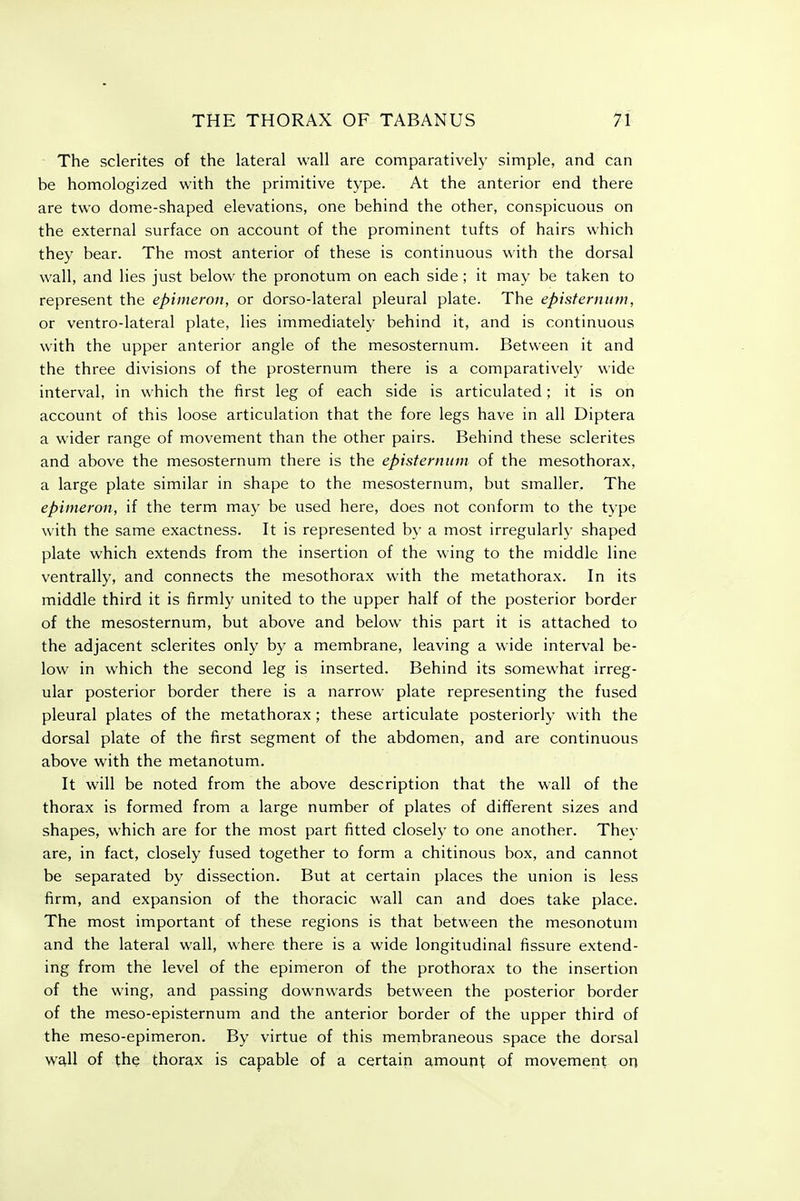 The sclerites of the lateral wall are comparatively simple, and can be homologized with the primitive type. At the anterior end there are two dome-shaped elevations, one behind the other, conspicuous on the external surface on account of the prominent tufts of hairs which they bear. The most anterior of these is continuous with the dorsal wall, and lies just below the pronotum on each side; it may be taken to represent the epimeron, or dorso-lateral pleural plate. The episternum, or ventro-lateral plate, lies immediately behind it, and is continuous with the upper anterior angle of the mesosternum. Between it and the three divisions of the prosternum there is a comparatively wide interval, in which the first leg of each side is articulated; it is on account of this loose articulation that the fore legs have in all Diptera a wider range of movement than the other pairs. Behind these sclerites and above the mesosternum there is the episternum of the mesothorax, a large plate similar in shape to the mesosternum, but smaller. The epimeron, if the term may be used here, does not conform to the type with the same exactness. It is represented by a most irregularly shaped plate which extends from the insertion of the wing to the middle line ventrally, and connects the mesothorax with the metathorax. In its middle third it is firmly united to the upper half of the posterior border of the mesosternum, but above and below this part it is attached to the adjacent sclerites only by a membrane, leaving a wide interval be- low in w^hich the second leg is inserted. Behind its somewhat irreg- ular posterior border there is a narrow plate representing the fused pleural plates of the metathorax; these articulate posteriorly with the dorsal plate of the first segment of the abdomen, and are continuous above with the metanotum. It will be noted from the above description that the wall of the thorax is formed from a large number of plates of different sizes and shapes, which are for the most part fitted closelj- to one another. They are, in fact, closely fused together to form a chitinous box, and cannot be separated by dissection. But at certain places the union is less firm, and expansion of the thoracic wall can and does take place. The most important of these regions is that between the mesonotum and the lateral wall, where there is a wide longitudinal fissure extend- ing from the level of the epimeron of the prothorax to the insertion of the wing, and passing downwards between the posterior border of the meso-episternum and the anterior border of the upper third of the meso-epimeron. By virtue of this membraneous space the dorsal w^ll of the thorax is capable of a certain amount of movement on