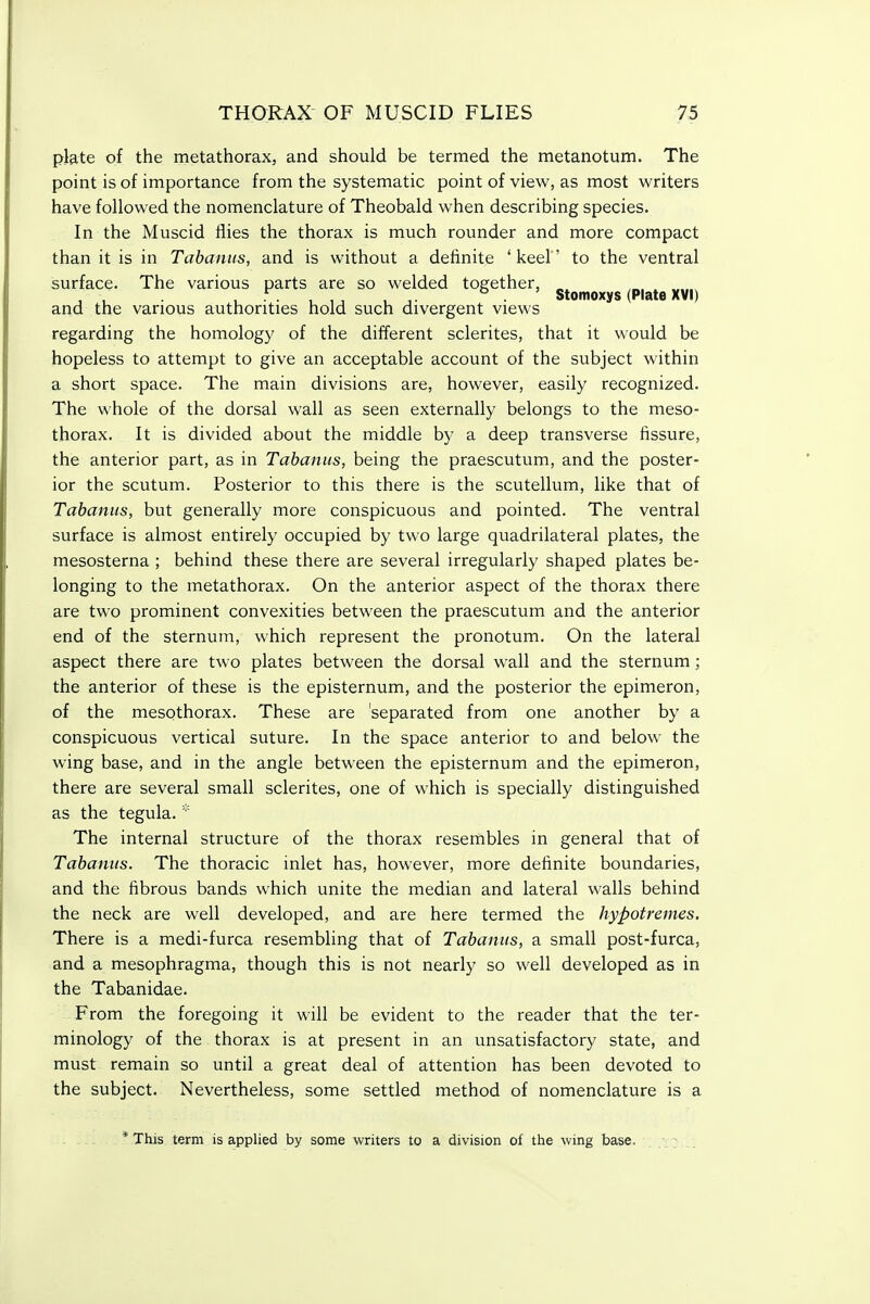 plate of the metathorax, and should be termed the metanotum. The point is of importance from the systematic point of view, as most writers have followed the nomenclature of Theobald when describing species. In the Muscid flies the thorax is much rounder and more compact than it is in Tabanus, and is without a definite ' keel' to the ventral surface. The various parts are so welded together, _ , , , • , 11 , ,• ^ . Stomoxys (Plate XVI) and the various authorities hold such divergent views regarding the homology of the different sclerites, that it would be hopeless to attempt to give an acceptable account of the subject within a short space. The main divisions are, however, easily recognized. The whole of the dorsal wall as seen externally belongs to the meso- thorax. It is divided about the middle by a deep transverse fissure, the anterior part, as in Tabanus, being the praescutum, and the poster- ior the scutum. Posterior to this there is the scutellum, like that of Tabanus, but generally more conspicuous and pointed. The ventral surface is almost entirely occupied by two large quadrilateral plates, the mesosterna ; behind these there are several irregularly shaped plates be- longing to the metathorax. On the anterior aspect of the thorax there are two prominent convexities between the praescutum and the anterior end of the sternum, which represent the pronotum. On the lateral aspect there are two plates between the dorsal wall and the sternum; the anterior of these is the episternum, and the posterior the epimeron, of the mesothorax. These are 'separated from one another by a conspicuous vertical suture. In the space anterior to and below the wing base, and in the angle between the episternum and the epimeron, there are several small sclerites, one of which is specially distinguished as the tegula. * The internal structure of the thorax resembles in general that of Tabanus. The thoracic inlet has, however, more definite boundaries, and the fibrous bands which unite the median and lateral walls behind the neck are well developed, and are here termed the hypotremes. There is a medi-furca resembling that of Tabanus, a small post-furca, and a mesophragma, though this is not nearly so well developed as in the Tabanidae. From the foregoing it will be evident to the reader that the ter- minology of the thorax is at present in an unsatisfactory state, and must remain so until a great deal of attention has been devoted to the subject. Nevertheless, some settled method of nomenclature is a * This term is applied by some writers to a division of the wing base.