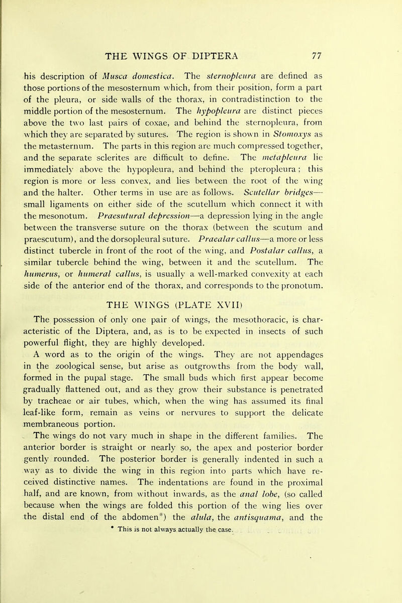 his description of Musca doinestica. The sternopleitnx are defined as those portions of the mesosternum which, from their position, form a part of the pleura, or side walls of the thorax, in contradistinction to the middle portion of the mesosternum. The hypopleura are distinct pieces above the two last pairs of coxae, and behind the sternopleura, from which they are separated by sutures. The region is show n in Stoinoxys as the metasternum. The parts in this region are much compressed together, and the separate sclerites are difficult to define. The inetapleiira lie immediately above the hj-popleura, and behind the pteropleura; this region is more or less convex, and lies between the root of the \\ ing and the halter. Other terms in use are as follows. Scutcllar bridges— small ligaments on either side of the scutellum which connect it with the mesonotum, Praesutural depression—a depression lying in the angle between the transverse suture on the thorax (between the scutum and praescutum), and the dorsopleural suture. Praealar callus—a more or less distinct tubercle in front of the root of the wing, and Post alar callus, a similar tubercle behind the wing, between it and the scutellum. The humerus, or humeral callus, is usually a well-marked convexity at each side of the anterior end of the thorax, and corresponds to the pronotum. THE WINGS (PLATE XVII) The possession of only one pair of wings, the mesothoracic, is char- acteristic of the Diptera, and, as is to be expected in insects of such powerful flight, they are highly developed. A word as to the origin of the wings. They are not appendages in the zoological sense, but arise as outgrowths from the body wall, formed in the pupal stage. The small buds which first appear become gradually flattened out, and as they grow their substance is penetrated by tracheae or air tubes, which, when the wing has assumed its final leaf-like form, remain as veins or nervures to support the delicate membraneous portion. . The wings do not vary much in shape in the different families. The anterior border is straight or nearly so, the apex and posterior border gently rounded. The posterior border is generally indented in such a way as to divide the wing in this region into parts which have re- ceived distinctive names. The indentations are found in the proximal half, and are known, from without inwards, as the anal lobe, (so called because when the wings are folded this portion of the wing lies over the distal end of the abdomen*) the alula, the antisqtiania, and the * This is not always actually the case.