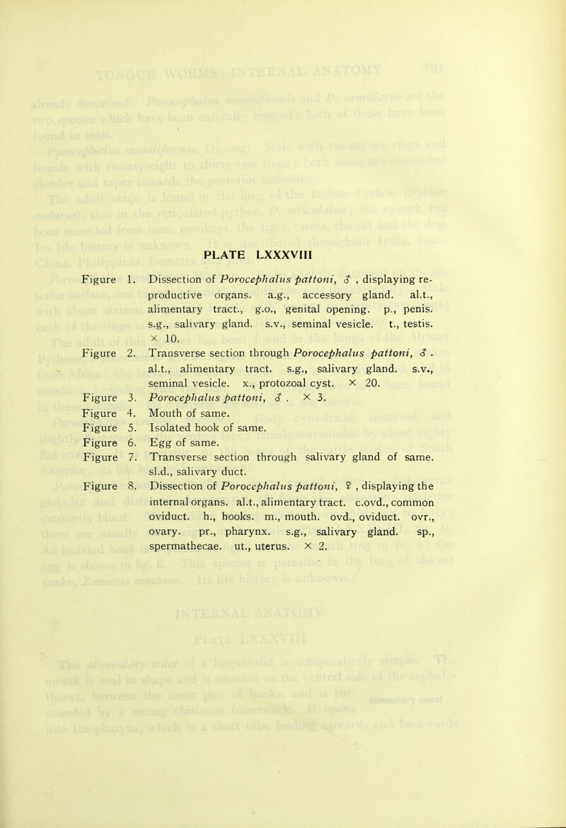 PLATE LXXXVIII Figure 1. Dissection of PorocepJialiis pat font, , displaying re- productive organs. a.g., accessory gland. al.t., alimentary tract., g.o., genital opening, p., penis, s.g., salivary gland, s.v., seminal vesicle. t., testis. X 10. Figure 2. Transverse section through Porocephalus pattoni, S . al.t., alimentary tract, s.g., salivary gland, s.v., seminal vesicle, x., protozoal cyst. X 20. Figure 3. Porocephalus pattoni, <? . X 3. Figure 4. Mouth of same. Figure 5. Isolated hook of same. Figure 6. Egg of same. Figure 7. Transverse section through salivary gland of same, sl.d., salivary duct. Figure 8. Dissection of Porocephalus pattoni, 2 , displaying the internal organs, al.t., alimentary tract, c.ovd., common oviduct, h., hooks, m., mouth, ovd., oviduct, ovr., ovary. pr., pharynx, s.g., salivary gland. sp., spermathecae. ut., uterus. X 2.