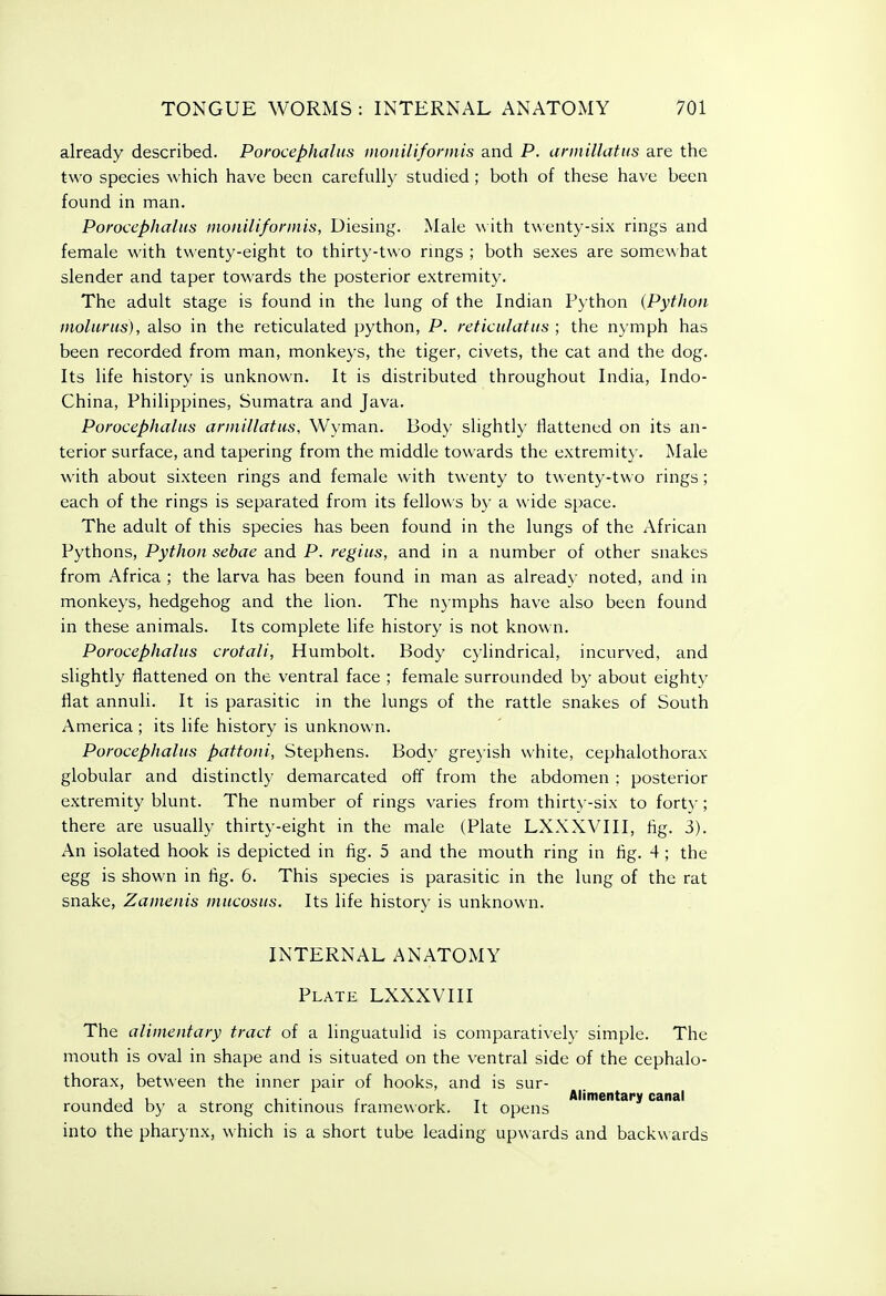 already described. Porocephalus inonilifonnis and P. armillattis are the two species which have been carefully studied; both of these have been found in man. Porocephaliis inonilifonnis, Diesing. Male with twenty-six rings and female with twenty-eight to thirty-two rmgs ; both sexes are somew hat slender and taper towards the posterior extremity. The adult stage is found in the lung of the Indian Python {Python molurus), also in the reticulated python, P. reticulatus ; the nymph has been recorded from man, monkeys, the tiger, civets, the cat and the dog. Its life history is unknown. It is distributed throughout India, Indo- China, Philippines, Sumatra and Java. Porocephaliis arniillatus, Wyman. Body slightly flattened on its an- terior surface, and tapering from the middle towards the extremity. Male with about sixteen rings and female with twenty to twenty-two rings; each of the rings is separated from its fellows by a wide space. The adult of this species has been found in the lungs of the African Pythons, Python sebae and P. regiiis, and in a number of other snakes from Africa ; the larva has been found in man as already noted, and in monkeys, hedgehog and the lion. The nymphs have also been found in these animals. Its complete life history is not known. Porocephaliis crotali, Humbolt. Body cylindrical, incurved, and slightly flattened on the ventral face ; female surrounded by about eighty flat annuli. It is parasitic in the lungs of the rattle snakes of South America; its life history is unknown. Porocephaliis patfoni, Stephens. Body gre}ish white, cephalothorax globular and distinctly demarcated off from the abdomen : posterior extremity blunt. The number of rings varies from thirty-six to forty; there are usually thirty-eight in the male (Plate LXXXVIII, tig. 3). An isolated hook is depicted in tig. 5 and the mouth ring in fig. 4 ; the egg is shown in fig. 6. This species is parasitic in the lung of the rat snake, Zarnenis mucosus. Its life history is unknown. INTERNAL ANATOMY Plate LXXXVIII The alimentary tract of a linguatulid is comparatively simple. The mouth is oval in shape and is situated on the ventral side of the cephalo- thorax, between the inner pair of hooks, and is sur- AliniGnt&rv c&nfll rounded by a strong chitinous framework. It opens into the pharynx, which is a short tube leading upwards and backwards