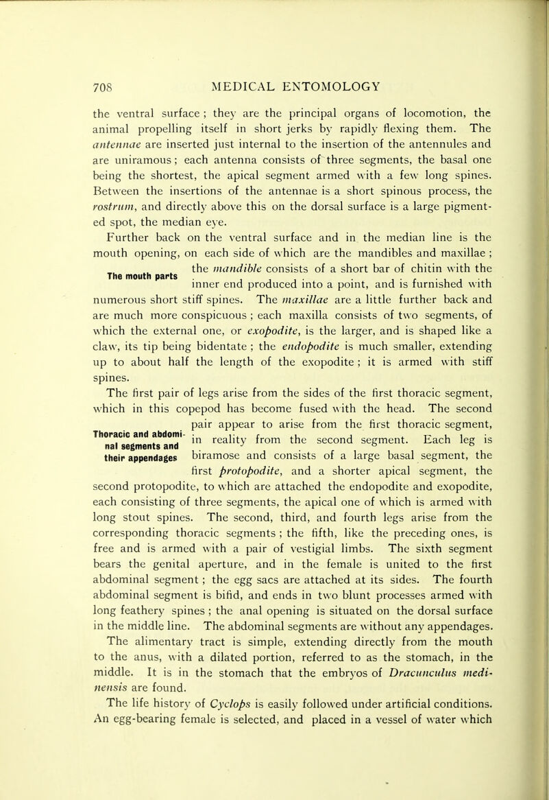 the ventral surface ; they are the principal organs of locomotion, the animal propelling itself in short jerks by rapidly flexing them. The antennae are inserted just internal to the insertion of the antennules and are uniramous; each antenna consists of three segments, the basal one being the shortest, the apical segment armed with a few long spines. Between the insertions of the antennae is a short spinous process, the rostrum, and directly above this on the dorsal surface is a large pigment- ed spot, the median eye. Further back on the ventral surface and in the median line is the mouth opening, on each side of which are the mandibles and maxillae ; the mandible consists of a short bar of chitin with the The mouth parts , , , . mner end produced mto a pomt, and is furnished with numerous short stiff spines. The maxillae are a little further back and are much more conspicuous ; each maxilla consists of two segments, of which the external one, or exopodite, is the larger, and is shaped like a claw, its tip being bidentate ; the endopodite is much smaller, extending up to about half the length of the exopodite ; it is armed with stiff spines. The first pair of legs arise from the sides of the first thoracic segment, which in this copepod has become fused w ith the head. The second pair appear to arise from the first thoracic segment, Thoracic and abdomi- reality from the second segment. Each leg is nal segments and . . ° ^ their appendages biramose and consists of a large basal segment, the first protopodite, and a shorter apical segment, the second protopodite, to which are attached the endopodite and exopodite, each consisting of three segments, the apical one of which is armed with long stout spines. The second, third, and fourth legs arise from the corresponding thoracic segments ; the fifth, like the preceding ones, is free and is armed with a pair of vestigial limbs. The sixth segment bears the genital aperture, and in the female is united to the first abdominal segment ; the egg sacs are attached at its sides. The fourth abdominal segment is bifid, and ends in two blunt processes armed with long feathery spines ; the anal opening is situated on the dorsal surface in the middle line. The abdominal segments are without any appendages. The alimentary tract is simple, extending directly from the mouth to the anus, with a dilated portion, referred to as the stomach, in the middle. It is in the stomach that the embryos of Dractinculus medi' nensis are found. The life history of Cyclops is easily followed under artificial conditions. An egg-bearing female is selected, and placed in a vessel of water which