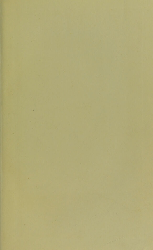 digitised image 3