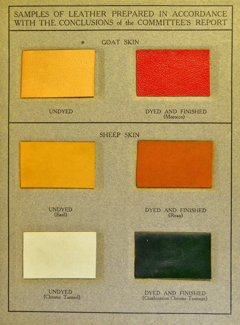 SAMPLES OF LEATHER PREPARED IN ACCORDANCE WITH THE CONCLUSIONS of the COMMITTEE'S REPORT * GOAT SKIN UNDYED DYED AND FINISHED (Morocco) SHEEP SKIN