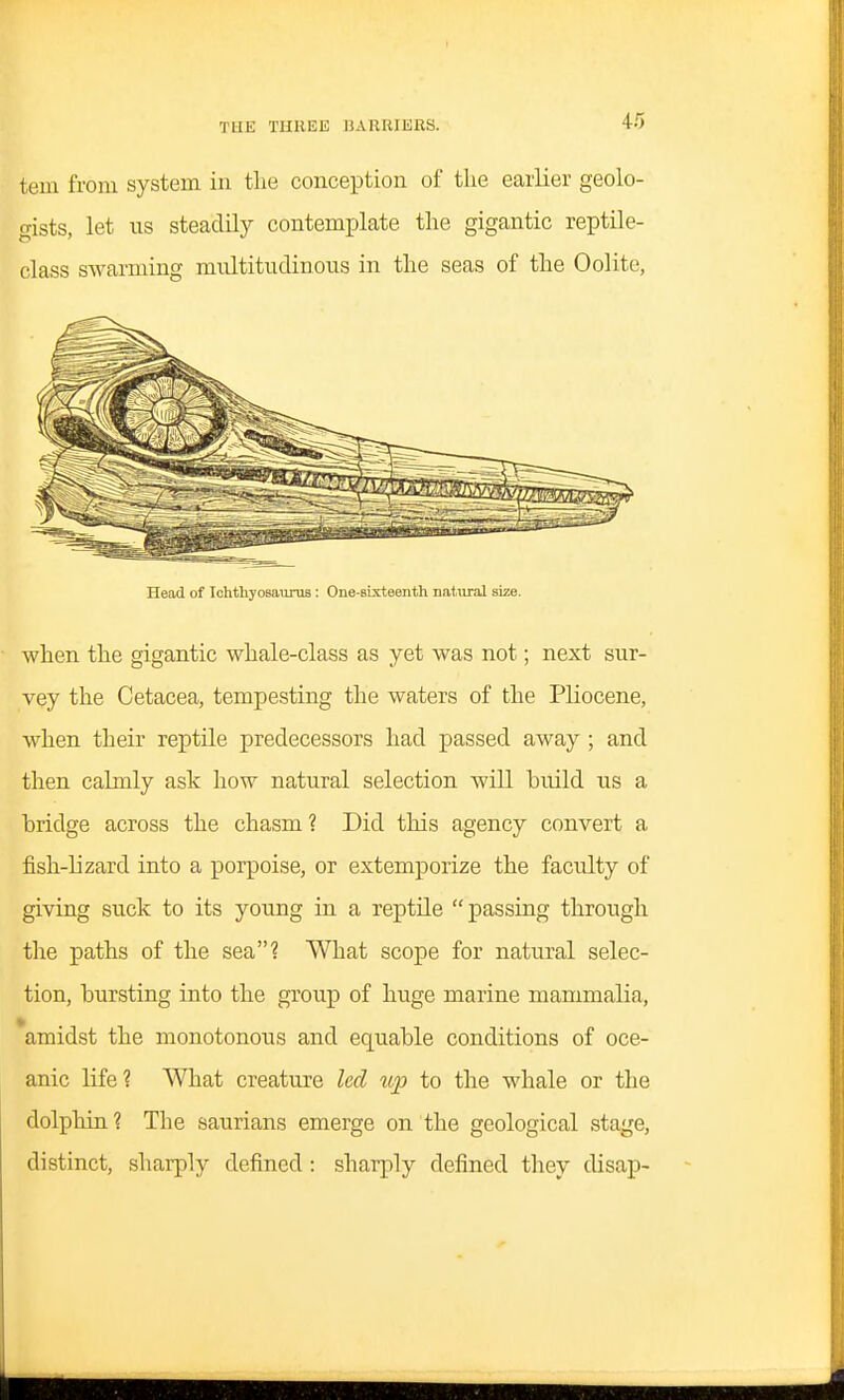 tern from system in tlie conception of the earlier geolo- gists, let us steadily contemplate the gigantic reptile- class swarming multitudinous in the seas of the Oolite, Head of Ichthyosaurus: One-sixteenth natural size. when the gigantic whale-class as yet Avas not; next sur- vey the Cetacea, tempesting the waters of the Pliocene, when their reptile predecessors had passed away ; and then calmly ask how natural selection will build us a bridge across the chasm ? Did this agency convert a fish-lizard into a porpoise, or extemporize the faculty of giving suck to its young in a reptile passing through the paths of the sea? What scope for natural selec- tion, bursting into the group of huge marine mammalia, amidst the monotonous and equable conditions of oce- anic life? What creature led up to the whale or the dolphin? The saurians emerge on the geological stage, distinct, sharply defined : sharply defined they disap-