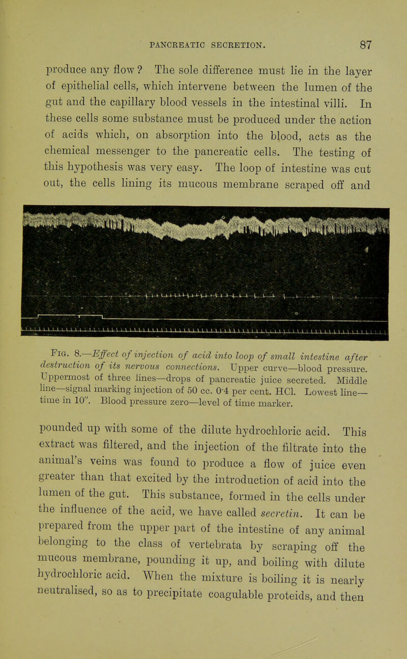 produce any flow ? The sole difference must lie in the layer of epithelial cells, which intervene between the lumen of the gut and the capillary blood vessels in the intestinal villi. In these cells some substance must be produced under the action of acids which, on absorption into the blood, acts as the chemical messenger to the pancreatic cells. The testing of this hypothesis was very easy. The loop of intestine was cut out, the cells lining its mucous membrane scraped off and Fig. 8.—Effect of injection of acid into loop of small intestine after destruction of its nervotts connections. Upper curve—blood pressure. Uppermost of three lines—drops of pancreatic juice secreted. Middle line—signal marking injection of 50 cc. 0-4 per cent. HCl. Lowest line- time in 10. Blood pressure zero—level of time marker. pounded up with some of the dilute hydrochloric acid. This extract was filtered, and the injection of the filtrate into the animal's veins was found to produce a flow of juice even greater than that excited by the introduction of acid into the lumen of the gut. This substance, formed in the cells under the influence of the acid, we have called secretin. It can be prepared from the upper part of the intestine of any animal belonging to the class of vertebrata by scraping off the mucous membrane, pounding it up, and boiling with dilute hydrochloric acid. When the mixture is boiling it is nearly neutralised, so as to precipitate coagulable proteids, and then