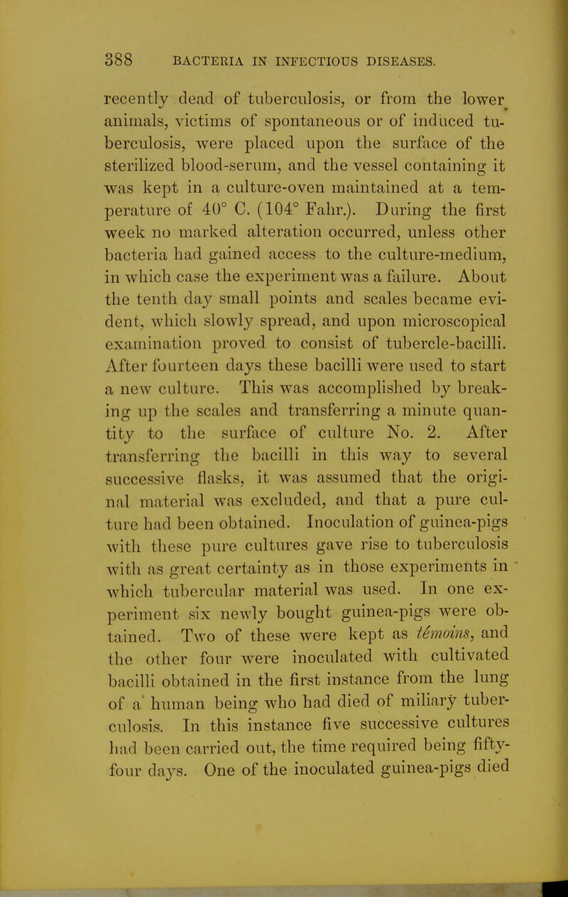 recently dead of tuberculosis, or from the lower animals, victims of spontaneous or of induced tu- berculosis, were placed upon the surface of the sterilized blood-serum, and the vessel containing it was kept in a culture-oven maintained at a tem- perature of 40° C. (104° Fahr.). During the first week no marked alteration occurred, unless other bacteria had gained access to the culture-medium, in which case the experiment was a failure. About the tenth day small points and scales became evi- dent, which slowly spread, and upon microscopical examination proved to consist of tubercle-bacilli. After fourteen days these bacilli were used to start a new culture. This was accomplished by break- ing up the scales and transferring a minute quan- tity to the surface of culture No. 2. After transferring the bacilli in this way to several successive flasks, it was assumed that the origi- nal material was excluded, and that a pure cul- ture had been obtained. Inoculation of guinea-pigs with these pure cultures gave rise to tuberculosis with as great certainty as in those experiments in Avhich tubercular material was used. In one ex- periment six newly bought guinea-pigs were ob- tained. Two of these were kept as temoins, and the other four were inoculated with cultivated bacilli obtained in the first instance from the lung of a' human being who had died of miliary tuber- culosis. In this instance five successive cultures had been carried out, the time required being fifty- four days. One of the inoculated guinea-pigs died