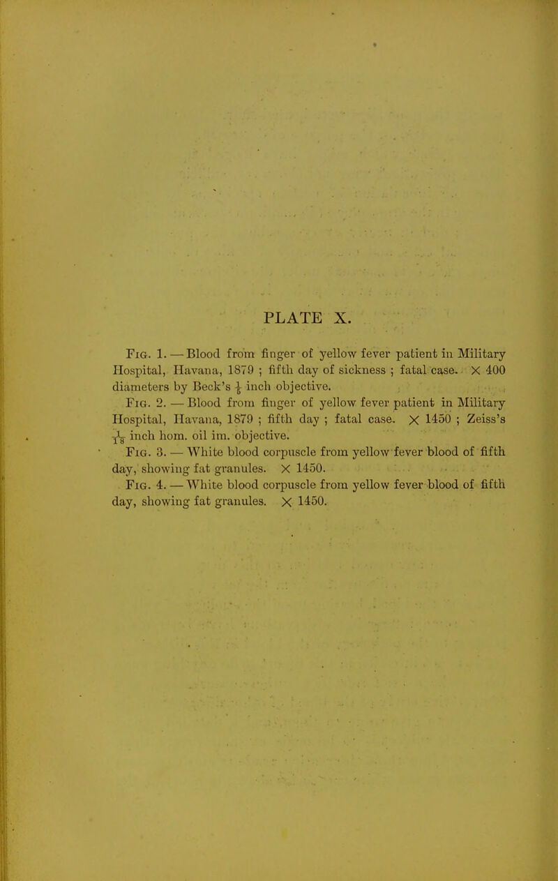 PLATE X. Fig. 1. —Blood from finger of yellow fever patient in Military Hospital, Havana, 1879 ; fifth day of sickness ; fatal case. X 400 dianieters by Beck's \ inch objective. Fig. 2.—Blood from finger of yellow fever patient in Military Hospital, Havana, 1879 ; fifth day ; fatal case. X 1450 ; Zeiss's ^ inch hom. oil im. objective. Fig. 3. — White blood corpuscle from yellow fever blood of fifth day, showing fat granules. X 1450. Fig. 4. — White blood corpuscle from yellow fever blood of fifth day, showing fat granules. X 1450.