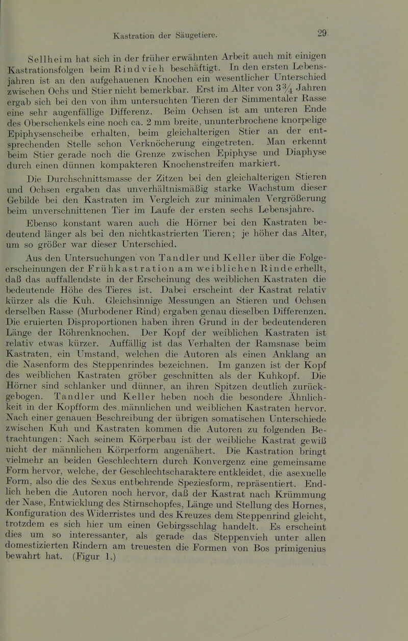 Senheim hat sich in der früher erwähnten Arbeit auch mit einigen Kastrationsfolgen beim Rindvieh beschäftigt. In den ersten Lebens- jahren ist an den aufgehauenen Knochen ein wesenthcher Unterschied ZM-ischen Ochs und Stier nicht bemerkbar. Erst im Alter von 3% Jahren ergab sich bei den von ihm untersuchten Tieren der Simmentaler Rasse eine sehr augenfällige Differenz. Beim Ochsen ist am unteren Ende des Oberschenkels eine noch ca. 2 mm breite, ununterbrochene knorpelige Epiphysenscheibe erhalten, beim gleichalterigen Stier an der ent- sprechenden Stelle schon Verknöcherung eingetreten. Man erkennt beim Stier gerade noch die Grenze zwischen Epiphyse und Diaphyse durch einen dünnen kompakteren Knochenstreifen markiert. Die Durchschnittsmasse der Zitzen bei den gleichalterigen Stieren und Ochsen ergaben das unverhältnismäßig starke Wachstum dieser Gebilde bei den Kastraten im Vergleich zur minimalen Vergrößerung beim unverschnittenen Tier im Laufe der ersten sechs Lebensjahre. Ebenso konstant waren auch die Hörner bei den Kastraten be- deutend länger als bei den nichtkastrierten Tieren; je höher das Alter, um so größer war dieser Unterschied. Aus den Untersuchungen'von Tandler und Keller über die Folge- erscheinungen der Frühkastration am weiblichen Rinde erhellt, daß das auffallendste in der Erscheinung des weiblichen Kastraten die bedeutende Höhe des Tieres ist. Dabei erscheint der Kastrat relativ kürzer als die Kuh. Gleichsimiige Messungen an Stieren und Ochsen derselben Rasse (Murbodener Rind) ergaben genau dieselben Differenzen. Die eruierten Disproportionen haben ihren Grund in der bedeutenderen Länge der Röhrenknochen. Der Kopf der weiblichen Kastraten ist relativ etwas kürzer. Auffällig ist das Verhalten der Ramsnase beim Kastraten, ein Umstand, welchen die Autoren als einen Anklang an die Nasenform des Steppenrindes bezeichnen. Im ganzen ist der Kopf des weiblichen Kastraten gröber geschnitten als der Kuhkopf. Die Hörner sind schlanker und dünner, an ihren Spitzen deutlich zurück- gebogen. Tandler und Keller heben noch die besondere Ähnlich- keit in der Kopfform des männlichen und weibhchen Kastraten hervor. Nach einer genauen Beschreibung der übrigen somatischen Unterschiede zwischen Kuh und Kastraten kommen die Autoren zu folgenden Be- trachtungen: Nach seinem Körperbau ist der weibliche Kastrat gewiß nicht der männlichen Körperform angenähert. Die Kastration bringt vielmehr an beiden Geschlechtern durch Konvergenz eine gemeinsame Form hervor, welche, der Geschlechtscharaktere entkleidet, die asexuelle Form, also die des Sexus entbehrende Speziesform, repräsentiert. End- lich heben die Autoren noch hervor, daß der Kastrat nach Krümmung der Nase, Entwicklung des Stirnschopfes, Länge und Stellung des Hornes, Konfiguration des Widerristes und des Kreuzes dem Steppenrmd gleicht, trotzdem es sich hier um einen Gebirgsschlag handelt. Es erscheint dies um so interessanter, als gerade das Steppenvieh unter aUen domestizierten Rindern am treuesten die Formen von Bos primigenius bewahrt hat. (Figur 1.)